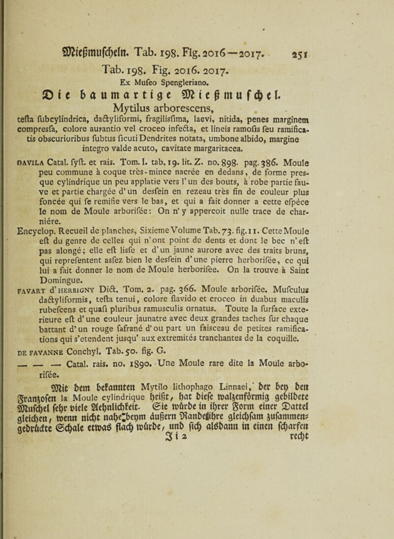 Tab. 198. Fig. 2016. 2017. Ex Mufeo Spengleriano. ©U b« u m a 1113 e 9R t e fj in u f $ e (• Mytilus arborescens, tefta fubcylindrica, da&yliformi, fragilisfima, laevi, nitida, penes marginetn compresfa, colore aurantio vel croceo infe£la, et lineis ramofis feu ramifica- tis obscurioribus fubtus ficutiDendrites notata, umbone albido, margine integro valde acuto, cavitate margaritacea. davila Catal. fyft. et rais. Tom. I. tab. 19. lit. Z. no» 898- pag. 386* Moule peu commune ä coque tres-mince nacree en dedans, de forme pres- que cylindrique un peu applatie vers 1’ un des bouts, ä robe partie fau- ve et partie chargee d’ un desfein en rezeau tres fin de couleur plus foncee qui fe remifie vers le bas, et qui a fait donner a cette efpece le nom de Moule arborifee: On n’y appercoit nulle trace de char¬ tere. Encyclop. Recueil de planches, Sixieme Volume Tab. 73. fig. 11. Cette Moule eft du genre de celles qui n’ont point de dents et dont le bec n’effc pas alonge; eile eft lisfe et d’un jaune aurore avec des traits bruns, qui reprefentent asfez bien le desfein d’une pierre herborifee, ce qui lui a fait donner le nom de Moule herborifee. On la trouve a Saint Domingue. favart d’HERßiGNY Di<5t. Tom. 2. pag. 366. Moule arborifee. Mufculus da&yliformis, tefta tenui, colore flavido et croceo in duabus maculis rubefcens et quafi pluribus ramusculis ornatus. Toute la furface exte- rieure eft d’ une couleur jaunatre avec deux grandes taches für chaque battant d’ un rouge fafrane d’ ou part un faisceau de petites ramifica- tions qui s’etendent jusqu’ aux extremites tranchantes de la coquille. de favanne Conchyl. Tab. yo. fig. G. _— Catal. rais. no. 1890. -Une Moule rare dite la Moule arbo¬ rifee. bem befamttett Mytilo lithophago Linnaei,' ber bet) ben gran$ofen la Moule cylindrique f)ei§t, bat biefe wal&enförmig gebilbete febr biele 2lebnlicbfrtt. ©ie würbe in ihrer gorm einer Mattel gleichen, wenn nicht nabelbepm äußern Sftanbeilibre gleicbfam $ufanunen* geböte @cbale etwas flach ttürbe, un& Wb alSbann in einen fcharfen 3 i 2 recht