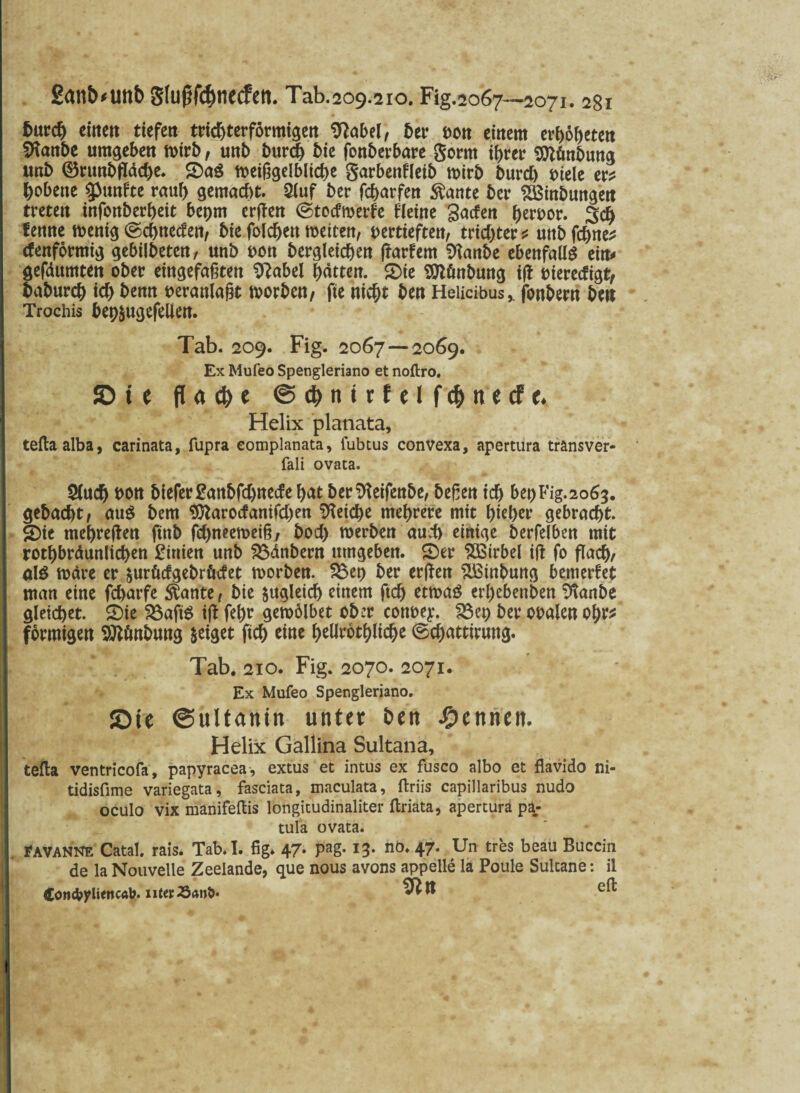 2anb*imb g(uf?fd)necfeti. Tab.209.210. Fig.2067—2071.281 burcb etrtett tiefcrt trichterförmigen tftabel, bei* Dort einem erböbeten Sftanbe umgeben mirb, unb burd) bie fonberbare gorrn ihrer 9ftönbung unb ©runbfläcbe. 5)aS meißgelblicbe garbenfleib mirb burd) Diele er? bobene fünfte raub gemacht. 2luf ber fcbarfen $ante bei* SBinbungen treten infonberbeit bepm erffen ©todmerfe Heine gaden beroor. 3cb fenne menig ©cbncdeti, bie folcbett metcen, vertieften, trid)ter? unbfcbne? rfenförmig gebilbeten, unb oon bcrgleicben (iarfem Sftanbe ebenfalls ein* gefäumten ober eingefaßten 9?abel butten. £>ie Sttönbung i|i oieredigt, baburcb id> benn oeranlaßt morben, fte nicht ben Heiicibus,. jbnbern beit Trochis bep&ugefellen. Tab. 209. Fig. 2067—2069. Ex Mufeo Spengleriano et noftro. © t e fl <t $ e @ $ n i r f e l f 4>«' e cf e. Helix planata, teftaalba, carinata, fupra eomplanata, lubtus convexa, apertura tränsver- fali ovata. $(ucb Don biefer£anbfd>nede bat berSfteifenbe, beßen ich btt)Fig.2063. gebacht, aus bem $ftarodanifd)en Reiche mehrere mit bteber gebracht. §)ie mehreren ftnb fd)neen>etß, bod) roerben auch einige berfelben mit rotbbrdunlicben £mien unb SSänbern umgeben. S)er Wirbel ift fo flach/ als märe er fcurüdgebrödet morben. $3et) ber erßen SBinbung bemerket man eine fd>arfe Spante , bie zugleich einem ftcb etmaS erbebenbett %mbe gleichet. £)ie S$aftS ift febr gemölbet ober conoey. 35et; ber Opalen obr? förmigen SOlönbung geiget ftcb eine beUrötblidje ©ebattirung. Tab. 210. Fig. 2070. 2071. Ex Mufeo Spengleriano. ©te ©ultanin untet &ett kennen. Helix Gallina Sultana, tefta ventricofa, papyracea, extus et intus ex fusco albo et flavido ni- tidisfime variegata, fasciata, maculata, ftriis capillaribus nudo oculo vix manifeftis longitudinaliter ftriata, apertura paÄ- tula ovata. , tAVANNE Catal. rais. Tab.I. fig. 47» pag.13. nö* 47- Un tres beau Buccin de laNouvelle Zeelande, que nous avons appelle la Poule Sultane: il Con<byIiwcab. xiter 25ant>*