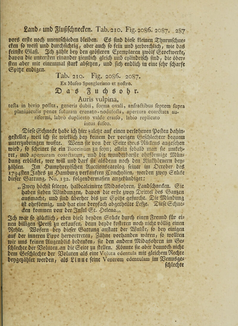 m$ er(le nodj tmetttfc&iefcett bleibem ©$ ftnb tiefe flehten S&urmfdme? cfen fo meiß unb burd)ftd)tig, aber aucf) fo fein unb $erbredf>ltcf>, n>ie ba$ feinfte ©laß* Sei) $d|le bet) ben größeren (Syemplaren §roolf ©toefmerfe/ bapon bie unterteil einander $temlid) aleief) mtb cplinbrifd) ftnb, bie ober? (len aber mit einentmal ftarf abfe^en, unt> fiel) enblid) in eine fefyr fdjarfe ©pige enbigen. . . Tab. 210. Fig. 2086. 2087. Ex Mufeo Spengleriano et noftro. £> ö $ §ud)öof>v- Auris vulpina, tefta in bivio pofita, generis dubii, forma ovali, anfra&ibus feptem fupra planiusculis penes futuram crenato-nodulofis, apertura coar&ata au- riformi, labro duplicato valde crasfo, labio replicato intus fufco. S)tefe ©cf)necfe l)abe tef) l)ier valent auf einen perlofpen^cßen hatyn* gefleUet, meil id) fte mirflid) bet) fernem ber porigen ©efd)lecr>ter bequem unter^ubringen mußte. 2Benn fte pon ber ©eite tl)rtg 91i'tcfenö angefe^en mirb, fo fd)einet fte ein 'Buccinum &tt fepn; allein fobalb man fte umfei)* ret, uttb aperturam coarftatam, unb bie munberbarjte obrformige $9Win? bung erblicfet, mer mill unb barf fte al^benn nod) ben $mff)örnern bep? $äblett. 3at *£)umpl)repifdjen 2luctton£catolog feiner im £)ctober beS i794flenSal)rö $u Hamburg perfauften gDondjplien, merben smep ©tftefe btefer ©attung, No. 132. folgenbermaßett angefünbiget: „ 3mcp f)6d)(l feltene, l>albcalcinirte S9>iba£ol)rcrt/ £anbfd)necfen. ©ie laben ftebett Söinbungen, bapon bie erße §mep drittel beS (Bankett auömacfjt, unb ftnb ftberber bis jur ©pi§e gefurd)t. S)ie Sttfcttbung tjl obrformig, unb f)at eine brepfad) abgetbetlte Sefte. 2)iefe©d)ne? efett fommen Pott ber Snful ©t. Helena.,, Sd) mar fo glhcflid), eben biefe bepben ©rüde burd) einen greunb ft*tr ei? nen billigen ^reiß $u erfaufen, beim bepbe foffeten noch nicl>t poüig einen $Htl)lr. ISSofern bep biefer (Gattung anßatt ber ^Bulfle, fo bet) einigen auf ber inneren Sippe fjerportretett, Saline porl)anben mären, fo moUten mir mtS feinen Öugenblicf bebenfen/ fte ben anbern $ltbaöobren im 0e? fd)led)te ber Voluten.an bie ©eite &u ßellen. konnte fte aber bettnod) nid)t bem ©efdjlecfyte ber Voluten als eine Voluta edentula mit gleichem Rechte lepge$äf)let mwbert/ al$ Sinne feine Venerem edentulam im £>enuSge? fd)led)te