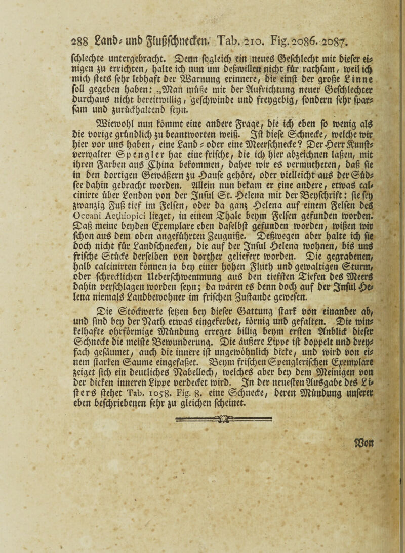 fd)lecßte untergebracßt. S)enn fogleidj ei-n neues ®efcßlecßt mit biefer eb ttigen &u errichten, ßalte id) mm um beßwillen nicßt für ratßfam, weilid) micß ßetS feßr lebhaft ber SBarttung erinnere/ bte etnfi: ber große Sinne foü gegeben haben: „Sftan wüße mit ber Slufricßtttng neuer ©efcßlccßter burd)auö nicht bereitwillig, geßßtoinbe unb freigebig, fonbern feßrfpar* fmn unb $urüdßaltenb fet>n- SBiewoßl nun fommt eine anbere grage, bie id) eben fo wenig als bie porige grünblicß $u beantworten weiß. 3ß biefe ©cßnede, welcße wir hier por unö ßaben, eine Sattb* ober eilte'Stteerfcßnede? £>er£err$unß* Verwalter ©p engl er ßat eittefrifcße, bie ich hier ab^etchnen laßen, mit tßren garben aus gßina bekommen, baßer wir eS oerrautßeten, baß fie in ben bortigen (Bewdßern $u £aufe geßöre, ober vielleicht auS ber ©üb* fee baßin gebracht worben, allein nun befam er eine anbere, etwas cab cinirte über Sonbon oon ber 3nful (St. Helena mit ber 33et)fcßrift: fie fei) &wan$ig guß tief im geifert, ober ba gatt$ Helena auf einem gelfett be$ Oceani Ae;hiopici lieget, in einem &ßale beprn gelfen gefunben worben. SDaß meine bepben €yemplare eben bafelbß gefunben worben, wißen wir feßon aus bem oben angeführten geugniße. SDeßwegen aber ßalte ich fie boeß nicht für Sanbfcßneden, bie auf ber Snful Helena woßnen, bis un$ frifeße ©tücfe berfelben pon bortßer geliefert worben. SDie gegrabenen, halb calcinirten fonnen ja bet) einer ßoßen glutß unb gewaltigen (Sturm, ober fcßredlkßen Ueberfcßwemmung auS ben tiefßen liefen beS TOteerö baßin Perfcßlagen worben feptt; ba waren eS benn boeß auf ber 3nful $e» lernt niemals Sattbbewoßiter im frifd)ett gußattbe gewefen. S>ie ©todwerfe feßen bet) biefer (Gattung ßarf pon einanber ab, unb ftnb bet) ber Sftatß etwas eingeferbet, fornig unb gefalten. £>ie Witt* lelßafte oßrformige Sttünbung erreget billig bepm erßen Slnblid biefer (Scßnede bie metße 23ewunberung. £)ie äußere Sippe iß hoppelt unb brep* fad) gefdumet, aud) bie innere iß ungewoßnlicß biefe, unb wirb pon eis? uem ßarfett ©aume eingefaßet. Söepm frifeßett ©penglerifcßen (Exemplare geiget fieß ein beutlicßeS Sftabellocß, weld)eS aber bet) bem peinigen Pon ber biefen inneren Sippe perbedet wirb. 3u ber neueßen Ausgabe beS St* ßerS ßeßet Tab. 1058. Fig. 8. eine ©eßttede, bereu Sttünbung uuferer eben betriebenen feßr $u gleichen feßeinet.