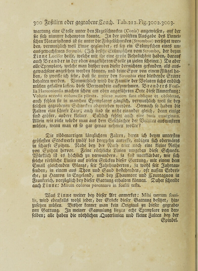 Wartung eine Stelle unter ben^egelfcbnecfen (Conis) attgewiefen, auf ber fte ftd) nimmer behaupten fomite. 3« ber zwölften Sluggabe beg ginnet* fd>en 9?aturft)ftemg ijf fte unter bteglügelfd)ncden(Strombos) perfekt wor* ben, permutl)licb weil kirnte gcglaubet, cg fet> ein ©tümpfdKn etneg uns auggcwad)fenen Strombi. (3d) hefige ©tümpfd)ett pcmStrombo, ber bepm £inne Ladfer beißt, welche mit ihr eine große 5Xet>nIicf)feit bähen, barauf and) 35 ran ber in ber oben angeführten@telle §u fielen febeinet.) $Da aber aUeSpemplare, welche man bisher pon biefer borniebtett gefunben, alg aug> gewaebfene angefeben werben fomten, unb feine ©pur oon einem glügel ha¬ ben, fo zweifle id) febr, baß fte unter ben Strombis eine bleibenbe ©tatte behalten werben. SSermutblicb Wirb bte gantUie ber Voluten ftd)g enbltcb müßen gefallen laßen, biefe SÖerwanbtitt auftunebmen. ^ranberö Fosfi- lia Hantonienfia tnadxtt febon am oben angeführten £>rte biefe Slmnerfuttg: Volutis accedit columella plicata, plicae autem funt oblique et obfoletae, and) fehlen fte in manchen €yemplarert gan§ltd), Permutblicb weil fte bet) fold)en gegrabenen ©ebneefen abgerieben werben. «£)ernad) fo haben bie galten eine fd)tefe Sage; auch finb fte nid)t einanber gleid), beim einige ftnb großer, anbere fleüter. €ttblicb fehlet and) eine basis emarginata. Allein Wie Piele würbe man aug bem ®efd)led)te ber Voluten augmujiem müßen, wenn man eg fo gar genau nehmen wollte? SDie ribbenartigen Idnglicbtcn galten, bereu id) bepm unteren großejten ©todwerfe $wolf big brepjebn antreffe, enbigett ftd) oberwdrtg tn fd)arfe ©pti^en. 9?abe bet; ber Watl) tritt nod) eine fleitte S>teif)e pott ©pigen berpor. geilte rotblidw Linien umgeben biefe ©ebneefe. £ßürflicb ifl eg boeblid) perwttnbern, ja fall unerfldrhar, wie ftd) folcbe rotbltcbe hinten auf pielen ©tücfen biefer Gattung, mit einem bem €matl gletcbettben ©latt^e, feit Sabrbunberten, ja wohl fett 3al)rtau* fenben, in einem aug &bon unb ©anb betfebenbett, oft naßett CErbref^ che, &u Danton tn€ngelanb, unb bet; gbaumont unb gwurtagnott tn granfreicb, Por&üglicb bet; biefer 0attuttg erhalten fomten. Saber febreibt aud) £tntte: Mirum colores perennare in fosfili tefta. £Bag ginne weiter bet) biefer Slrt aumerfet: Mihi tantum fossi- lis, wirb ebenfalls wol)l jeber, ber ©tücfe biefer ©attuttg beftl$et, tynt jufe§en müßen. 35i$ber fennet man fein Original $u biefer gegraben nett Gattung. 3« meiner ©ammlung liegen acht C^emplare pon ber* felben; alle haben bie rbtblic&en Äueerlinien unb fleine galten ba; ber ©pinbel.