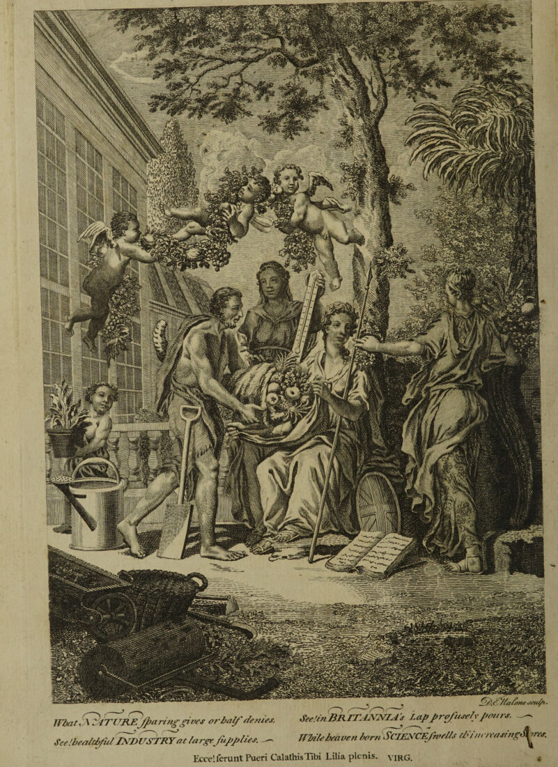 (O SeeUnBREEINNIA’s Lapprofuse/ypours. What S^ZITUREjparinggives or half denies, See Ibea/tfyid INDUSTRY at /argeJiipplies. Eccelferunt Pueri CalathisTibi Lilia plenis. \1RG. ITbi/e heaven /torn SCIENCE/rvei/s thi Jnrea sing^v~es.