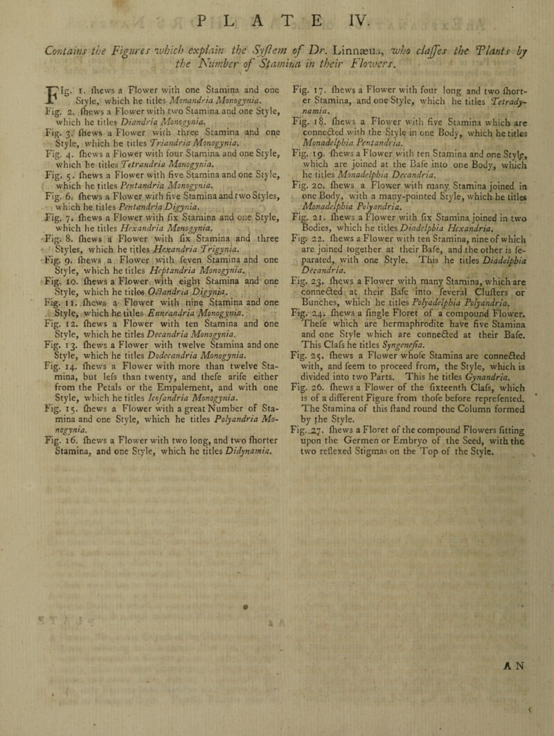 PLATE IV. Contains the Figures which explain the Syjlem of Dr. Linnaeu.;, who clajfes the FI ants by the Number of Stamina in their Flowers. Fig. i. fhews a Flower with one Stamina and one Style, which he titles Monandria Monogynia. Fig. 2. fhews a Flower with two Stamina and one Style, which he titles Diandria Monogynia. Fig. 3. fhews a Flower with three Stamina and one Style, which he titles Triandria Monogynia. Fig. 4. (hews a Flower with four Stamina and one Style, which he titles Petrandria Monogynia. Fig. 5. fhews a Flower with five Stamina and one Style, which he titles Pentandria Monogynia. Fig. 6. fhews a Flower with five Stamina and two Styles, which he titles Pentandria Digynia. Fig. 7. fhews a Flower with fix Stamina and one Style, which he titles Hexandria Monogynia. Fig. 8. fhews a Flower with fix Stamina and three Styles, which he titles Hexandria Prigynia. Fig. 9. fhews a. Flower with feven Stamina and one Style, which he titles Heptandria Monogynia. Fig. 10. fhews a Flower with eight Stamina and one Style, which he titles Oflandria Digynia. Fig. 11. fhews a Flower with nine Stamina and one Style, which he titles Enneandria Monogynia. Fig. 12. fhews a Flower with ten Stamina and one Style, which he titles Decandria Monogynia. Fig. 13. fhews a Flower with twelve Stamina and one Style, which he titles Dodecandria Monogynia. Fig. 14. fhews a Flower with more than twelve Sta¬ mina, but lefs than twenty, and thefe arife either from the Petals or the Empalement, and with one Style, which he titles Icofandria Monogynia. Fig. 15. fhews a Flower with a great Number of Sta¬ mina and one Style, which he titles Polyandria Mo¬ nogynia. Fig. 16. fhews a Flower with two long, and two fhorter Stamina, and one Style, which he titles Didynamia. Fig. 17. fhews a Flower with four long and two fhort¬ er Stamina, and one Style, which he titles Petrady- namia. Fig. 18. fliews a Flower with five Stamina which are connected with the Style in one Body, which he titles Monadelphia Pentandria. Fig. 19. fhews a Flower with ten Stamina and one Styl,e, which are joined at the Bafe into one Body, which he titles Monadelphia Decandria. Fig. 20. fliews a Flower with many Stamina joined in one Body, with a many-pointed Style, which he titles Monadelphia Polyandria. Fig. 21. fhews a Flower with fix Stamina joined in two Bodies, which he titles Diadelpbia Hexandria. Fig. 22. fhews a Flower with ten Stamina, nine of which are joined together at their Bafe, and the other is fe- parated, with one Style. This he titles Diadelpbia Decandria. Fig. 23. fliews a Flower with many Stamina, which are conne&ed at their Bafe into feveral Clufters or Bunches, which he titles Polyadelphia Polyandria. Fig. 24. fhews a fingle Floret of a compound Flower. Thefe which are hermaphrodite have five Stamina and one Style which are conne&ed at their Bafe. This Clafs he titles Syngenejia. Fig. 25. fhews a Flower whofe Stamina are conne£ted with, and feem to proceed from, the Style, which is divided into two Parts. This he titles Gynandria. Fig. 26. fhews a Flower of the fixteenth Clafs, which is of a different Figure from thofe before reprefented. The Stamina of this Hand round the Column formed by the Style. Fig.jij. fhews a Floret of the compound Flowers fitting upon the Germen or Embryo of the Seed, with the two reflexed Stigmas on the Top of the Style.