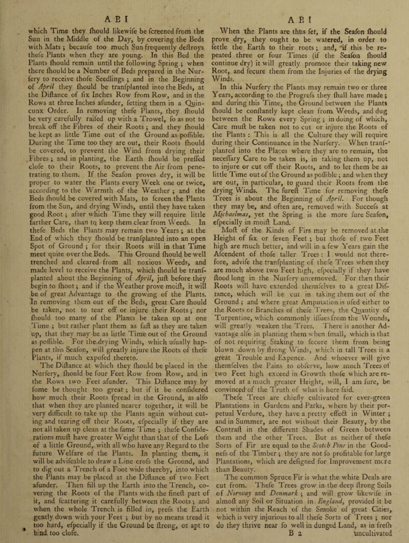 which Time they fhould likewife be fcreened from the Sun in the Middle of the Day, by covering the Beds with Mats; becaufe too much Sun frequently deftroys thefe Plants when they are young. In this Bed the Plants fhould remain until the following Spring ; when there fhould be a Number of Beds prepared in the Nur- fery to receive thofe Seedlings ; and in the Beginning of April they fhould be tranfplanted into the Beds, at the Diftance of fix Inches Row from Row, and in the Rows at three Inches afunder, fetting them in a Quin¬ cunx Order. In removing thefe Plants, they fhould be very carefully railed up with a Trowel, fo as not to break off the Fibres of their Roots; and they fhould be kept as little Time out of the Ground as polftble. During the Time too they are out, their Roots fhould be covered, to prevent the Wind from drying their Fibres; and in planting, the Earth fhould be prelTed clofe to their Roots, to prevent the Air from pene¬ trating to them. If the Seafon proves dry, it will be proper to water the Plants every Week one or twice, according to the Warmth of the Weather ; and the Beds fhould be covered with Mats, to fcreen the Plants from the Sun, and drying Winds, until they have taken good Root ; after which Time they will require little farther Care, than tQ keep them clear from Weeds. In thefe Beds the Plants may remain two Years; at the End of which they fhould be tranfplanted into an open Spot of Ground ; for their Roots will in that Time meet quite over the Beds. This Ground fhould be well trenched and cleared from all noxious Weeds, and made level to receive the Plants, which fhould be tranf¬ planted about the Beginning of April, juft before they begin to fhoot; and if the Weather prove moift, it will be of great Advantage to the growing of the Plants. In removing them out of the Beds, great Care fhould be taken, not to tear off or injure their Roots; nor fhould too many of the Plants be taken up at one Time ; but rather plant them as faft as they are taken up, that they may be as little Time out of the Ground as poffible. For the.drying Winds, which ufually hap¬ pen at this Seafon, will greatly injure the Roots of thefe Plants, if much expofed thereto. The Diftance at which they fhould be placed in the Nurfery, fhould be four Feet Row from Row, and in the Rows two Feet afunder. This Diftance may by fome be thought too great ; but if it be confidered how much their Roots fpread in the Ground, as alfo that when they are planted nearer together, it will be very difficult to take up the Plants again without cut- ing and tearing off their Roots, efpecially if they are not all taken up clean at the fame Time ; thefe Confide- rations muft have greater Weight than that of the Lofs of a little Ground, with all who have any Regard to the future Welfare of the Plants. In planting them, it will be advifeable to draw a Line crofs the Ground, and to dig out a Trench of a Foot wide thereby, into which the Plants may be placed at the Diftance of two Feet afunder. Then fill up the Earth into the Trench, co¬ vering the Roots of the Plants with the fineft part of it, and fcattering it carefully between the Roots; and when the whole Trench is filled in, prefs the Earth gently down with your Feet ; but by no means tread it too hard, efpecially if the Ground be ftrong, or apt to bind, too clofe. When the Plants are thus fet, if the Seafon fhould prove dry, they ought to be watered, in order to fettle the Earth to their roots ; and, if this be re¬ peated three or four Times (if the Seafon fhould continue dry) it will greatly promote their taking new Root, and Secure them from the Injuries of the drying Winds. In this Nurfery the Plants may remain two or three Years, according to the Progrefs they fhall have made; and during this Time, the Ground between the Plants fhould be conftantly kept clean from Weeds, and dug between the Rows every Spring ; in doing of which. Care muft be taken not to cut or injure the Roots of the Plants : This is ail the Culture they will require during their Continuance in the Nurfery. When tranf-’ planted into the Places where they are to remain, the neceffary Care to be taken is, in taking them up, not to injure or cut off their Roots, and to let them be as little Time out of the Ground as poffible; and when they are out, in particular, to guard their Roots from the drying Winds. The fureft Time for removing thefe Trees is about the Beginning of April. For though they may be, and often are, removed with Succefs at Michaelmas, yet the Spring is the more Sure Seafon, efpecially in moift Land. Moft of the Kinds of Firs may be removed at the Height of fix or feven Feet ; but thofe of two Feet high are much better, and will in a few Years gain the Afcendent of thofe taller Trees: I would not there¬ fore, advife the tranfplanting of thefe Trees when they are much above two Feet high, efpecially if they have flood long in the Nurfery unremoved. For then their Roots will have extended themfelves to a great Dif¬ tance, which will be cut in taking them out of the Ground ; and where great Amputation is ufed either to the Roots or Branches of thefe Trees, the Quantity of Turpentine, which commonly iffues from the Wounds, will greatly weaken the Trees. There is another Ad¬ vantage alfo in planting them when fmall, which is that of not requiring Staking to fecure them from being blown down by ftrong Winds, which in tall Trees is a great Trouble and Expence. And whoever will give themfelves the Pains to obferve, how much Trees of two Feet high exceed in Growth thofe which are re¬ moved at a much greater Height, will, I am fure, be convinced of the Truth of what is here faid. Thefe Trees are chiefly cultivated for ever-green Plantations in Gardens and Parks, where by their per¬ petual Verdure, they have a pretty effedt in Winter ; and in Summer, are not without their Beauty, by the Contrail in the different Shades of Green between them and the other Trees. But as neither of thefe Sorts of Fir are equal to the Scotch Pine in the Good- nefs of the Timber ; they are not fo profitable for large Plantations, which are defigned for Improvement mere than Beautv. J The common Spruce Fir is what the white Deals are cut from. Thefe Trees grow in the deep ftrong Soils of Norway and Denmark ; and will grow likewife in almoft any Soil or Situation in England, provided it be not within the Reach of the Smoke of great Cities, which is very injurious to all thefe Sorts of Trees ; nor do they thrive near fo well in dunged Land, as in frefh B a uncultivated
