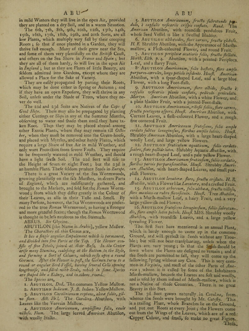 in mild Winters they will live in the open Air, provided they are planted on a dry Soil, and in a warm Situation. The 6th, 7 th, 8th, 9th, 10th, 12th, 13th, 14th, 15th, 16th, 17 th, 18th, 19th, and 20th Sorts, are all low Plants, which multiply very fall by their creeping Roots ; to that if once planted in a Garden, they will thrive fail enough. Many of thefe grow near the Sea, and fome of them very plentifully on the Britifilo Coaft, and others on the Sea Shore in France and Spain ; but they are all of them hardy, fo will live in the open Air in England ; but as they are Plants of little Beauty, are feldom admitted into Gardens, except where they are allowed a Place for the Sake of Variety. They are eafxly propagated by parting their Roots, which may be done either in Spring or Autumn ; and if they have an open Fxpofure, they will thrive in any Soil, unlefs under the Shade of Trees, where they ne¬ ver do well. The 22d and 23d Sorts are Natives, of the Cape cf Good Hope. Thefe may alfo be propagated by planting either Cuttings or Slips in any ol the Summer Months, obierving to water and fhade them until, they have ta¬ ken Root. Then they may be placed abroad, among other Exotic Plants, where they may remain till Ofto- ber, when they mull: be removed into the Green-houfe, and placed with Myrtles, and other hardy Plants, which require a large Share of free Air in mild Weather, and only want Protection from fevere Frofts. They require to be frequently watered in mild Weather, and fhould have a light frefh Soil. The 22d Sort will rife to the Height of feven. or eight Feet ; but the 23d is an humble Plant. Thefe feldom produce Seeds in Europe. There is a great Variety of the Sea Wormwoods, growing plentifully on the fait Marlhes, in divers Parts of England, which are indifferently gathered, and brought to the Markets, and fold for the Roman Worm¬ wood ; from which they differ greatly in the Colour of their Leaves, as alfo in their Tafle and Smell. By many Perfons, however, the Sea Wormwoods are prefer¬ red to the true Roman Wormwood, as having a ffronger and more grateful Scent; though the, Roman Wormwood is thought to be,!efs naufeous to the. Stomach. ABRUS. See Glycine. ABUTILON. [the Name is .Arabic], yellow Mallow. The Characters of this Genus are, It has a fihgle angular .Impalement which is- permanent, and divided into five Paris at the 'l op-. 'The Flower cc:u- Jifts of five- Petals, joined, at their Bafia. In- the Center arifie many Stamina, coalejcing at the Bottom to the Style, and forming a Sort of Column, 'which re fils upon a round Germen. After the Flower is pa ft, the Ger men turns to a round or angular Seed Vefifel, having feveral Cells opening lengthwfie, and filled with Seeds, which in fame Species are (haped like a Kidney, and in .other c .round*. The Species are, 1. Abutilon:. DoJ., The common Yellow Mallow. 2. Abutilon lndicum. J. B. Indian- YellowMallow. 3. Abutilon Carolinianum rep tans, alcece fohis, gil- vo fiore. Act. Phil. The Caroling, Ab.iiti.lon, with: Leaves like the Vervain Mallow. 4. Abutilon Americanum, ampliffimo folio, caule villofo. Plum. The large leaved American Abutilon, with woolly Stalks, 5. Abutilon Americanum, firuftu fiubroiundo dulo, e capfulis veficariis crifpis corfiato. Rand. The American Abutilon, with roundifh pendulous Fruit whofe Seed VefleL is like a fwelle.d Bladder. 6. Abutilon aIthvoider, fiore cameo, firuftu globofo, El E. Shrubby Abutilon, with the Appearance of Marfh- maliow, a Flefh-coloured Flower, and round Fruit. ^ 7. Abutilon periploca acutioris folio, fruftitfiellato. Horth. Elth. p. 4. Abutilon, with a pointed Periploca. Leal, and a harry Fruit. 8- Abutilon Americanum, folio hafiat0, fiore amplo purpureo-cceruleo, longo peiiolo inf dent e. Iloufi. American Abutilon, with a fpear-fhaped Leaf, and a, large blue Flower, with a long Foot-flalk. 9. Abutilon Americanum, fiore albido, firuftu e capjulis veficariis planis conflato, pediculo. geniculato. Martyn. American Abutilon, with a white Flower, and a plain bladder Fruit, with a jointed'Foot-flalk. 10. Abutilon Americanum, ribefiifoliis,fiore cameo, firuftu pentagon# afipero. Houfi. American Abutilon, with Currant Leaves, a ffefh-coloured Flower, and, a rough five cornered Fruit. 11. Abutilon Americanum jruteficens, folio amph cordato Jubtus lanuginofus, fioribus anrplis luteis. Iloufi. Shrubby American Abutilon, with a large, heart-fhaped, woolly Leaf, and large yellow Flowers. 12. Abutilon fruticejum aquaticum, folio cordato ficabro, fiore pallide luteo. Shrubby Aquatic Abutilon, with a rough heart-fhaped Leaf, and a pale yellow Flower. 13. Abutilon Americanumfruticcfum,foliis cordatis, fioribus parvis purpurafeentibus. Houfi. Shrubby Ameri¬ can Abutilon, with heart-fhaped Leaves, and fma.li pur- plifh Flowers. 14. Abutilon lavatera fiore, fruftu crifiato. H. E, Abutilon, with a Flower like Lavaiera, andacrefled Fruit. 13. Abu iilon arboreum, folio althcecs., firuftu villojcs, fiore maxima ex rubro fiavefeente. Houfi. Tree Abutilon, with a Marfh-mallow: Leaf, a hairy Fruit, and- a very large yejlowifh red Flower. 16. Abutilon fruteficens Ianugin0ft:n, foliis fubrotun-* dis, fiore amplo luteo paiulo. Houfi. MSS. Shrubby woolly Abutilon, with roundifh Leaves, and. a large yellow fpreading Flower. The, fir ft Sort here mentioned is an annual Plant, which, is,, hardy enough to come up in the common Ground, ar.d.will perfeCf its Seeds without any Trou¬ ble ; but will not bear tranfplaating, unlefs when the Plants . are., very young ; fo that the %:ds fhould be fown where the Plants are defigned to remain ; and if the Seeds are permitted to fall, they will come up the following. Spring without any Care. This is very conu- mon-in Virginia, and, moil of the other Parts oi Ame¬ rica ; where it is called by fome of the. Inhabitants , Marfh-mallow, becaufe the Leaves are foft arid woolly, and is ufed by them inflead of Marfh-mallow, which is not a Native of thofe Countries. There, is no great Beauty in this Sort. The, 3d. Sort grows naturally, in. Carolina, from whence the Seeds were brought by Mr. Catejby. This is a trailing Plant, whofe Branches lie on the Ground, and put out Roots at every Joint; the Flowers come out from the Wings of the Leaves, which are of a red Copper Colour, and fmaji, fo make.no great Figure.