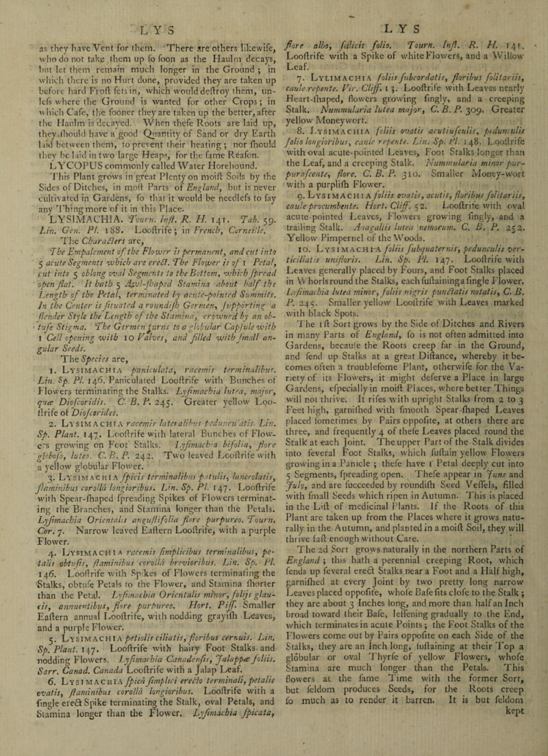 ns they have Vent for them. There are others like wife, who do not take them up fo foon as the Haulm decays, but let them remain much longer in the Ground ; in which there is no Hurt done, provided they are taken up before hard Froft fetsin, which woulddeflroy them, un- lefs where the Ground is wanted for other Crops; in which Cafe, the fooner they are taken up the better, after the Haulm is decayed. When thefe Roots are laid up, they.lliould have a good Quantity of Sand or dry Earth I tid between them, to prevent their heating; nor fhould they be laid in two large Heaps, for the fame Reafon. LYCOPUS commonly called Water Horehound. This Plant grows in great Plenty on moifl Soils by the Sides of Ditches, in mott Parts of England, but is never cultivated in Gardens, fo that it would be needlefs to fay any Thing more of it in this Place. LYSIMACHI A. Tourn. In ft. R. FI. 141. Tab. 59. Lin. Gen. PI. 188. Loo If rife; in French, Corneille. The CharaFlers arc. The Empalsment of the Flower is permanent, and cut into 5 acute Segments which are ere Ft. The Flower is of I Petal, cut into 5 oblong oval Segments to the Bottom, which fpread open plat. It hath 5 Apjl-fhaped Stamina about half the Length of the Petal, terminated by acute-pointed Summits. In the Center is fttuated a roundijh Germen, Jvpporting a fender Style the Length of the Stamina, crowned by an ob- tufe Stigma. The Germen turns to a globular Capfule with I Cell opening with 10 Valves, and filed with final l an¬ gular Seeds. The Species are, 1. Lysimachia p'aniculaia, racemis terminaiibus. Lin. Sp. PI. \if>. Paniculated Looffrife with Bunches of Flowers terminating the Stalks. Lyfimachia lutea, major, qua Diofcoridis. C. B. P. 245. Greater yellow Loo- If rife of Diojcorides. 2. Ly sim a chi A racemir latei alibus pedunculitis. Lin. Sp. Plant. 147. Looffrife with lateral Bunches of Flow¬ ers growing on Foot Stalks. lyfimachia bifolia, fore gp.bofo, luteo. C.B.P. 242. Two leaved Looffrife with a yellow globular Flower. 3. Lysimachia fpicis terminaiibus patulis, lanceolatis, ftaminjbus corolla longioribus. L>n. Sp. PI. 147. Looffrife with Spear-fhaped fpreading Spikes of Flow ers terminat¬ ing the Branches, and Stamina longer than the Petals. Lyfimachia Orientals anguftifolia fore purpureo. Tourn. Cor. 7. Narrow leaved Eaffern Loolfrife, with a purple Flower. 4. Lysimachia racemis fimplicibus terminaiibus, pe¬ tals s obtufis, ftaminibus corolla brevioribiis. Lin. Sp. PL 146. Looffrife with Spikes of Flowers terminating the Stalks, obtufe Petals to the Flower, and Stamina fhorter than the Petal. Lyfimachia Orientalis minor, folijs glan¬ ds, annuentibus, fore purPureo. Hort. Pif Smaller Eaffern annual Looffrife, with nodding grayifh Leaves, and a purple Flower. 5. Lysimachia petiolis cilia t is, ft or thus cernuis. Lin. Sp. Plant. 147. Looffrife with hairy Foot Stalks-and nodding Flowers. Lyfimachia Canadenfis, falappce foliis. Sarr. Canad. Canada Looffrife with a Jalap Leaf. 6. Lysimachia fpied fnnplici ereFlo terminal], petalis evatis, ftaminibus corolla longioribus. Looffrife with a {ingle eretf Spike terminating the Stalk, oval Petals, and Stamina longer than the Flower. Lyfimachia fpicata, fore albo, falicis folio. Tourn. Inf. R. H. 141, Looffrife with a Spike of white Flowers, and a Willow' Leaf. 7. Lylimachi a foliis fubcordatis, foribus folitariis, caule repente. Vir. Clif, 1 3. Looffrife with Leaves nearly Heart-lhaped, flowers growing fmgly, and a creeping Stalk. Nummularia lutea major, C. B. P. 309. Greater yellow Moneywort. 8. Lysimachia foliis ovatis acutiufculis, pedunculis folio longioribus, caule repente. Lin. Sp. PI. 148. Looffrife with oval acute-pointed Leaves, Foot Stalks longer than the Leaf, and a creeping Stalk. Nummularia minor pur- purnfeente, fore. C. B. P. 310. Smaller Money-Wort with a purplifh Flower. 9. Lys 1M A ch : A foliis ovatis, acutis,foribus folitariis, caule procumbent e. Hort. Cliff. 52. Looffrife with oval acute pointed Leaves, Flowers growing fingly, and a trailing Stalk. As a gall is lutea nernorum. C. B. P. 252. Yellow Pimpernel of the Woods. 10. Lysimachia foliis fubquaternis, pedunculis ver- ticillatis uniftoris. Lin. Sp. Pl. 147* Looffrife with Leaves generally placed by Fours, and Foot Stalks placed in Whorls round the Stalks, each fuftaininga Tingle Flower. Lxftmacbia lutea minor,foliis nigris pun Flat is no tat is, C. B. P. 245. Smaller yellow Looffrife with Leaves marked with black Spots. The 1 ft Sort grows by the Side of Ditches and Rivers in many Parts of England, fo is not often admitted into Gardens, becaule the Roots creep far in the Ground, and fend up Stalks at a great Diffance, whereby it be¬ comes often a troublefome Plant, otherwife for the Va¬ riety of its Flowers, it might deferve a Place in large Gardens, efpeciallyin moiff Places, where better Things will not thrive. It rifes with upright Stalks from 2 to 3 Feet high, garnifhed with fmooth Spear-fhaped Leaves placed fometimes by Pairs oppofite, at others there are three, and frequently 4 of thefe Leaves placed round the Stalk at each joint. The upper Part of the Stalk divides into feveral Foot Stalks, which fuffain yellow Flowers growing in a Panicle ; thefe have 1 Petal deeply cut into 5 Segments, fpreading open. Thefe appear in June and July, and are fucceeded by roundifh Seed VefTels, filled with fmall Seeds which ripen in Autumn. This is placed in the LUf of medicinal Plants. If the Roots of this Plant are taken up from the Places where it grows natu¬ rally in the Autumn, and planted in a moiff Soil, they will thrive faff enough without Care. The 2d Sort grows naturally in the northern Parts of England ; this hath a perennial creeping Root, which fends up feveral eredt Stalks near a Foot and a Half high, garnifhed at every Joint by two pretty long narrow Leaves placed oppofite, whole Bafefits clofe to the Stalk ; they are about 3 Inches long, and more than half an Inch broad toward their Bafe, leffening gradually to the End, which terminates in acute Points; the Foot Stalks of the Flowers come out by Pairs oppofite on each Side of the Stalks, they are an Inch long, fuffaining at their 'Fop a globular or oval Thyrfe of yellow Flowers, whofe Stamina are much longer than the Petals. This flowers at the fame Time with the former Sort, but feldom produces Seeds, for the Roots creep fo much as to render it barren. It is but feldom kept