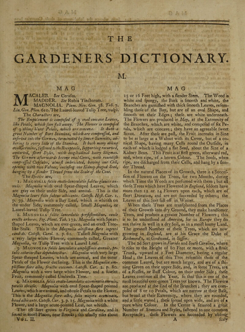 GARDENERS DICTIONARY. ■ - M. MAG ACALEB. See Cerafus. MADDER. See Rubia Tin&orum. MAGNOLIA. Plum. Nov. Gen. 38. Tab. 7. Lin. Gen. Plan. 610. The Laurel-leaved Tulip Tree,vulgo. The Characters are. The Entpblement is compofed of 3 oval concave Leaves, like Petals, which foon fall avjay. The Flower is compofed of g oblong blunt Petals, which are concave. It hath a great Number of fhort Stamina, which are comprejfed, and iuferted into the Germen, terminated by linear Summits, ad¬ hering to every Side of the Stamina. It hath many oblong ovalGermina, fdfened to theReceptacle, fupporting recurved, contorted, fort Styles, with longitudinal hairy Stigmas. The Get men afterwards become oval Cones, with roundifb campy effecl Capfules, almof imbricated, having one Cell, opening with tivo Valves, incloftng one Kidney-fhaped Seed, banging by a fender Thread from the Scale of the Cone. The Species are, 1. Magnolia foliis ovato-lanceolatis fuhtusglaucis an- ttuis. Magnolia with oval Spear-fhaped Leaves, which are gray on their under Side, and annual. This is the Magnolia lauri folio fubtus albicante. Catefb. Hif. Car. I. p. 39. Magnolia with a Bay Leaf, which is whitilh on the under Side, commonly called. Small Magnolia, or Laurel-leaved Tulip Tree. 2. Magnolia foliis lanceolatis perffentibus, caule eredlo arboreo. Fig. Plant. Tab. 1 7 2. Magnolia with Spear- fhaped Leaves, which are ever-green, and an eredt Tree¬ like Stalk. This is the Magnolia altiffima fore ingenti candtdo. Catefb. Card. 2. p. 61. Tailed Magnolia with a very large white Flower, commonly called. Greater Magnolia, or Tulip Tree with a Laurel Leaf. 3. Magnolia foliis lanceolatis ampliffmis annuis, fe¬ talis exterioribus dependentibus. Magnolia with very large Spear-(heaped Leaves, which are annual, and the outer Petals of the Flower declining. This is th<1 Magnolia am- pliffimo fore albo, frudtu coccineo. Catefb. Car. 2. p. 80. Magnolia with a very large white Flower, and a fcarlet Fruit, commonly called Umbrella Tree. 4. Magnolia foliis ovato-lanceolatis acuminatis annuis, fetalis obtiifts. Magnolia with oval Spear-fhaped pointed Leaves, which are annual, and-oblufe Petals to the Flower. This is the Magnolia fore albo, folio majore acuminata, baud albicante. Catefb. Car. 3. p. 15. Magnolia with a white Flower, and a large acute-pointed Leal, not whitifh. The id Sort grow's in Virginia and Carolina, and is found in moift Places, near Brooks j this ufually rifes about V O L. II. MAG 15 or 16 Feet high, with a (lender Stem. The Wood is white and fpongy, the Bark is fmooth and white, the Branches are garnilhed with thick fmooth Leaves, refem- bling thofe of the Bay, but are of an oval Shape, and fmooth on their Edges; thefe are white underneath. The Flowers are produced in May, at the Extremity of the Branches, which are white, and compofed of fix Pe¬ tals, which are concave ; they have an agreeable fweet Scent. After thefe are pad, the Fruit increafes in Size to be as large as a Walnut with its Cover, but of a co¬ nical Shape, having many Cells round the Outfide, in each of which is lodged a flat Seed, about the Size of a Kidney Bean. This Fruit is at fird green, afterward red, and, when ripe, of a brown Colour. The Seeds, when ripe, are difcharged from their Cells, and hang by a (len¬ der Thread. In the natural Places of its Growth, there is aSuccef- fion of Flowers on the Trees, for two Months, during which Time the Woods are perfumed with them ; but all thofe Trees which have Flowered in England, feldom have more than 12 or 14 Flowers upon each, which are of fhort Duration, and are not fucceeded by others; the Leaves of this Sort fall off in Winter. When thefe Trees are tranfplanted from the Places of their Growth into dry Ground, they make handfomer Trees, and produce a greater Number of Flowers; this is to be underdood .of America, for in Europe they do not thrive fo well in a dry Soil, as in a moid loamy Land. The greated Number of thefe Trees, which are now growing in England, are at his Grace the Duke of Richmond’s, at Goodwood, in Suffex. The 2d Sort grows in Florida and South Carolina, where it rifes to the Height of 80 Feet or more, with a drait Trunk, upward ot‘ 2 Feet Diameter, having a regular Head ; the Leaves of this Tree refemble thofe of the common Laurel, but are much larger, and are of a (hi- ning Green on their upper Side, and, in fome Trees, are of a RuflTet, or Buff Colour, on their under Side; thefe Leaves continue all the Year, fo that this is one of the mod beautiful ever-green Trees yet known. The Flower* are produced at the End of the Branches; they are com¬ pofed of 8 or 10 Petals, which are narrow at their Bafe, bu-t broad at their Extremity, where they are rounded, and a little waved ; thefe fpread open wide, and are of a pure white Colour. In the Center is fituated a great Number of Stamina and Styles, fadened to one common Receptacle j thefe Flowers are fucceeded by oblong A fcalr 4