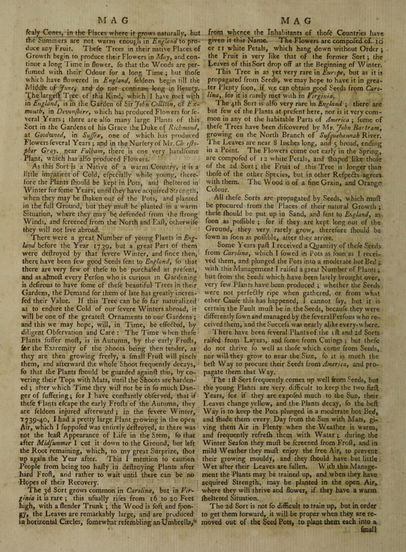 fcaly Cortes, in the Places where it grows naturally, but the Summers are not warm enough in England to pro¬ duce any Fruit. Thefe Trees in their native Places of Growth begin to produce their Flowers in May, and con¬ tinue a long 'l ime in flower, fo that the Woods are per¬ fumed with their Odour for a long Time ; but thofe which have flowered in England, feldom begin till the Middle of June, and do not continue tong in Beauty. The larged Tree of this Kind, which I have met with in England, is in the Garden of Sir JoEiiCbUiion, of Ex- mouth, in Devon (hi re, which has produced Flowers for fe¬ deral Years; there are alfo many large Plants of this Sort in the Gardens of his Grace the Duke of Richmond, at Goodwood, in SuJJex, one of which has produced Flowers feveral Years; and in the Nurfery of Mr. Ch ijlo- pher Gray, near Fulham, there is one very handfome Plant, which has alfo produced Flowers. As this Sort is a Native of a warm Country* it is a little impatient of Cold, efpecially while young, there¬ fore the Plants fhould be kept in Pots, and fbeltered in Winter for fome Years, until they have acquired Strength, when they may be fhaken out of the Pots, and planted in the full Ground, but they muff be planted iri a warm Situation, where they may be defended from the flrong Winds, and fereened from the North and Ealf, otherwife they will not live abroad. There were a great Number of young Plants in Eng¬ land before the Year 1739, but a great Part of them were deftroyed by that fevere Winter, and fince then, there have been few good Seeds fent to England, fo that there are very few of thefe to be purchafed at prefent, and as afmofl every Perfon who is curious m Gardening is defirous to have fome of thefe beautiful Trees in their Gardens, the Demand for them of late has greatly increa- fed their Value. If this Tree can be fo far naturalized as to endure the Cold of our fevere Winters abroad, it will be one of the greateff Ornaments to our Gardens; and this we may hope, will, in Time, be effe&ed, by diligent Obfervation and Care : The Time when thefe Plants fuffer moff, is in Autumn, by the early Frofls, fib r the Extremity of the Shoots being then tender, as they are then growing freely, a fmall Froft will pinch them, and afterward the whole Shoot frequently decays, fo that the Plants fhould be guarded againft this, by co¬ vering their Tops with Mats, until the Shoots are harden¬ ed ; after which Time they will not be in fo much Dan¬ ger of fuffering; for I have conftantly obferved, that if thefe Plants efcape the early Frofls of the Autumn, they are feldom injured afterward ; in the fevere Winter, T739-40, I had a pretty large Plant growing in the open Air, which I fuppofed was entirely deflroyed, as there was XtOt the leaft Appearance of Life in the Stem, fo that after Midfummer I cut it down to the Ground, but left the Root remaining, which, to my great Surprize, fhot up again the Year after. This I mention to caution People from being too hafty in deftroying Plants after hard Froft, and rather to wait until there can be no Hopes of their Recovery. The 3d Sort grows common in Carolina, but in Vir¬ ginia it is rare ; this ufually rifes from 16 to 20 Feet high, with a (lender Trunk ; the Wood is foft and fpon- gy, the Leaves are remarkably large, and are produced in horizontal Circles, fomewhat refembling an UmbrelLa,' from whence the Inhabitants of thofe Countries have given it this Name. The Flowers are compofedof. id or 11 white Petals, which hang down without Order ; the Fruit is very like that of the former Sort; the Leaves of this Sort drop off at the Beginning of Winter. This Tree is as yet very rare in Eunpe, but as it is propagated from Seeds, we may hope to have it in grea¬ ter Plenty loon, if we can obtain good Seeds from Caro¬ lina, for it is rarely met with in Virginia. The 4th Sort is alfo very rare in England ; there are but few of the Plants at prefent here, nor is it very com¬ mon in any of the habitable Parts of America ; fome of thefe Trees have been difeovered by Mr. John Bar tram, growing on the North Branch of Sufquehannah River. 'J he Leaves are near 8 Inches long, and 5 broad, ending in a Point. The Flowers come out early in the Spring, are compofed of 1 2 white Petals, and fhaped like thofe of the 2d Sort; the Fruit of this Tree is longer than thofe of the other Species, but in other Refpedh. agrees with them. 7 he Wood is of a fine Grain, and Orange Colour. All thefe Sorts are propagated by Seeds, which muff be procured from the Places of their natural Growth ; thefe fhould be put up in Sand, and fent to England, as foon as poflible ; for if they are kept long out of the Ground, they very rarely grow, therefore fhould bo Town as foon as poflible, after they arrive. Some Years part I received a Quantity of thefe Seeds from Carolina, which I fowed ih Pots as foon as J recei¬ ved them, and plunged the Pots into a moderate hot Bed with this Management I raifed a great Number of Plants; but from the Seeds which have been lately brought over, very few Plants have been produced ; whether the Seeds were not perfeSUy ripe when gathered, or from what other Caufe this has happened, I cannot fay, but it is certain the Fault mufl: be in the Seeds, becaufe they were differently Town and managed by the feveralPerfons who re¬ ceived them, and the Succefs was nearly alike every-where. There have been feveral Plants of the iff and 2d Sorts raifed from Layers, and fome from Cutings ; but thefe do not thrive fo well as thofe which come from Seeds, nor will they grow to near the Size, fo it is much the beft W ay to procure their Seeds from America, and pro¬ pagate them that Way. The iff Sort frequently comes up well from Seeds, but the young Plants are very difficult to keep the two firft Years, for if they aFe expofed much to the Sun, their Leaves change yellow, and the Plants decay, fo the beft Way is to keep the Pots plunged in a moderate hot Bed, and fhade them every Day from the Sun with Mats, gi¬ ving them Air in Plenty when the Weather is warm, and frequently refrefh them with Water; during the Winter Seafon they muff be fereened from Froft, and in mild Weather they muft enjoy the free Air, to prevent their growing mouldy, and they fhould have but little Wet after their Leaves are fallen. With this Manage¬ ment the Plants may be trained up, and when they have acquired Strength, may be planted in the open Air, where they will thrive and flower, if they have a warm fheltered Situation. The 2d Sort is not fo difficult to train up, but in order to get them forward, it wfill be proper when they are re¬ moved out of the Seed Pots, to plant them each into a fmall