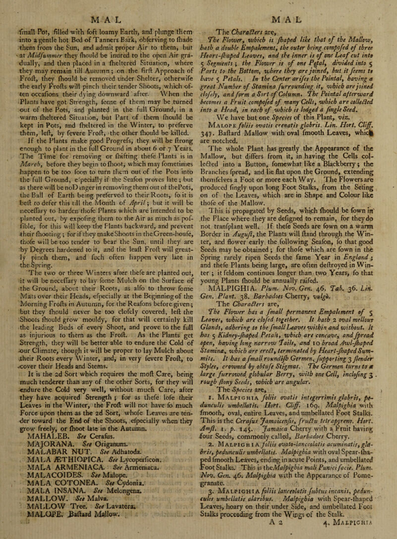 final! Pot, filled with foft loamy Earth, and plunge them into a gentle hot Bed of Tanners Bark, obferving to (hade them from the Sun, and admit proper Air to them, but at Midfutnmer they fhould be inured to the open Air gra¬ dually, and then placed in a fheltered Situation, where they may remain till Autumn ; on the firft Approach of Froft, they fhould be removed under Shelter, otherwife the early Frofts will pinch their tender Shoots, which of¬ ten occafions their dying downward after. When the Plants have got Strength, fome of them may be turned out of the Pots, and planted in the full Ground, in a warm fheltered Situation, but Part of them fhould be kept in Pots, and fheltered in the Winter, to preferve them, left, by fevere Froft, the other fhould be killed. If the Plants make good Progrefs, they will be ftrong enough to plant in the full Ground in about 6 or 7 Years. The Time for removing or fhifting thefe Plants is in March, before they begin to fhoot, which may fometimes happen to be too foon to turn them out of the Pots into the full Ground, especially if the Seafon proves late ; but as there will be noD anger in removing them out of thePots, the Ball cf Earth being preferved to their Roots, fo it is beft ro defer this till the Month of April; but it will be neceflary to harden tliofe Plants which are intended to be planted out, by expofing them to the Air as much as pof- fible, for this will keep the Plants backward, and prevent their fhooting ; for if they make Shoots in theGreen-houfe, thofe will be too tender to bear the Sun, until they are by Degrees hardened to it, and the leaft Froft will great¬ ly pinch them, and fuch often happen very late in the. Spring. The two or three Winters after thefe are planted out, it will be neceffary to lay fbme Mulch on the Surface of the Ground, about their Roots, as alfo to throw fome Mats over their Heads, efpecially at the Beginning of the Morning Frofts in Autumn, for the Reafons before given; but they fhould never be too clofeiy covered, left the Shoots fhould grow mouldy, for that will certainly kill the leading Buds of every Shoot, and prove to the full as injurious to them as the Froft. As the Plants get Strength, they will be better able to endure the Cold of ■our Climate, though it will be proper to lay Mulch about .their Roots every Winter, and, in very fevere Froft, to ■.cover their Heads and Stems. It is the 2d Sort which requires the mod Care, being much tenderer than any of the other Sorts, for they will endure the Cold very well, without much Care, after they have acquired Strength ; for as thefe lofe their Leaves in the Winter, the Froft will not have fo much Force upon them as the 2d Sort, whofe Leaves are ten¬ der toward the End of the Shoots, efpecially when they grow freely, or fhoot late in the Autumn. MAHALEB. See Cerafos. MAJOR AN A. See Or iganum. MALABAR NUT. See Adhatoda. MALA /BTHIQPICA. Lycoperftcon. MALA ARMENIACA. See Armeniaca. MALACOIDES. See Malope. MALA COTONEA. See Cydonia. MALA INSANA. See Melongena. MALLOW. See Malva. MALLOW Tree. See Lavatera. MALOPE, Eaftard Mallow. The Characters are. The Flowery which is ftaped like that of the Mallow, bath a double Empalement, the outer being compofed cf three Heart-fleaped Leaves, and the inner it of one Leaf cut into 5 Segments ; the Flower is of one Pftal, divided into 5 Parts to the Bottom, where they are joined, but it feems to have 5 Petals. In the Center arifes the Pointal, having a great Number of Stamina furrounding it, which are joined clofeiy, and form a Sort of Column. The Pointal afterward becomes a Fruit compofed of many Cells, which a re colie died into a Head, in each of which is lodged a ftngle Seed. We have but one Species of this Plant, viz. Malope foliis ovatis crenatis glabris. Lin. Hort. Cliff. 347. Baftard Mallow with oval fmooth Leaves, whicl| are notched. The whole Plant has greatly the Appearance of the Mallow, but differs from it, in having the Cells col- lefted into a Button, fomevvhat like a Blackberry; the Branches fpread, and lie flat upon the Ground, extending themfelves a Foot or more each Way. The Flowers are produced ftngly upon long Foot Stalks, from the Seting on of the Leaves, which are in Shape and Colour like thofe of the Mallow. This is propagated by Seeds, which fhould be fown in' the Place where they are defigned to remain, for they do not tranfplant well. If thefe Seeds are fown on a warm Border in Augujl, the Plants will ftand through the Win¬ ter, and flower early the following Seafon, fo that good Seeds may be obtained; for thofe which are fown in the Spring rarely ripen Seeds the fame Year in England ; and thefe Plants being large, are often deftroyed in Win¬ ter ; it feldom continues longer than two Years, fo that young Plants fhould be annually raifed. MALPIGHIA. Plum. Nov. Gen. 46. Tab. 36. Lin. Gen. Plant. 38. Barbadoes Cherry, vulgb. The Characters are, The Flower has a fmall permanent Empalement of 5 Leaves, which are clofed together. It hath 2 oval mellows Glands, adhering to the fmall Leaves within and without. It has 5 Kidney-Jhaped Petals, which are concave, and fpread open, having long narrow Fails, and 10 broad Awl-Jhaped Stamina, which are ereCl, terminated by Heart-Jhaped Sum¬ mits. It has a fmall roundijb Germen, fupporting 3 flender Styles, crowned by obtufe Stigmas. The Germen turns to a large furrowed globular Berry, with one Cell, incloftng 3 . rough ftony Seeds, which are angular. The Species are, 1. Malpighia foliis ovatis integerrimis glabris, pe- dunculis umbellatis. Ilort. Clijf. 169. Malpighia with fmooth, oval, entire Leaves, and umbellated Foot Stalks. This is the Cerafus Jamaicenfis, fruCtu tetrapyreno. Hort. Amfl. 1. p. 145. Jamaica Cherrywith a Fruit having ■four Seeds, commonly called, Barbadoes Cherry. 2. Malpighia foliis ovato-lanceolatis acuminatis, gla¬ bris, pedunculis umbellatii. Malpighia with oval Spear-fha- ped fmooth Leaves, ending in acute Points, and umbellated Foot Stalks. This is {he Malpighi a malt Punici facie. Plum. Nov. Gen. 46. Malpighia with the Appearance of Pome¬ granate. 3. Malpighia foliis lanceolafis fubtus incanis, pedun¬ culis umbellatis alaribus. Malpighia with Spear-fhaped Leaves, hoary on their under Side, and umbellated Foot Stalks proceeding from the Wings -of the Stalk.