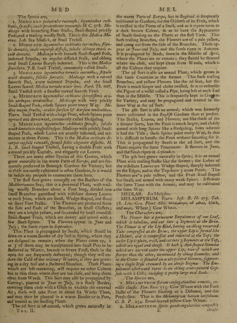 The Species are, 1. Mf.dicago peduncnlis racemofts, leguminibus coch- Uatis,fpinoJic, caulsprocumbente tomentofo. H. C. 378. Me- dicago with branching Foot Stalks, Snail-fhaped prickly Pods,and a trailing woolly Stalk. This is the Medica Ma¬ rina. Lob. Sea Medick, or Snail Trefoil. 2. Medic AGO leguminibus cocbleatis ine?mibus, Jlipu¬ lls dentatis, cauls angulofo dijfufo, foliolis oblongo ovatis a- cutZ dentatis. Medicago with fmooth Snail-fhaped Pods, indented Stipulae, an angular diffufed Stalk, and oblong oval fmall Leaves fharply indented. 1 his is the Medica fcutellata. J.B. Snail Trefoil, commonly called Snails. 3. Medicago leguminibus tornatis inermibus, flipulis acute dentatis, foliolis ferratis. Medicago with a turned fmooth Pod, acute indented Stipulae, and the fmall Leaves fawed. Medica tornata minor lenis. Park. Th. 1116. Snail Trefoil with a fmaller turned fmooth Fruit. 4.. Medicago leguminibus cocbleatis fpinoftJJwiis acu- leis utrtnque tendentibus. Medicago with very prickly Snail-fhaped Pods, whofe Spines point every Way. Me¬ dica magno fruftu, aculcis furfum fcf deorfum tendentibus. Tourn. Snail Trefoil with a large Fruit, whofe Spines point upward and downward, commonly called Hedgehog. 5. Medicago leguminibus cocbleatisfpitiojis, foliolis acuti dentatis tricufpidibufquc. Medicago with prickly Snail- fhaped Pods, whofe Lobes are acutely indented, and ter¬ minate in three Points. This is the Medica cocbleata di- carpos capfuld rotunda, fpinofd foliis cleganter dijjeftis. H. L. B. Snail-fhaped Trefoil, having a double Fruit with a round prickly Capiule, and elegantly cut Leaves. There are many other Species of this Genius, which grow naturally in the warm Parts of Europe, and are< fre¬ quently preferved in Botanick Gardens for Variety; but as thefe are rarely cultivated in other Gardens, fo it would be befide my purpofe to enumerate them here. The firft Sort grows naturally on the. Borders of the Mediterranean Sea; this is a perennial Plant, with trail¬ ing woolly Branches about a Foot long, divided into fmall Branches garnifhed with trifoliate downy Leaves at each Joint, which are fmall, Wedge-fhaped, and ttand on fhort Foot Stalks. The Flowers are produced from the Side and Ends of the Branches, in fmall Clutters; they are a bright yellow, and fucceeded by fmall roundifh Snail-fhaped Fruit, which are downy and armed with a few fhort Spines. The Flowers appear in June and July ; the Seeds ripen in September. This Plant is propagated by Seeds, which fhould be fown on a warm Border of dry Soil in Spring, where they are defigned-to remain; when the Plants come up, 2 or 3 of them may be tranfplanted into fmall Pots to be fheltered in Winter, becaufe in fevere Froft, thofe in the open Air are frequently deftroyed; though they will en¬ dure the Cold of our ordinary Winters, if they are grow¬ ing in a dry Soil and a fheltered Situation. Thofe Plants - which are left remaining, will require no other Culture but to thin them where they are too clofe, and keep them clean from Weeds. This Sort may alfo be propagated by Cuttings, planted in June or July, in a fhady Border, covering them clofe with a Glais to exclude the external Air ; thefe will take Root in about fix Weeks Time, and may then be planted in a warm Border or in Pots, and treated as the feedling Plants. The 2d Sort is aft annual, which grows naturally in V o l. II. the warm Parts of Europe, but in England is frequently cultivated in Gardens, for the Oddnefs of its Fruit, which is twitted in the Form of a Snail, and as it ripens turns to a dark brown Colour, fo as to have the Appearance of Snails feeding on the Plants at the firft View. This hath trailing Branches, the Flowers are of a pale yellow, and comg out from the Side of the Branches. Thefe ap¬ pear in June and July, and the Seeds ripen in Autumn. It is propagated by Seeds, fown in the Middle of April, where the Plants are to remain ; they fhould be thinned where too clofe, and kept clean from Weeds, which is all the Culture they require. The 3d Sort is alfo an annual Plant, which grows in the fame Countries as the former. This hath trailing Branches, and yellow Flowers like the 2d Sort, but the Fruit is much longer and clofer twitted, fo as to refemblc the Figure of a vettel called a Pipe, being lefs at each Lnd than in the Middle. This is frequently kept in Gaj^ens for Variety, and may be propagated and treated in the fame Way as the 2d Sort. The 4th Sort is alfo an annual, which was formerly more cultivated in the Englijh Gardens than at prefer.t. The Stalks, Leaves, and Flowers, are like thofe of the 2 former Sorts, but the Fruit is much larger, and clofely armed with long Spines like a Hedgehog, from whence it had the Title ; thefe Spines point every Way, fo that it is difficult to handle, the Fruit without fmarting for it. This is propagated by Seeds as the 2d Sort, and the Plants require the fame Treatment/ It flowers in June, and the Seeds ripen in September. The 5 th Sort grows naturally in Syria ; it is an annual Plant with trailing Stalks like the former; the Lobes of the trifoliate. Leaves are Wedge-fhaped, fharply indented on the Edges, and at the Top have 3 acute Points. The Flowers are*a pale yellow, and the Fruit Snail ttiaped but fmall, and armed with many weak Spines. It flowers the fame Time with the former, and may be cultivated the fame Way. MEDLAR. See Mefpilus. MELAMPYRUM. Tourn. Injl. R. H. 173. Tab.'. 78. Lin. Gen. Plant:,660. of pJtety black,, and mjfoi;, Wheat.] Cow Wheat. The Char afters are. The Flower has a permanent Empalement of one Leaf which is tubulous, and cut into 4 Segments at the Brim. The Flower is of the Lip Kind, having an oblong recurved - Tube comprejfed at the Brim ; the upper Lip is formed like a Heltnet, and is comprejfed and indented at the Top; the under Lip is plain, ere ft, and cut into 3 Segments at the Top, which are equal and obtufe. It hath 4 Awl-jhaped Stamina which are curved under the upper Lip, two of which are Jhorter than the other, terminated by oblong Summits, and in the Center is ftuated an acute-pointed Germen, fupport- ing a /ingle Style crowned by an obtufe Stigma. The Em¬ palement afterward turns to an oblong acute-pointed Cap- fule with 2 Cells, inclofmg 2 pretty large oval Seeds. . The Species are, 1. Melam?vrum forum conjugationibus remotis, co- rollis claufis. Flor. Suec. c 13- Cow Wheat with the f oot Stalks of'the Flowers {landing at a Dillance, and the Petals {hut. This is the Melampyrum luteum latifolium. C. B. P. 234. Broad-leaved yellow Cow Wheat. 2. Mel AMPYRUM._/^/f/V quadrangularibus compaftis E obtu/is