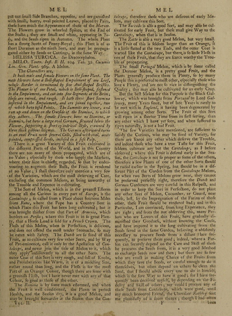 put out fmall Side Branches, oppofite, and aregarniflicd with fmall, hoary, oval pointed Leaves, placed by Pairs, thefe have much the Appearance of thofe of the Marum. The Flowers grow in whorled Spikes, at the End of the Stalks ; they are fmall and white, appearing in Ju¬ ly, and the Seeds ripen in Autumn. The whole Plant has a ftrong Scent of Penny-Royal ; this Plant is of as fhort Duration as the ninth Sort, and may be propaga- gated either by Seeds or Cuttings, in the fame Way. MELISSA TURCICA. See Dracocephalon. MELO. Tourn. lnfi. R. II. 104. Tab. 32. Cucumis Lin. Gen. Plant. 969. A Melon. The Characters are. It hath male and female flowers on the fame Plant. The male flowers have a Bell-fioapcd Empalement of one Leaf, •whofe Border is terminated by five Awl-fhaped Briftles. The Flower is of one Petal, which is Bell-fijaped, fafiened to the Empalement, and cut into five Segments at the Brim ; thefe are veined, and rough. It hath three fijort Stamina inferted in the Empalement, and are joined together, two of which have bifid Points. The Summits are linear, and run up and down on the Outfsde of the Stamina, to which they adhere. The female Flowers have no Stamina, or Summits, but have a large oval Germen, fituated below the Flower, fupporting a fijort cy indrical Style, crowned by three thick gibbous Stigmas. 7 he Germen afterward turns to an oval Fruit with feveral Cells, filled with oval, acute pointed, comprejfed Seeds, inclofed in a foft Pulp. There is a great Variety of this Fruit cultivated in the different Parts of the World, and in this Country there are too many of them propagated, which are of no Value ; efpecially by thofe who fupply the Markets, where their Size is chiefly^ regarded, fo that by endea¬ vouring to augment their Bulk, the Fruit is rendered ot no Value ; 1 fhall therefore only mention a very few • of the Varieties, which are the mold deferving of Care, excluding the common Melons, as being unworthy of the Trouble and Expence in cultivating. The Sort of Melon, which is in the greateft Effeem among all the Curious in every part of Europe, is the Cantaleupe ; fo called from a Place about fourteen Miles from Rofne, where the Pope has a Country Seat in which Place this Fruit has been long cultivated ; but it was brought thither from that Part of Armenia, which borders on Perfia ; where this Fruit is in fo great Plen¬ ty, that a Horfe Load is fold for a French Crown. The Flefh of this Melon, when in Perfection, is delicious, and does not offend the mod tender Stomachs, fo may be eaten with Safety. The Dutch are fo fond of this Fruit, as to cultivate very few other Sorts, and by Way of Pre-eminence, call it only by the Apellaticn of Can¬ taleupe, and never join the title of Melon to it, which they appl/indifferently to all the other Sorts. The outer Coat of this Sort is very rough, and full of Knobs, and Protuberances like Warts, it is of a middling Size, rather round than long, and the Flefh is for the mod Part of an Orange Colour, though there are fome with a greenifh Flefh, but I have never met with any of that Colour, fo good as thofe of the other. The Romana is by fome much effeemed, and when the Fruit is well conditioned, the Plants in perfedt Health, and the Seafon dry, it is a good Melon, and may be brought forwarder in the Seaion than the Can- Vol. II. talcupe. therefore thofe who are defirous of early Me¬ lons, may cultivate this Sort. The Succado is alfo a good Sort, and may alfo be cul¬ tivated for early Fruit, but thefe muff give Way to the Cantaleupe, when that is in Seafon. The Zatte is alfo a very good Melon, but very fmall. The Fruit of this is feldom larger than an Orange, ft is a little flatted at the two Ends, and the outer Coat is wrartcd like the Cantaleupe, but there, is fo little Flefh in one of thefe Fruit, that they are fcarce worthy the Trou¬ ble of propagating. The fmall Portugal Melon, which is by fome called the Dormer Melon, is a pretty good Fruit, and the Plants generally produce them in Plenty, fo by many People this is preferred to mod other, efpecially thofe who love a Plenty, and‘are not fo nice in diftinguifhing the Quality ; this may alfo be cultivated for an early Crop. But the beff Melon for this Purpofe is the Black Gal¬ loway, which was brought from Portugal by Lord Gal¬ loway, many Years finee, but of late Years is rarely to be met with in England, it havirig been degenerated by growing among other Sorts. The Fruit of this Sort will ripen in a fhorter Time from its firff feting, than any other which I have yet feen, and when fuffered to ripen naturally, is not a bad Fruit. 'rhe few Varieties here mentioned, are fufffeient to fatisfy the Curious, who may be fond of Variety, for there are fcarce any other which deferve the Trouble, and indeed thofe w^ho have a true Taffe for this Fruit, feldom cultivate any but the Cantaleupe, as I before obferved ; w here this Fruit is defired early in the Sea¬ fon, the Cantaleupe is not fo proper as fome of the others, therefore a few Plants of one of the other Sorts fhould be raifed earlier in the Spring, but fhould be in a dif¬ ferent Part of the Garden from the Cantaleupe Melons, for when two Sorts of Melons grow near, they cannot be preferved perfe&ly right, therefore the Dutch and German Gardeners are very careful in this Refpedt, and in order to keep the Sort in Perfedhon, do not plant any other Sort of Melon, Cucumber, or Gourd, near thefe, left, by the Impregnation of the Farina of thofe other, thefe Fruit Ihould be rendered bad ; and in this Particular, I am convinced, from long Experience, they are right ; and from the not obferving this, many Per- lons who are Lovers of this Fruit, have gradually di- minifhed their Goodnefs, without knowing the Caufe, and have imputed it to the long cultivating from the Seeds faved in the fame Garden, believing it abfolutely neceflary to procure Seeds from a diffant hlace fre¬ quently, to preferve them good ; indeed, where a Per- fon can fecurely depend on the Care and Skill of thofe he procures the Seeds from, it is a very good Method to exchange Seeds now and then ; but there are fo few who are exa£t in making Choice ot the Fruits from which they lave the Seeds, or careful enough to do it themfelves, but often depend on others to clean the Seed, that I ihould advife every one to do it himfelt, which is the fure Way to have it good ; for I have fre¬ quently been deceived myfelt, by depending on the F i- delity and Skill of others ; nor could I procure any of thefe Seeds from Catitalevpe, which were good, until my much honoured Friend, the Chevalier Rathb'eg lent me plentifully of it from thence ; though I had often F been