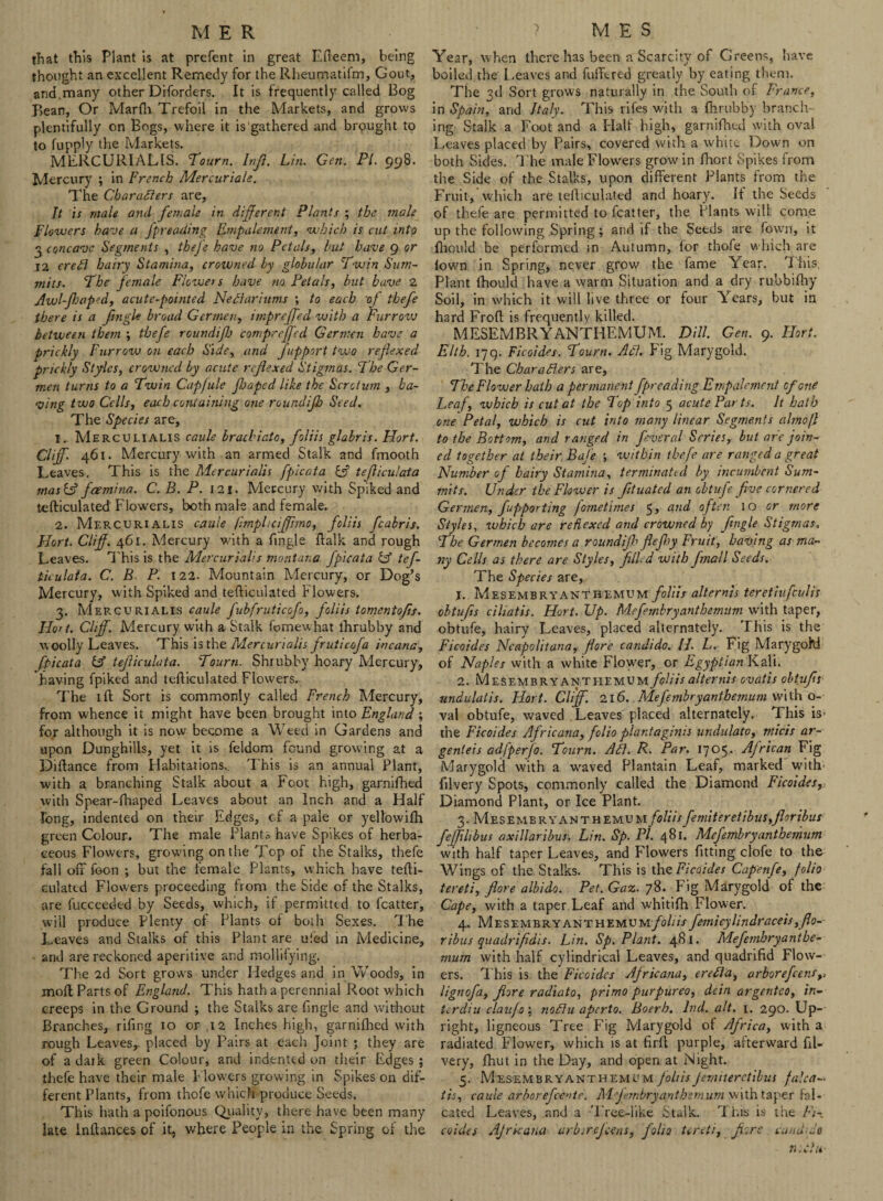 MER that this Plant is at prefent in great Efteem, being thought an excellent Remedy for the Rheumatifm, Gout, and.many other Diforders. It is frequently called Bog Pjean, Or Marfh Trefoil in the Markets, and grows plentifully on Bogs, where it is gathered and brpught to to fupply the Markets. MERCURIALIS. Tourn. Inji. Lin. Gen. PI. 998. Mercury ; in French Mercuriale. The Characters are, It is male and female in different Plants ; the male Flowers have a fpreading Empalement, which is cut into 3 concave Segments , theje have no Petals, hut have 9 or 12 eredl hairy Stamina, crowned by globular Twin Sum¬ mits. The jemale Flowers have no Petals, but have 2 Awl-faped, acute-pointed Nedlariums ; to each 'of thefe there is a fugle broad Gcrmen, inipreffed with a Furrow between them ; thefe roundifj compreffed Germcn have a prickly Furrow on each Side, and fupport two reflexed prickly Styles, crowned by acute reflexed Stigmas. The Ger- men turns to a Twin Capfule fhaped like the Scrotum , ha¬ ving two Cells, each containing one roundijh Seed. The Species are, 1. Merculialis cauls brachiato, foliis glabris. Hort. Cliff. 461. Mercury with an armed Stalk and frnooth Leaves. This is the Mercurialis fpicata & tefliculata masU? feemina. C. B. P. 121. Mercury with Spiked and iefticulated Flowers, both male and female. 2. Mercurialis caule fmpliciffhno, foliis fcabris. Hort. Cliff. 461. Mercury with a fingle ftalk and rough Leaves. This is the Mercurialis montana fpicata & tef- ticulata. C. B P. 122. Mountain Mercury, or Dog’s Mercury, with Spiked and tefticulated Flowers. 3. Mercurialis J'ubfruticofo, foliis tomentofs. Hort. Cliff. Mercury with a Stalk fomewpat lhrubby and woolly Leaves. This is the Mercurialis fruticofa incana, fpicata & tefliculata. Tourn. Shrubby hoary Mercury, having fpiked and tefliculated Flowers. The 1 ft Sort is commonly called French Mercury, from whence it might have been brought into England ; for although it is now become a Weed in Gardens and upon Dunghills, yet it is feldom found growing at a Diftance from Habitations., This is an annual Plant, with a branching Stalk about a Foot high, garnifhed with Spear-fhaped Leaves about an Inch and a Half Tong, indented on their Edges, cf a pale or yellowifh green Colour. The male Plants have Spikes of herba¬ ceous Flowers, growing on the Top of the Stalks, thefe fall off foon ; but the female Plants, which have tefti- culated Flowers proceeding from the Side of the Stalks, are fucceeded by Seeds, which, if permitted to fcatter, will produce Plenty of Plants of both Sexes. The Leaves and Stalks of this Plant are ufed in Medicine, • and are reckoned aperitive and mollifying. The 2d Sort grows under Hedges and in Woods, in moft Parts of England. This hath a perennial Root which creeps in the Ground ; the Stalks are Tingle and without Branches, rifing 10 or ,12 Inches high, garnifhed with rough Leaves,, placed by Pairs at each Joint ; they are of a dark green Colour, and indented on their Edges ; thefe have their male Flowers growing in Spikes on dif¬ ferent Plants, from thofe which produce Seeds. This hath a poifonous Quality, there have been many late Inftances of it, where People in the Spring of the ? M E s Year, when there has been a Scarcity of Greens, have boiled the Leaves and fufftred greatly by eating them. The 3d Sort grows naturally in the South of France, in Spain, and Italy. This rifes with a lhrubby brandl¬ ing Stalk a Foot and a Half high, garniftied with oval Leaves placed by Pairs, covered with a white Down on both Sides. The male Flowers grow in fhort Spikes from the Side of the Stalks, upon different Plants from the Fruit, which are tefticulated and hoary. It the Seeds of thefe are permitted to fcatter, the Plants will come up the following Spring; and if the Seeds are Town, it lhould be performed in Autumn, for thofe which are town in Spring, never grow the fame Year. This, Plant fhould have a warm Situation and a dry ru’obithy Soil, in which it will live three or four Years, but in hard Froft is frequently killed. MESEMBRYANTHEMUM. Dill. Gen. 9. Hort. Elth. 179. Ficoides. Tourn. Adi. Fig Marygold. The Charadlers are, The Flower hath a permanent fpreading Empalement cf one Leaf, which is cut at the Top into 5 acute Parts. It hath one Petal, which is cut into many linear Segments almoft to the Bottom, and ranged in feveral Series, but are join¬ ed together at their, Bafe ; within thefe are ranged a great Number of hairy Stamina, terminated by incumbent Sum¬ mits. Under the Flower is ftuated an obtufe five cornered Germen, fupporting fometimes and often 10 or more Styles, which are reflexed and crowned by fingle Stigmas, The Germen becomes a roundifh fleffy Fruit, having as ma¬ ny Cells as there are Styles, filled with finall Seeds. The Species are, 1. Mesembryanthemum foliis alternis teretiufeulis cbtufis ciliatis. Hort. Up. Mefembryanthemum with taper, obtufe, hairy Leaves, placed alternately. This is the Ficoides Ncapolitana, fore candido. II. L. Fig Marygohi of Naples with a white Flower, or Egyptian Kali. 2. Mesembryanthemum foliis alternis ovatis obtufis undulatis. Hort. Cliff. 216. Mefembryanthemum with o- val obtufe, waved Leaves placed alternately. This is’ the Ficoides Africana, folio plantaginis undulato, rtiicis ar- genieis adfperfo. Tourn. Adi. R. Par. 1705. African Fig Marygold with a waved Plantain Leaf, marked with filvery Spots, commonly called the Diamond Ficoides, Diamond Plant, or Ice Plant. 3. Mesembryanthemum/^////femiteretibu$,floribus feflilibus axillaribus. Lin. Sp. PI. 481. Mefembryanthemum with half taper Leaves, and Flowers fitting clofe to the Wings of the Stalks. This is the Ficoides Capenfe, folio tereti, fore albido. Pet. Gaz. 78. Fig Marygold of the Cape, with a taper Leaf and whitifh Flower. 4. Mesembryanthem u m foil is fem i cy lindraceis ,flo- ribus quadrifidts. Lin. Sp. Plant. 481. Mefemhryanthe- mum with half cylindrical Leaves, and quadrifid Flow¬ ers. This is the Ficoides Africana, eredla, arborefeensy lignofa, fore radiato, primo purpurea, dein argenteo, in- terdiu claufo; nodlu aperto. Boerh. lnd. alt. 1. 290. Up¬ right, ligneous Tree Fig Marygold of Africa, with a radiated Flower, which is at firft purple, afterward fil¬ very, fhut in the Day, and open at Night. 5. Mesembryanthemum foliis Jemiterctibus falca- tts, caule arborefeente. Mfiembryantbemum with taper fal¬ cated Leaves, and a Tree-like Stalk. This is the Fi¬ coides Africana arborefeens, folio tereti, fore can a-do no An-