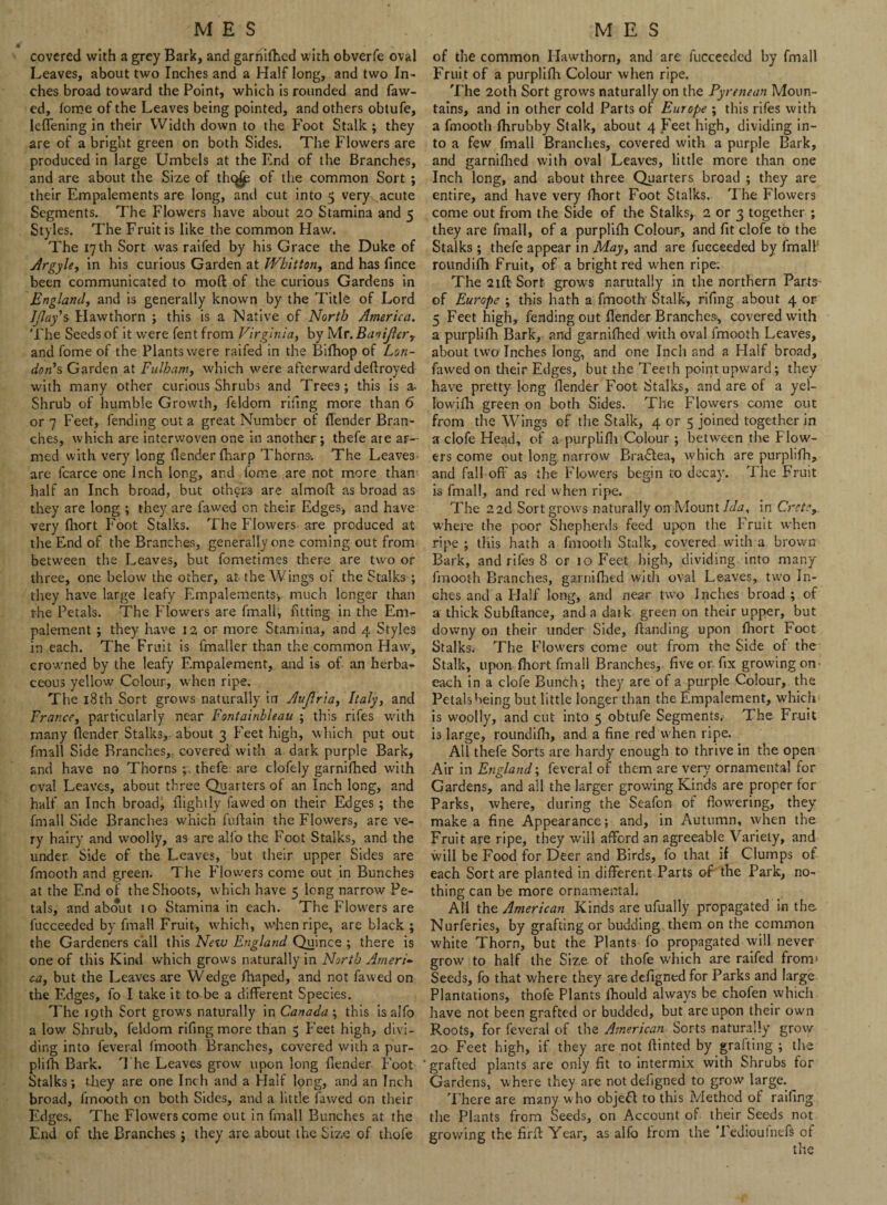 covered with a grey Bark, and garnifhed with obverfe oval Leaves, about two Inches and a Half long, and two In¬ ches broad toward the Point, which is rounded and faw- ed, tome of the Leaves being pointed, and others obtufe, leflening in their Width down to the Foot Stalk ; they are of a bright green on both Sides. The Flowers are produced in large Umbels at the End of the Branches, and are about the Size of thc^jje of the common Sort ; their Empalements are long, and cut into 5 very acute Segments. The Flowers have about 20 Stamina and 5 Styles. The Fruit is like the common Haw. The 17 th Sort was railed by his Grace the Duke of Argyle, in his curious Garden at Whitton, and has fince been communicated to mofl of the curious Gardens in England, and is generally known by the Title of Lord IJlay's Hawthorn ; this is a Native of North America. The Seeds of it were lent from Virginia, by Mr.BaniJler, and fome of the Plants were railed in the Bifhop of Lon¬ don's Garden at Fulham, which were afterward deftroyed with many other curious Shrubs and Trees; this is a. Shrub of humble Growth, feldom riling more than 6 or 7 Feet, fending out a great Number of {lender Bran¬ ches, which are interwoven one in another; thefe are ar¬ med with very long {lender fharp Thorns*. The Leaves are fcarce one Inch long, and iome are not more than half an Inch broad, but others are almofl as broad as they are long ; they are fawed on their Edges, and have very fliort Foot Stalks. The Flowers are produced at the End of the Branches, generally one coming out from between the Leaves, but fometimes there are two or three, one below the other, at the Wings of the Stalks ; they have large leafy Empalements-, much longer than the Petals. The Flowers are fmall, fitting in the Em- palement; they have 12 or more Stamina, and 4 Styles in each. The Fruit is fmailer than the common Haw, crowned by the leafy Empalement, and is of- an herba* ceous yellow Colour, when ripe. The 18th Sort grows naturally in Auflria, Italy, and France, particularly near Fontainbleau ; this rifes with many {lender Stalks, about 3 Feet high, which put out fmall Side Branches,, covered with a dark purple Bark, and have no Thorns thefe are clofely garnifhed with oval Leaves, about three Quarters of an Inch long, and half an Inch broadj flightly fawed on their Edges ; the fmall Side Branches which fuflain the Flowers, are ve¬ ry hairy and woolly, as are alfo the Foot Stalks, and the under Side of the Leaves, but their upper Sides are fmooth and green. The Flowers come out in Bunches at the End of the Shoots, which have 5 long narrow Pe¬ tals, and about 10 Stamina in each. The Flowers are fucceeded by fmall Fruit, which, when ripe, are black ; the Gardeners call this New England Quince ; there is one of this Kind which grows naturally in North Ameri¬ ca, but the Leaves are Wedge fhaped, and not fawed on the Edges, fo I take it tabe a different Species. The 19th Sort grows naturally in Canada ; this is alfo a low Shrub, feldom riling more than 5 Feet high, divi¬ ding into fevenal fmooth Branches, covered with a pur- plilh Bark. The Leaves grow upon long {lender Foot Stalks; they are one Inch and a Half long, and an Inch broad, fmooth on both Sides, and a little fawed on their Edges. The Flowers come out in fmall Bunches at the End of the Branches j they are about the Size of thofe of the common Hawthorn, and are fucceeded by fmall Fruit of a purplifh Colour when ripe. The 20th Sort grows naturally on the Pyrenean Moun¬ tains, and in other cold Parts of Europe ; this rifes with a fmooth fhrubby Stalk, about 4 Feet high, dividing in¬ to a few fmall Branches, covered with a purple Bark, and garnifhed with oval Leaves, little more than one Inch long, and about three Quarters broad ; they are entire, and have very fhort Foot Stalks. The Flowers come out from the Side of the Stalks* 2 or 3 together ; they are fmall, of a purplifh Colour, and fit clofe to the Stalks; thefe appear in May, and are fucceeded by fmall' roundifh Fruit, of a bright red when ripe. The 21ft Sort grows narutally in the northern Parts- of Europe ; this hath a fmooth' Stalk, rifing about 4 or 5 Feet high, fending out {lender Branches, covered with a purplifh Bark, and garnifhed with oval fmooth Leaves, about two Inches long, and one Inch and a Half broad, fawed on their Edges, but the Teeth point upward; they have pretty long (lender Foot Stalks, and are of a yel- Iowifh green on both Sides. The Flowers come out from the Wings of the Stalk, 4 or 5 joined together in a clofe Head, of a purplifh Colour ; between the Flow¬ ers come out long narrow BraSlea, which are purplifh, and fall off as the Flowers begin to decay. The Fruit is fmall, and red when ripe. The 2 2d Sort grows naturally on Mount Ida, in Crete, where the poor Shepherds feed upon the Fruit when ripe ; this hath a fmooth Stalk, covered with a brown Bark, and rifes 8 or 10 Feet high, dividing into many fmooth Branches, garnifhed with oval Leaves, two In¬ ches and a Flaif long, and near two Inches broad ; of a thick Subftance, and a dark green on their upper, but downy on their under Side, {landing upon fhort Foot Stalks. The Flowers come out from the Side of the Stalk, upon fhort fmall Branches, five or fix growing on- each in a clofe Bunch; they are of a purple Colour, the Petals being but little longer than the Empalement, which is woolly, and cut into 5 obtufe Segments. The Fruit is large, roundifh, and a fine red when ripe. All thefe Sorts are hardy enough to thrive in the open Air in England; feveral of them are very ornamental for Gardens, and all the larger growing Kinds are proper for Parks, where, during the Seafon of flowering, they make a fine Appearance; and, in Autumn, when the Fruit are ripe, they will afford an agreeable Variety, and will be Food for Deer and Birds, fo that if Clumps ot each Sort are planted in different Parts of the Park, no¬ thing can be more ornamental. All the American Kinds are ufually propagated in the- Nurferies, by grafting or budding them on the common white Thorn, but the Plants fo propagated will never grow to half the Size of thofe which are raifed from* Seeds, fo that where they are defigned for Parks and large Plantations, thofe Plants fhould always be chofen which have not been grafted or budded, but are upon their own Roots, for feveral of the American Sorts naturally grow 20 Feet high, if they are not ftinted by grafting ; the grafted plants are only fit to intermix with Shrubs for Gardens, where they are not defigned to grow large. There are many who object to this Method of railing the Plants from Seeds, on Account of their Seeds not growing the firff Year, as alfo from the Tedioufnefs of the