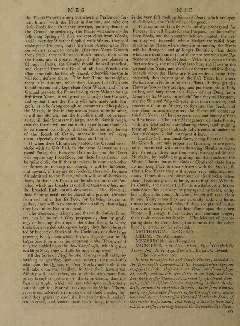 the riants Growth after; but where a Perfon can fur- nifh him felt with the Fruit in Autumn, and take out their Seeds foon after they are ripe, putting them into the Ground immediately, the Plants will come up the following Spring ; if. they are kept clean from Weeds, and in very dry Weather iupplied with Water, they will make good Progrcl's, but if thefe are planted in the Pla¬ ces where they are to remain, after two Years Growth from Seeds, they will fucceed much better, than when the Plants are of greater Age ; if they are planted in Clumps in Parks, the Ground Ihould be well trenched, and cleanled from the Roots of all bad Weeds; the Plants mull alfo be fecurely fenced, otherwife the Cattle will foon deftroy them. The bell T ime to tranfplant them is in Autumn, when their Leaves fall off; thefe fhould be conflantly kept clean from Weeds, and if the Ground between the Plants be dug every Winter for the firlT: feven Y’ears, it will greatly encourage their Growth, and by that Time the Plants will have made fuch Pro- grefs, as to be flrong enough to encounter and keep down the Weeds, fo that if they are cut twice in the Summer, it will be fufficient, but the lnclofure mull not be taken away, till their Stems are fo large, and the Bark fo rough, that the Cattle will not eat it off; their Stems fhould al- fo be trained up fo high, that the Branches may be out of the Reach of Cattle, otherwife they will crop them, efpecially thofe which have no Thorns. If when thefe Clumps are planted, the Ground be in- Glofed with an Oak Pail, in the fame Manner as that round Parks, the Fence will laft as long as the 'Frees will require any Prote£lion, but thefe Pales fhould not be quite clofe, for if they are placed fo near each other at Bottom as to keep out Hares, it will be fuificient, and upward, if they are not fo dole, there will be more Air admitted to the Plants, which will be of Service to them, fo that fuch Pales may be chofen for thefe Pur- pofes, which are broader at one End than the other, and the broadeft Ends turned downward. The Plants in thefe Clumps need not be placed at a greater Ditlance from each other than fix Feet, for by being lb near to¬ gether, they will draw one another up taller, than where they have more R.oom to fpread. The Glcifienbury Thorn, and that with double Flow¬ ers, can be no other Way propagated, than by graft¬ ing, or budding them upon the other Sorts, fo where thefe Sorts are defrrtd to grow large, they fhould be graf¬ ted or budded on Stocks of the Cockfpur, or other large growing Kind, upon which thefe will grow to a much larger Size than upon the common white Thorn, or if they are budded upon the AriaTheopbra/li, which grows to a large Size, they will alfo be much improved. All the Sorts of Mtfpilus and Cratagus will take, by budding or grafting upon each other ; they will alfo take upon the Quince, or Pear Stocks, and both thefe will take upon the Medlars, fo that thefe have great Affinity with each other, and might be with more Pro¬ priety brought together under the fame Genus, than the Pear and Apple, which will .not take upon each other ; but although the Pear will take upon the White Thorn, yet it is not advifeable to make uie of thefe Slocks, be- caufe they generally caufe the Fruit to be final!, and of¬ ten to crack, and renders their Fieih flony, fo urtlefs it is the very foft melting Kinds of Pears which are upon thefe Stocks, the Fruit will not be good. The common Hawthorn is ufually propagated for Fences; the bell Plants for this Purpofe, are thofe raifed from Seeds, and the younger thefe are planted, the bet¬ ter they will fucceed ; where Hedges are raifed from Seeds in the Places where they are to remain, the Plants will be flronger, and longer Duration, than thofe which are tranfplanted ; but there are few whohave Pa¬ tience topraSiife this Method. When the Seeds of this Sort are fown, the ufual Way is to bury the Haws in the Ground one Year, and then take them up and fow them, becaufe when the Haws are .fown without being thus prepared, they do not grow the firfb Year, but where Perfons are in Hafle to raife the Plants, if they get the Flaws as foon as they are ripe, and put them into a Tub, or Pot, and bury them in a Heap of hot Dung for a Month cr fix Weeks, in w hich Time they will ferment, and the Skin and Pulp will rot; then take them out, and macerate them in Water, to feparate the Seeds, and fow them immediately after, the Plants will come up the firfi Year, as I have experienced, and hereby a Year- will be faved. The after Management of thefe Plants, with the Method of tranfplanting them, and training them up, having been already fully treated of under the Article Hedges, I fhall not repeat it here. 1 he five tail mentioned Sorts, being Plants of hum¬ ble Growth, are only proper for Gardens, fo are gene¬ rally intermixed with other flowering Shrubs to add to the Variety; thefe aie frequently propagated in the Nurferies, by budding or grafting on the Stocks of the White Thorn ; but as the Buds or Grafts of thefe Sorts do not keep Pace in their Growth with the Stocks, fo after a few Years they will appear very unfightly, and many Times they are blown out of the Stocks, when their Heads are grown fo large, as to flop the Wind in its Courfe, and thereby the Plants are deftroyed ; fo that thefe Sorts fhould always be propagated by Seeds, or by laying down the young Branches, which will take Root in one Year, when they are carefully laid, and fome- times the Cuttings will take, if they are planted in Au¬ tumn, in a loamy Soil, and thefe Plants upon their own Roots will always thrive better, and continue longer, than thofe upon other Stocks. The Method of propa¬ gating thefe by Seeds being the fame as for the other Species, it need not be repeated. METHONICA. See Gioriofa. MEUM. See Athamanta. MEZEREON. See Thymelaea. # MICRQPUS. Lin. Gen. Plant. 892. Gnaphahdes Toarn. lnjl. R. H. 439. Tab. 2oi. Ballard Cudweed. The Characters are, It hath hermaphrodite and female Flowers, included in the fame double Empalemcnt ; ten hermaphrodite Flowers compofe the Difit ; thefe have one Petal, are Funnel-Jbap¬ ed, ereid, and cut into five Farts at the Top, and have five Jhort hrifly Stamina, terminated by cylindrical Sum¬ mits, with an obfolete Germcn fupporting a jbort jlender Style, crowned by an obfolete Stigma. In the fame Empale~ meut, are five female Flowers in the Circumferem e, which have each an oval comprejfj'ed Germen hid under the Scales of the interior Empalemcnt, each having a Style by their Side, which is btSfiiy, turning toward the hermaphrodite Flow-