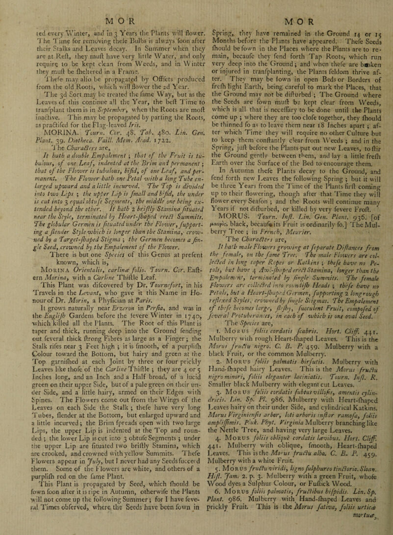 tec! every Winter, and in 3 Years the Plants will flower. The T ime for removing theie Bulbs is always Toon after thc-ir Stalks and Leaves decay. In Summer when they are at Reft, they rauft have very little Water, and only require to be kept clean from Weeds, and in Winter they muft be fheltered in a Frame. Thefe may alio be propagated by OflFfets produced from the old Roots, which will flower the 2d Year. The 3d Sort may be treated the fame Way, but as the Leaves of this continue all the Year, the belt Time to transplant them is in September, when the Roots are moft inactive. This may be propagated by parting the Roots, aspraStifed for the Flag-leaved Iris. MOR1NA. Toum. Cor. 48. Tab. 480. Lin. Gen, Plant. 39. Diotheca. Vaill. Mem. Acad. IJ22. The Characters are, It hath a double Empalemenl ; that of the Fruit is tu- bulous, of one Leaf, indented at the Brim and permanent ; that of the Flower is tubulous, bifid, of one Leaf, and per¬ manent. The Flower hath one Petal with a long Tube en¬ larged upward and a little incurved. The Top is divided into two L’ps ; the upper Lip is fnall and bifid, the under is cut into 3 equal obtufe Segments, the middle one being ex¬ tended beyond the other. It hath 2 brifly Stamina ftuated near the Style, terminated by Heart-fhaped ere Cl Summits. The globular Germenis fituated under the Flo veer, fupport- ing a fender Style which is longer than the Stamina,' crow¬ ned by a Target-ft.hoped Stigma ; the Germen becomes a Jin¬ gle Seed, crowned by the Empalement of the Flower. There is but one Species of this Genus at prefent known, which is, Morina Orientalis, carlince folio. Toum. Cor. Eaft- ern Morina, with a Carline Thiftle Leaf. This Plant was difeovered by Dr. Tournefort, in his Travels in the Levant, who gave it this Name in Ho¬ nour of Dr. Morin, a Phyftcian at Paris. It grows naturally near in Perfia, and was in the Englifh Gardens before the levere Winter in 1740, which killed all the Plants. The Root of this Plant is taper and thick, running deep into the Ground fending out feveral thick ftrong Fibres as large as a Finger; the Stalk rifes near 3 Feet high ; it is fmooth, of a purplifh Colour toward the Bottom, but hairy and green at the Top garnifhed at each Joint by three or four prickly Leaves like thofe of the Car line Thiftle ; they are 4 or 5 Indies long, and an Inch and a Half broad, of a lucid green on their upper Side, but of a pale green on their un¬ der Side, and a little hairy, armed on their Edges with Spines. The Flowers come out from the Wings of the Leaves on each Side the Stalk ; thefe have very long Tubes, {lender at the Bottom, but enlarged upward and a little incurved; the Brim fpreads open with two large Lips, the upper Lip is indented at the Top and roun¬ ded ; the lower Lip is cut into 3 obtufe Segments ; under the upper Lip are fituated two briftly Stamina, which are crooked, and crowned with yellow Summits. Thefe F lowers appear in July, but I never had any Seeds fuccerd them. Some of the F lowers are white, and others of a purplifh red on the fame Plant. This Plant is propagated by Seed, which fhould be fown foon after it is ripe in Autumn, otherwife the Plants will not come up the following Summer; for I have feve¬ ral Times obferved, where, the Seeds have been fown in Spring, they have remained in the Ground 14 or 13 Months before the Plants have appeared. Thefe Seeds fhould beiown in the Places where the Plants are to re¬ main, becaufe they fend forth Tap Roots, which run very deep into the Ground; and when thefe are barken or injured in tranfplanting, the Plants feldom thrive af¬ ter. They may be lown in open Beds or Borders of frefh light Earth, being careful to mark the Places, that the Ground may not be difturbed ; The Ground where the Seeds are fown muft be kept clear from Weeds, which is all that is neceflary to be done until the Plants come up ; where they are too clofe together, they fhould be thinned fo as to leave them near 18 Inches apart ; af¬ ter which Time they will require no other Culture but to keep them conftantly clear from Weeds ; and in the Spring, juft before the Plants put out new Leaves, toftir the Ground gently between them, and lay a little frefh Earth over the Surface of the Bed to encourage them. In Autumn thefe Plants decay to the Ground, and fend forth new Leaves the following Spring ; but it will be three Years from the Time of the Plants firft coming up to their flowering, though after that Time they will flower every Seafon ; and the Roots will continue many Years if not difturbed, or killed by very fevere Froft. MORUS. Toum. Inf. Lin. Gen. Plant. 936. [of paufo!;, black, becaufe its Fruit is ordinarily fo.] The Mul¬ berry Tree ; in French, Meurier. The Characters are. It hath male Flowers growing at feparate Difiances from the female, on the fame Tree. The male Flowers are c oi¬ led ed in long taper Ropes or Ratlins ; thefe have no Pe¬ tals, but have 4 Awl-Jhaped ereCl Stamina, longer than the Empalement, terminated by Angle Summits. The female flowers are collected into roundijb Heads ; thefe have no Petals, but a Heart-f taped Germen, fupporting 2 long rough reflexed Styles, crowned by /ingle Stigmas. The Empalement of thefe becomes large, Jl fljy, fucculent Fruit, compofed of feveral Protuberances, in each of which is one oval Seed. The Species are, 1. Morus foliis cordatis fcabris. Hort. Cliff. 441. Mulberry with rough Heart-fhaped Leaves. This is the Morus fruClu nigro. C. B. P. 459. Mulberry with a black Fruit, or the common Mulberry. 2. Morus foliis palmatis hirfutis. Mulberry with H and-fhaped hairy Leaves. This is the Morus fruClu, nigro minori, foliis eleganter laciniatis. Toum. Jnfl. R. Smaller black Mulberry with elegant cut Leaves. 3. Morus foliis cordatis fubtus villofs, ament is cylin- dricis. Lin. Sp. PI. 986. Mulberry with Heart-fhaped Leaves hairy on their under Side, and cylindrical Katkins. Morus Virgtnienfis arbor, loti arboris inflar ramofa, foliis amplijfmis. Pluk. Phyt. Virginia Mulberry branching like the Nettle Tree, and having very large Leaves. 4. Morus foliis oblique cordatis lavibus. Hort. Cliff. 441. Mulberry with oblique, fmooth, Heart-fhaped Leaves. This is the Mo’us fruClu albo. C. R. P. 459. Mulberry with a white Fruit. 5. Morus fruClu viridi, ligno fulphureo tinClorio. Sloan. Hifl. Jam. 2. p. 3. Mulberry with a green Fruit, whofe Wood dyes a Sulphur Colour, or Fuftick Wood. 6. Morus foliis palmatis, fruClibus hifpidis. Lin.Sp. Plant. 986. Mulberry with Hand-fhaped Leaves and prickly Fruit. This is the Morus fativa, foliis urtices mortuee^