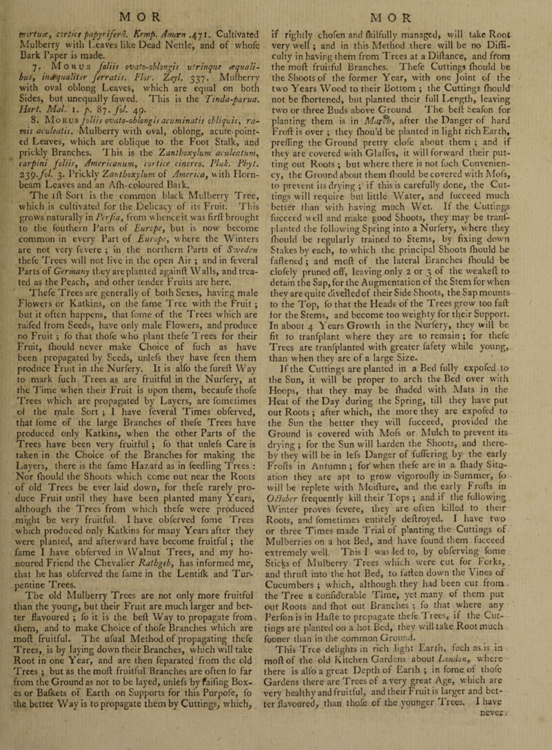 tnortua, cortice papyriferd. Kemp. Amcen .471. Cultivated Mulberry with Leaves like Dead Nettle, and of whofe Bark Paper is made. 7. Mo hus foliis ovafo-oblongis ufrinque (tquali- bus, inaqualiter ferratis. Fhr. Zeyl. 337. Mulberry with oval oblong Leaves, which are equal on both Sides, but unequally fawed. This is the Tinda-parua. llort. Mai. 1. p. 87. fol. 49. 8. Morus joliis ovato-oblongis acuminatis olliquts, ra¬ in is aculeatis. Mulberry with oval, oblong, acute-point¬ ed Leaves, which are oblique to the Foot Stalk, and prickly Branches. This is the Zantboxylum aculeatum, carpini foliis, Americanum, cortice cinereo. Flab. Fbyt. 239.f°l' 3* Prickly Zantboxylum of Ajnertca, w ith Horn¬ beam Leaves and an Afh-coloured Bark. The 1 ft Sort is the common black Mulberry Tree, which is cultivated for the Delicacy of its Fruit. 'Phis grows naturally in Per fa, from whence it was firft brought to the fouthern Parts of Europe, but is now become common in every Part of Europe, where the Winters are not very fevere ; in the northern Parts of Szvedcn thefe Trees will not live in the open Air ; and in feveral Parts of Germany they are planted againft Walls, and trea¬ ted as the Peach, and other tender Fruits are here. Thefe Trees are generally of both Sexes, having male Flowers or Katkins, on the fame Tree with the Fruit ; but it often happens, that fome of the Trees which are raifed from Seeds, have only male Flowers, and produce no Fruit ; fo that thofe who plant thefe Trees for their Fruit, fhould never make Choice of fuch as have been propagated by Seeds, unlefs they have feen them produce Fruit in the Nurfery. It is alfo the fureft Wray to mark fuch Trees as are fruitful in the Nurfery, at the Time when their Fruit is upon them, becaufe thofe Trees which are propagated by Layers, are fometimes of the niale Sort ; 1 have feveral Times obferved, that fome of the large Branches of thefe Trees have produced only Katkins, when the other Parts of the Trees have been very fruitful ; fo that unlefs Care is taken in the Choice of the Branches for making the Layers, there is the fame Hazard as in feedling Trees : Nor fhould the Shoots which come out near the Roots of old Trees be ever laid down, for thefe rarely pro¬ duce Fruit until they have been planted many Years, although the Trees from which thefe were produced might be very fruitful. I have obferved fome Trees which produced only Katkins for many Years after they were planted, and afterward have become fruitful ; the fame I have obferved in Walnut Trees, and my ho¬ noured Friend the Chevalier Rathgeb, has informed me, that he has obferved the fame in the Lentilk and Tur¬ pentine Trees. The old Mulberry Trees are not only more fruitful than the young, but their Fruit are much larger and bet¬ ter flavoured ; fo it is the beft Way to propagate from . them, and to make Choice of thofe Branches which are mod fruitful. The ufual Method of propagating thefe Trees, is by laying down their Branches, which will take Root in one Year, and are then feparated from the old Trees ; but as the mod fruitful Branches are often lo far from the Ground as not to be layed, unlefs by failing Box¬ es or Bafkets of Earth on Supports for this Purpofe, fo the better Way is to propagate them by Cuttings, which, if rightly chofen and ikilfully managed, will take Root very well ; and in this Method there will be no Diffi¬ culty in having them from Trees at a Diftance, and from the moft fruitful Branches. Thefe Cuttings fhould be the Shoots of the former Year, with one Joint of the two Years Wood to their Bottom ; the Cuttings fhould not be fhortened, but planted their full Length, leaving two or three Buds above Ground The beft beafon for planting them is in March, after the Danger of hard Froft is over ; they fhou’d be planted in light rich Earth, prefting the Ground pretty clofe about them ; and if they are covered with Glaffes, it will forward their put¬ ting out Roots ; but where there is not fuch Convenien- cy, the Ground about them fhould be covered with Mofs, to prevent its drying ; if this is carefully done, the Cut¬ tings will require but little Water, and fucceed much better than with having much Wet. If the Cuttings fucceed well and make good Shoots, they may be tranf- planted the following Spring into a Nurfery, where they fhould be regularly trained to Stems, by fixing down Stakes by each, to which the principal Shoots fhould be fattened ; and moft of the lateral Branches fhould be clofely pruned off, leaving only 2 or 3 of the weakeft to detain the Sap, for the Augmentation of the Stem for when they are quite divetted of their Side Shoots, the Sap mounts to the Top, fo that the Heads of the Trees grow too faft for the Stems, and become too weighty for their Support. In about 4 Years Growth in the Nurfery, they will be fit to tranfplant where they are to remain ; for thefe Trees are tranfplanted with greater fafety while young, than when they are of a large Size. If the Cuttings are planted in a Bed fully expofed to the Sun, it will be proper to arch the Bed over with Hoops, that they may be fhaded with Mats in the Heat of the Day during the Spring, till they have put out Roots; after which, the more they are expofed to the Sun the better they will fucceed, provided the Ground is covered with Mofs or Mulch to prevent its drying ; for the Sun will harden the Shoots, and there¬ by they will be in lefs Danger of fuffering by the early Frofts in Antumn ; for when thefe are in a fhady Situ¬ ation they are apt to grow vigorouily in Summer, fo will be replete with Mcifture, and the early Frofts in Oflaber frequently kill their Tops ; and if the following. Winter proves fevere, they are often killed to their Roots, and fometimes entirely deftroyed. I have two or three Times made Trial of planting the Cuttings of Mulberries on a hot Bed, and have found them fucceed extremely w^ell. This I was led to, by obferving fome Sticks of’Mulberry Trees which were cut for Forks, and thruft into the hot Bed, to fallen down the Vines of' Cucumbers ; which, although they had been cut from the Tree a confiderable Time, yet many of them put out Roots and fhot out Branches ; fo that where any Perfon is in Hafte to propagate thefe Trees, if the Cut¬ tings are planted on a hot Bed, they will take Root much fooner than in the common Ground. This Tree delights in rich light Earth, fuchas.is.in moft of the old Kitchen Gardens about London, where there is alfo a great Depth of Earth; in fome of thofe Gardens there are Trees of a very great Age, which are very healthy and fruitful, and their Fruit is larger and bet¬ ter flavoured, than thofe of the younger Trees. I have nevec,