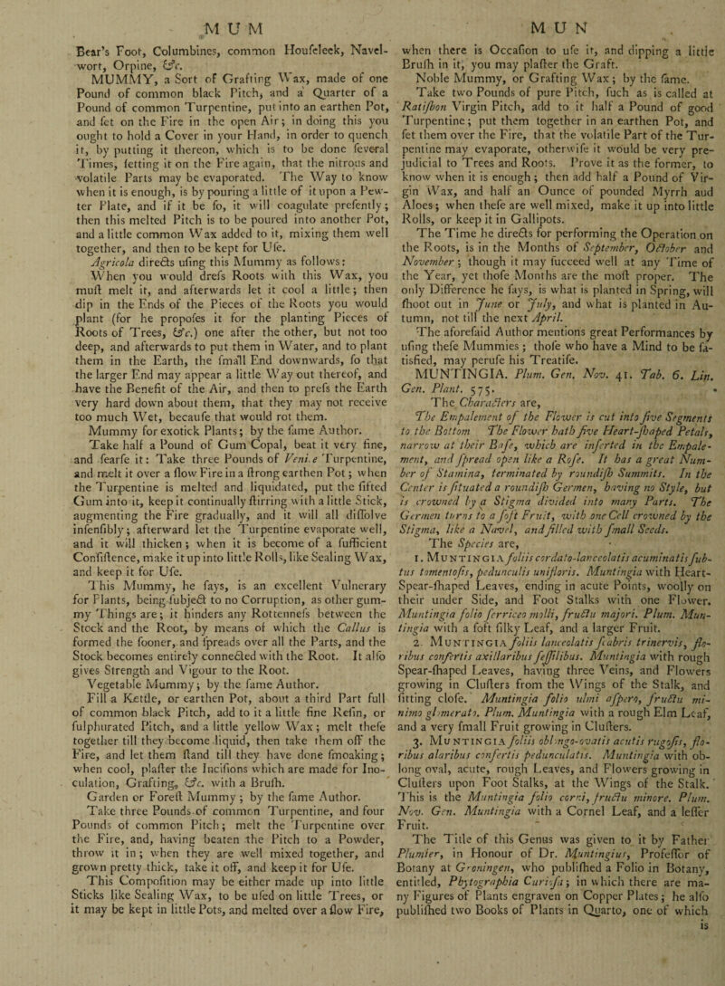 Bear’s Foot, Columbines, common Houfcleek, Navel- wort, Orpine, MUMMY, a Sort of Grafting Wax, made of one Pound of common black Pitch> and a Quarter of a Pound of common Turpentine, put into an earthen Pot, and fet on the Fire in the open Air; in doing this you ought to hold a Cover in your Hand, in order to quench it, by putting it thereon, which is to be done feve-ral Times, fetting it on the Fire again, that the nitrous and ■volatile Parts may be evaporated. The Way to know when it is enough, is by pouring a little of it upon a Pew¬ ter Plate, and if it be fo, it will coagulate prcfently ; then this melted Pitch is to be poured into another Pot, and a little common Wax added to it, mixing them well together, and then to be kept for Ufe. Agricola diredts ufing this Mummy as follows: When you would drefs Roots with this Wax, you mull; melt it, and afterwards let it cool a little; then dip in the Ends of the Pieces of the Roots you would plant (for he propofes it for the planting Pieces of Roots of Trees, (Ac.) one after the other, but not too deep, and afterwards to put them in Water, and to plant them in the Earth, the fmall End downwards, fo that the larger End may appear a little Way out thereof, and have the Benefit of the Air, and then to prefs the Earth very hard down about them, that they may not receive too much Wet, becaufe that would rot them. Mummy for exotick Plants; by the fame Author. Take half a Pound of Gum Copal, beat it very fine, and fearfe it: Take three Pounds of Venice Turpentine, and melt it over a flow Fire in a flrong earthen Pot; when the Turpentine is melted and liquidated, put the fifted Gum into it, keep it continually flirring with a little Stick, augmenting the Fire gradually, and it will all diffolve infenfibly; afterward let the Turpentine evaporate well, and it will thicken ; when it is become of a fufficient Confifience, make it up into little Rolls, like Sealing Wax, and keep it for Ufe. This Mummy, he fays, is an excellent Vulnerary for Plants, being fubjedf to no Corruption, as other gum¬ my Things are; it hinders any Rottennefs between the Stock and the Root, by means of which the Callus is formed the fooner, and fpreads over all the Parts, and the Stock becomes entirely connedted with the Root. It alfo gives Strength and Vigour to the Root. Vegetable Mummy; by the fame Author. Fill a Kettle, or earthen Pot, about a third Part full of common black Pitch, add to it a little fine Refin, or fulphurated Pitch, and a little yellow Wax; melt thefe together till they become liquid, then take them off the Fire, and let them Hand till they have done fmoaking; when cool, plafler the Incifions which are made for Ino¬ culation, Grafting, &c. with a Brufh. Garden or Forett Mummy ; by the fame Author. Take three Pounds of common Turpentine, and four Pounds of common Pitch; melt the Turpentine over the Fire, and, having beaten the Pitch to a Powder, throw it in ; when they are well mixed together, and grown pretty thick, take it off, and keep it for Ufe. This Compofition may be either made up into little Sticks like Sealing Wax, to be ufed on little Trees, or it may be kept in little Pots, and melted over a flow Fire, when there is Occafion to ufe it, and dipping a little Brufh in it, you may plafler the Graft. Noble Mummy, or Grafting Wax; by the fame. Take two Pounds of pure Pitch, fuch as is called at Ratijhon Virgin Pitch, add to it half a Pound of good Turpentine; put them together in an earthen Pot, and fet them over the Fire, that the volatile Part of the Tur¬ pentine may evaporate, otherwife it would be very pre¬ judicial to Trees and Roots. Prove it as the former, to know when it is enough; then add half a Pound of Vir¬ gin Wax, and half an Ounce of pounded Myrrh aud Aloes; when thefe are well mixed, make it up into little Rolls, or keep it in Gallipots. The Time he directs for performing the Operation on the Roots, is in the Months of September, October and November; though it may fucceed w'ell at any Time of the Year, yet thofe Months are the moft proper. The only Difference he fays, is what is planted in Spring, will fhoot out in June or July, and what is planted in Au¬ tumn, not till the next April. The aforefaid Author mentions great Performances by ufing thefe Mummies ; thofe who have a Mind to be fa- tisfied, may perufe his Treatife. MUNTINGIA. Plum. Gen. Nov. 41. Tab. 6. Lin. Gen. Plant. 575. « The Characters are, The Empale merit oj the Flower is cut into Jive Segments to the Bottom The Flower hath Jive Heart-Jhaped Petals, narrow at their Bafe, which are inferted in the Empale- merit, and J'pread open like a Rofe. It has a great Num¬ ber of Stamina, terminated by roundijh Summits. In the Center is frtuated a roundijh Germen, having no Style, but is crowned by a Stigma divided into many Parts. The Germen turns to a foft Fruit, with one Cell crowned by the Stigma, like a Navel, andjillcd with fmall Seeds. The Species are, 1. Muntingiafoliiscordato-lanceolatisacuminatis fub- tus tomentofis, pedunculis unifloris. Muntingia with Heart- Spear-fhaped Leaves, ending in acute Points, woolly on their under Side, and Foot Stalks with one Flower. Muntingia folio ferriceo molli, fruCJu majori. Plum. Mun¬ tingia with a foft filky Leaf, and a larger Fruit. 2. Muntingia foliis lanceolatis fcabris trinervis, Jlo- ribus confertis axillaribus fejfilibus. Muntingia with rough Spear-fhaped Leaves, having three Veins, and Flowers growing in Clutters from the Wings of the Stalk, and fitting clofe. Muntingia folio ulmi afpern, frudu mi¬ nima ghmerato. Plum. Muntingia with a rough Elm Leaf, and a very fmall Fruit growing in Clutters. 3. Mu NTINGIA foliis oblmgo-ovatis acutis rugojis, jlo- ribus alaribus confertis pedunculatis. Muntingia with ob¬ long oval, acute, rough Leaves, and Flowers growing in Clutters upon Foot Stalks, at the Wings of the Stalk. ‘ This is the Muntingia folio corr.i, JruCiu minore. Plum. Nov. Gen. Muntingia with a Cornel Leaf, and a letter Fruit. The Title of this Genus was given to it by Father Plumier, in Honour of Dr. Muntingiur, Profeffor of Botany at Groningen, who publifhed a Folio in Botany, entitled, Pbytograpbia Curifa; in which there are ma¬ ny Figures of Plants engraven on Copper Plates; he alfo publifhed two Books of Plants in Quarto, one of which is