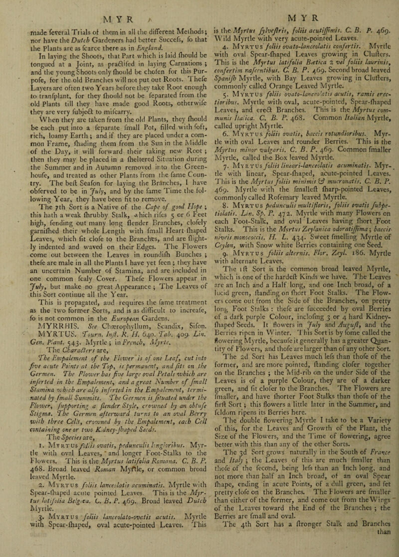 made feveral Trials of them in all the different Methods; nor have the Dutch Gardeners had better Succefs, fo that the Plants are as fcarce there as in England. In laying the Shoots, that Part which is laid fhould be tongued at a Joint, as praflifed in laying Carnations ; and the young Shoots only fhould be chofen for this Pur- pofe, for the old Branches will not put out Roots. Thefe Layers are often two Years before they take Root enough to tranfplant, for they fhould not be feparated from the old Plants till they have made good Roots, otherwife they are very fubje£l to mifcarry. When they are taken from the old Plants, they fhould be each put into a feparate fmall Pot, filled with foft, rich, loamy Earth ; and if they are placed under a com¬ mon Frame, fhading them from the Sun in the Middle of the Day, it will forward their taking new Root ; then they may be placed in a fheltered Situation during the Summer and in Autumn removed into the Green- houfe, and treated as other Plants from the fame Coun¬ try. The beff; Seafon for laying the Branches, l have obferved to be in July, and by the fame Time the fol¬ lowing Year, they have been fit to remove. The 7th Sort is a Native of the Cape of good Hope ; this hath a weak fhrubby Stalk, which rifes 5 or 6 Feet high, fending out many long (lender Branches, clofely garnifhed their whole Length with fmall Heart fhaped Leaves, which fit clofe to the Branches, and are (light¬ ly indented and waved on their Edges. The Flowers come out between the Leaves in roundifh Bunches ; thefe are male in all the Plants I have yet fecn ; they have an uncertain Number of Stamina, and are included in one common fcaly Cover. Thefe Flowers appear in July, but make no great Appearance ; The Leaves of this Sort continue all the Year. This is propagated, aud requires the fame treatment as the two former Sorts, and is as difficult to increafe, fo is not common in the European Gardens. JVIYRRHIS. See Chrerophyllum, Scandix, Sifon. MYRTUS. Tourn. Injl. R. H. 640. 7ah. 409. Lin. Gen. Plant. 543. Myrtle; in French, Afyrte. The Characters are, The Empalement of the Viewer is of one Leaf, cut into five acute Points at the Top, is permanent, and fits on the Germen. The Flower has fve large oval Petals which are injerted in the Empalement, and a great Number of fmall Stamina which are alfo inferted in the Empalement, termi¬ nated by fmall Summits. The Germen is Jituated under the Flower, fupporting a fender Style, crowned by an obtufe Stigma. The Germen afterward turns to an oval Berry with three Cells, crowned by the Empalement, each Cell containing one or two K.dncy-Jhapcd Seeds. The Species are, 1. My RTUsyi/;/V ovatis, pedunculis hngioribus. Myr¬ tle with oval Leaves,' and longer Foot-Stalks to the Flowers. This is the Myrtus latifolia Rornana. C. B. P. 468. Broad leaved Roman Myftle, or common broad leaved Myrtle. 2. Myrtus foliis lance olatls acuminatis. Myrtle with Spear-lhaped acute pointed Leaves. This is the Myr¬ tus latifolia Belgtca. C. B. P. 469. Broad leaved Dutch Myrtle. 3. Myrtus foliis lanceolato-ovctis acutis. Myrtle with Spear-(haped, oval acute-pointed Leaves. This is the Myrtus fylvefris, foliis acutiffmis. C. B. P. 469. Wild Myrtle with very acute-pointed Leaves. 4. Myrtus foliis ovato-lanceolatis confertis. Myrtle with oval Spear-lhaped Leaves growing in Clutters. This is the Myrtus latifolia Bcetica 2 vel foliis laurinis, confertim nafeentibus. C. B. P. 469. Second broad leaved Spanifi Myrtle, with Bay Leaves growing in Clutters, commonly called Orange Leaved Myrtle. 5. Myrtus foliis ovato-lanceolatis acutis, ramis erec- tioribus. Myrtle with oval, acute-pointed, Spear-lhaped Leaves, and ere<5t Branches. This is the Myrtus com¬ munis Itatica. C. B. P. 468. Common Italian Myrtle, called upright Myrtle. 6. Myrtus foliis ovatis, baccis rotundioribus. Myr¬ tle with oval Leaves and rounder Berries. This is the Myrtus minor vulgaris. C. B. P. 469. Common fmaller Myrtle, called the Box leaved Myrtle. 7. My rtus foliis lineari-lanceolatis acuminatis. Myr¬ tle with linear, Spear-fhaped, adute-pointed Leaves. This is the Myrtus foliis minimis C? mucronatis. C. B. P. 469. Myrtle with the (mailed: (harp-pointed Leaves, commonly called Rofemary leaved Myrtle. 8. Myrtus pedunculis mult if oris, foliis ovatis fubpe- tioiatis. Lin. Sp. P. 472. Myrtle with many Flowers on each FYot-Stalk, and oval Leaves having (hort Foot Stalks. This is the Myrtus Zeylanica odor at iffma • baccis- niveis monococcis. H. L. 434. Sweet fmelling Myrtle of Ceylon, with Snow white Berries containing one Seed. 9. Myrtus foliis alternis. Flor. Zeyl. 186. Myrtle with alternate Leaves. The ift Sort is the common broad leaved Myrtle, which is one of the hardeft Kinds we have. The Leaves are an Inch and a Half long, and one Inch broad, of a lucid green, (landing on fhort Foot Stalks. The Flow¬ ers cOme out from the Side of the Branches, on pretty long Foot Stalks : thefe are fucceeded by oval Berries of a dark purple Colour, inclofing 3 or 4 hard Kidney- fhaped Seeds. It flowers in July and Auguf, and the Berries ripen in Winter. This Sort is byfome called the flowering Myrtle, becaufeit generally has a greater Quan¬ tity of Flowers, and thofe are larger than of any other Sort. The 2d Sort has Leaves much lefs than thofe of the former, and are more pointed, Handing clofer together on the Branches ; the Mid-rib on the under Side of the Leaves is of a purple Colour, they are of a darker green, and fit clofer to the Branches. The Flowers are (mailer, and have fhorter Foot Stalks than thofe of the firtt Sort; this flowers a little later in the Summer, and ftldom ripens its Berries here. The double flowering Myrtle I take to be a Variety of this, for the Leaves and Growth of the Plant, the Size of the Flowers, and the Time of flowering, agree better with this than any of the other Sorts. The 3d Sort grows naturally in the South of France and Italy ; the Leaves of this are much fmaller than thofe of the fecond, being lefs than an Inch long, and not more than half an Inch broad, of an oval Spear (hape, ending in acute Point3, of a dull green, and fet pretty clofe on the Branches. The Flowers are fmaller than either of the former, and come out from the Wings  of the Leaves toward the End of the Branches ; the Berries are fmall and oval. The 4th Sort has a ttronger Stalk and Branches than