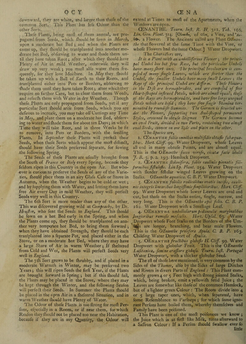 downward, they are white, and larger than thofe of the common Sort. This Plant has lels Odour than the other Sorts. Thefe Plants, being moll of them annual, are pro¬ pagated from Seeds, which fhould he Town in March, upon a moderate hot Bed ; and when the Plants are come up, they fhould be tranlplanted into another mo¬ derate hot Bed, obferving to water and fhade them un¬ til they have taken Root; after which they fhould have Plenty of Air in mild Weather, otherwife they will draw up very weak ; you mud; alfo water them fre¬ quently, for they love Moidure. In May they fhould be taken up with a Ball of Earth to their Roots, and tranlplanted either into Pots or Borders, obferving to fhade them until they have taken Root; alter which they require no farther Care, but to clear them from Weeds, and refrefh them with Water in dry Weather. Though thefe Plants are only propagated from Seeds, yet if any particular Sort fhould arife from Seeds, which you are defirous to increafe, you may take off Cuttings any Time in May, and plant them on a moderate hot Bed, obferv¬ ing to water and fhade them for about ten Days; in which Time they will take Root, and in three Weeks be fit to remove, into Pots or Borders, with the feediing Plants. In September thefe Plants will perfedl their Seeds, when thofe Sorts which appear the mod diflindl, fhould have their Seeds preferved feparate, for fowing the following Spring. The Seeds of thefe Plants are ufually brought from the South of France or Italy every Spring, becaufe they feldom ripen in this Country in the open Air. But who¬ ever is curious to preferve the Seeds of any of the Varie¬ ties, fhould place them in an airy Glafs Cafe or Stove in Autumn, when the Weather begins to be cold or wet ; and by fupplying them with Water, and letting them have free Air every Day in mild Weather, they will perfedt Seeds very well in this Country. The 6th Sort is more tender than any of the other. This was difcovered growing wild at Campeachy, by Dr. Houflon, who fent the Seeds to England. This fhould be fown on a hot Bed early in the Spring, and when the Plants come up, they fhould be tranfplanted on ano¬ ther very temperate hot Bed, to bring them forward ; when they have obtained Strength, they fhould be each tranfplanted into a feparate Pot, and placed either in the Stove, or on a moderate hot Bed, where they may have a large Share of Air in warm Weather; If fheltered from Cold and Wet, the Plants will perfect Seeds very •well in England. The 7 th Sort grows to be fhrubby, and if placed in a moderate Warmth in Winter, may be preferved two Years ; this will ripen Seeds the firfl Year, if the Plants are brought forward in Spring ; but if this fhould fail, the Plants may be placed in the Stove, where they mav be kept through the Winter, and the following Seafon will perfect their Seeds. In Summer the Plants fhould be placed in the open Air in a fheltered Situation, and in warm Weather fhould have Plenty of Water. The Odour of thefe Plants is too ftrong for mofl Per- fons, efpecially in a Room, or if near them, for which Reafon they fhould not be placed too near the Habitation, becaufe if they are in auy Quantity, the Odour will extend at Times to mofl of the Apartments, when the Windows are open. CENANTHE. Tourn. lnjl. R. H. 312. Tab. t66. Lin. Gen. Plant. 314. [Olp»v6tt, of Om?, a Vine, and *a»- . 6^*, a Flower. The Ancients called any Plant OEnan- the that flowered at the fame Time with the Vine, or whofe Flowers had the fame Odour.] Water Dropwort. The Characters are, It is a Plant with an umbelliferous Flower ; the princi¬ pal Umbel has but few Rays, but the particular Umbels have many fort ones. 7 he principal Involucr um is com- pcfed of many Jingle Leaves, which are jhorter than the Umbel, the Jmailer Umbels have many [mall Leaves ; the Rays of the principal Umbel are diform. Thofe Flowers in the Difk are hermaphrodite, and are compofed of Jive Hea't-Jhaped infexed Petals, which are almofl equal; thofe of the Rays are hermaphrodite, and have five large unequal Petals which are bifid ; they have five (ingle Stamina ter¬ minated by roundijh Summits. The Germen is fituated un¬ der the Flower, fupporting two Awl-Jhaped permanent Styles, crowned by obtufe Stigmas The Germen becomes an oval Fruit, divided in two Parts, containing two almoji oval Seeds, convex on one Side and plain on the other. The Species are, 1. CEnanthe foliis omnibus multifidis obtufis fubeequa- libui. Hort. Clifi'. 99. Water Dropwort, whofe Leaves all end in many obtufe Points, and are almofl: equal. This is the OEnanthe fucco virofo, cicutee facie lobelii f. B. 3. p. 2. 193. Hemlock Dropwort. 2. CEntanthk flolonifera, foliis caulinis pinnatis fili- formibus ffulofis. Lin Sp. Plant. 254. Water Dropwort with (lender fiflular winged Leaves growing on the Stalks. OEnanthe aquatic a. C. B.P. Water Dropwort. 3. CEn ANTHE foliolis radicalihus ovatis incifis, cauli¬ nis integris linearibus longiffimisftrnplicioribus. Hort. Cliff. 99. Water Dropwort whofe lower Leaves are oval and cut, but thofe on the Stalks entire, fingle, narrow, and very long. This is the OEnanthe apii folio. C. B. P. 162. Water Dropwort with a Smallage Leaf. 4. OEnanthe umbellularumpedunculis marginalibus Jongioribus ramofis mafeulis. Hort. Upfal. 63. Water Dropwort whofe Foot Stalks on the Borders of the Um¬ bels are longer, branching, and bear male Flowers. This is the OEnanthe prolifer a Apula. C. B. P. 163. Childing Water Dropwort of Apulia. 5. OEnanthe fruclibus globofis H. Cliff. 99. Water Dropwort with globular Fruit. This is the OEnanthe Lufitanica, fetnine craffiore globofo. Tourn. Infi. Portugal Water Dropwort, with a thicker globular Seed. The ift of thofe here mentioned, is very common by the Sides of the Thames, alfo by the Sides of large Ditches and Rivers in divers Parts of England : This Plant com- monly grows 4 or 5 Feet high with flrong jointed Stalks, which, being broken, emit ayellowifh fetid Juice; the Leaves are fomewhat like thofe of the common Hemlock, but of a lighter green Colour : The Roots divide into 4 or 5 large taper ones, which, when feparated, have fome Refemblance to Parfneps; for which fome igno¬ rant Perfons have boiled them, whereby themfelves and Family have been poifoned. This Plant is one of the mofl poifonous we know ; the Juice which is at firfl like Milk, turns afterward to a Saffron Colour: If a Perfon fhould fwallow ever fb little
