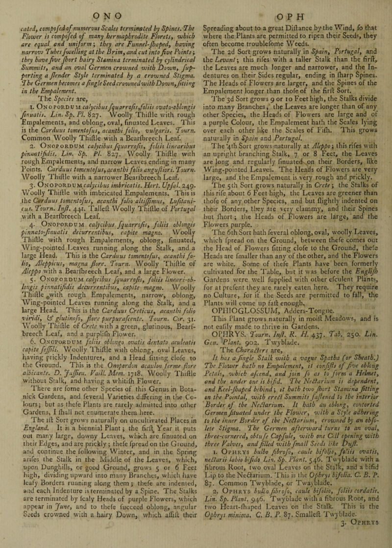 cated, compofedof numerous Scales terminated by Spines. Tbs Flower is compofed of many hermaphrodite Florets, which are equal and uniform ; they are Funnel-fhaped, having narrovj Tubes fwelling at the Brim, and cut into five Points; they have five fhort hairy Stamina terminated by cylindrical Summits, and an oval Gennen crowned with Down, fup¬ per ting a Jlender Style terminated by a crowned Stigma. The Germen becomes a /ingle Seedcrownedwith Down ,fitting in the Empalement. The Species are, 1. Onopordum calycibus fquarrofisfoliis ovato-oblongis finuatis. Lin. Sp. PI. 827. Woolly Thifile with rough Empalements, and oblong, oval, finuated Leaves. This is the Carduus tomentofus, acanthi folio, vulgaris. Town. Common Woolly Thifile with a Bearfbreech Leaf. 2. Onopordum calycibus fquarrofis, feliis linearibus pinuatifidis. Lin. Sp. Pi. 827. Woolly Thidle with rough Empalements, and narrow Leaves ending in many Points. Carduus tomentofus, acanthi folio angufiiori. Tourn. Woolly Thidle with a narrower Bearfbreech Leaf. 3. Onopordumcalycibus imbricatis. Hcrt. Upfal. 249. Woolly Thidle with imbricated Empalements. This is the Carduus tomentofus, acanthi folio altiffimus, Lufitani- cus. Tourn. Infi. 441. Tailed Woolly Thidle of Portugal with a Bearfbreech Leaf. 4. Onopordum calycibus fquarrofis, foliis oblongis pinnato-finuatis decurrentibus, capite magno. Woolly Thidle with rough Empalements, oblong, finuated, Wing-pointed Leaves running along the Stalk, and a large Head. This is the Carduus tomentofus, acanthi fo¬ lio, Aleppicus, magna flore. Tourn. Woolly Thidle of Aleppo with a Bearfbreech Leaf, and a large Flower. 5. Onopordum calycibus fquarrofis, foliis lineari-ob- longis pinnatifidis decurrentibus, capite magno. Woolly Thidle ewith rough Empalements, narrow, oblong. Wing-pointed Leaves running along the Stalk, and a large Head. This is the Carduus Creticus, acanthi folio viridi, &' glutinofo, fiore purpurafeente. Tourn. Cor. 31. Woolly 'Thidle of Crete with a green, glutinous, Bearf¬ breech Leaf, and a purp'ifn Flower. 6. Onopordum foliis oblongo ovatis dent at 0 aculeatis capite feffili. Woolly Thidle with oblong, oval Leaves, having prickly Indentures, and a Head fitting clofe to the Ground. This is the Onopordon acaulon ferine flore albicante. D. fujjieu. Vaill. Mem. 1718. Woolly Thidle without Stalk, and having a vvhitifh Flower. There are fome other Species of this Genus in Bota- mck Gardens, and feveral Varieties differing in the Co¬ lours; but as thefe Plants are rarely admitted into other Gardens, I fliall not enumerate them here. The id Sort grows naturally on uncultivated Places in England. It is a biennial Plant; the firfl Year it puts out many large, downy Leaves, which are finuated on their Edges, and are prickly ; thefe fpread on the Ground, and continue the following Winter, and in the Spring arifes the Stalk in the Middle of the Leaves, which, upon Dunghills, or good Ground, grows 5 or 6 Feet high, dividing upward into many Branches, which have leafy Borders running along them ; thefe are indented, and each Indenture is terminated by a Spine. The Stalks are terminated by fcaly Heads of purple Flowers, which appear in June, and to thefe fucceed oblong, angular S.-eds crowned with a hairy Down, which affiil their Spreading about to a great Difiance by the Wind, fo that where the Plants are permitted to ripen their Seeds, they often become troublefome Weeds. The 2d Sort grows naturally in Spain, Portugal, and thes Levant-, this rifes with a taller Stalk than the firft, the Leaves are much longer and narrower, and the In¬ dentures on their Sides regular, ending in fharp Spines. The Heads of Flowers are larger, and the Spines of the Empalement longer than thofeof the firfi Sort. 'The 3d Sort grows 9 or 10 Feet high, the Stalks divide into many Branches, the Leaves are longer than of any other Species, the Heads of Flowers are large and of a purple Colour, the Empalement hath the Scales lying over each other like the Scales of Fifh. This grows naturally in Spain and Portugal. The'4th Sort grows naturally at Aleppo', this rifes with an upright branching Stalk, 7 or 8 Feet, the Leaves are long and regularly finuated on their Borders, like Wing-pointed Leaves. The Pleads of Flowers are very large, and the Empalement is very rough and prickly. The 5 th Sort grows naturally in Crete; the Stalks of this rife about 6 Feet high, the Leaves are greener than thofe of any other Species, and but flightly indented on their Borders, they are very clammy, and their Spines but fhort; the Heads of Flowers are large, and the Flowers purple. The 6th Sort hath feveral oblong, oval, woolly Leaves, which fpread on the Ground, between thefe comes out the Head of Floweis fitting clofe to the Ground, thefe Heads are fmaller than any of the other, and the Flowers are white. Some of thefe Plants have been formerly cultivated for the Table, but it w'as before the Englijh Gardens were well fupplied with other efculent Plants, for at prefent they are rarely eaten here. They require no Culture, for if the Seeds are permitted to fall, the Plants will come up fall enough. OPHfOGLOSSUM, Adders-Tongue. This Plant grows naturally in moift Meadows, and is not eafdy made to thrive in Gardens. OPHRYS. Tourn. Infi. R. H. 437. Tab. 250. Lin. Gen. Plant. 902. Twyblade. The Charatiers are. It has a fingle Stalk with a vague Spatba (or Sheath.) The Flower bath no Empalement, it confifis of five oblong Petals, which afeend, and join fo as to form a Helmet, and the under one is bifid. I he Nettarium is dependent, and Keel-Jhaped behind,; it hath two fhort Stamina fitting on the Pointal, with ere A Summits fajlened to the interior Border of the Netlarium. It hath au oblong, contorted Germen fituated under the Flower, with a Style adhering to the inner Border of the Nettarium, crowned by an obfio- lete Stigma. The Germen afterward turns to an oval, three-cornered, obtufe Capfule, with one Cell opening with three Valves, and filled with fmall Seeds like Dufi. 1. Ophrys bulbo fibrofo, caule bifoljo, foliis ovatis, netiarii labio bifido Lin. Sp. Plant. 546. Twyblade with a fibrous Root, two oval Leaves on the Stalk, and a bifid Lip to the NeiSIarium. This is tiie Ophrys bifolia. C. B. P. 87. Common Twyblade, or Twayblade. 2. Ophrys hullo.fibrofo, caule bifolio, foliis ccrdatis. Lin. Sp. Plant. 946. Twyblade with a fibrous Root, and two Pleart-fhaped Leaves on the Stalk. This is the Ophrys minima, C. B. P. 87. Smalleft Twyblade.
