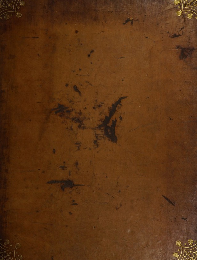 digitised image 1