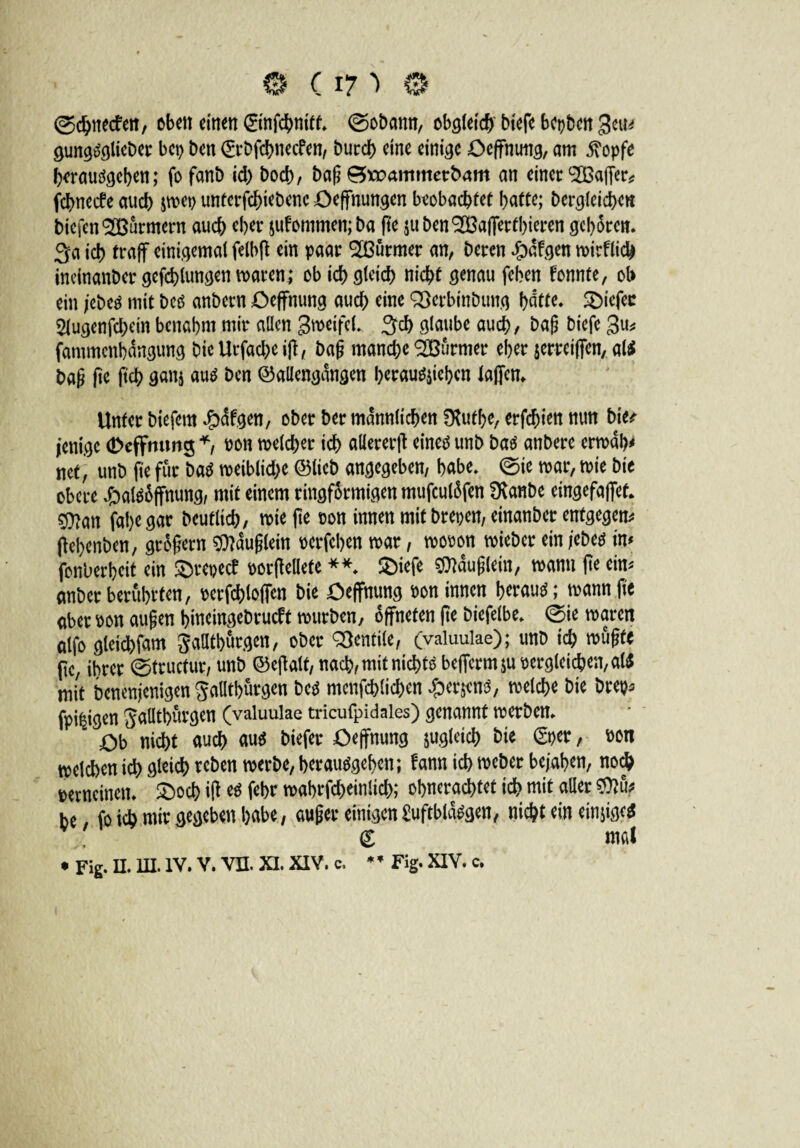 ©chnecfen, eben einen ©nfchntff. ©obann, obgleich biefc bcpbcn gungSglieber bct> ben ©bfchnecfen, burch eine einige Oeffmmg, am $opfe berauschen; fo fanb id) bocb, bag Broammerbam an einer Raffer* fcbnecfe auch jmep unterfchiebene Oeffnungen beobachtet hafte; begleichen biefenSlBurmern auch eher jufommen; ba ge juben^Bafferthieren gehören. 3a ich traff einigemal felbfl ein paar $ßürmer an, beren #dfgen roirflid# ineinanber gefchlungen mären; ob ich gleich nicht genau fchen fonnfe, ob ein jebes mit bes anbern Oeffnung auch eine 3>erbinbung hätte. tiefer 5lugenfd;ein benahm mir allen Steife!. 3d) glaube auch, bag biefe fammcnhdngung bic Urfache iff, bag manche SBürmer eher jerreiffen, als bag ge ftch gan$ aus ben ©allengdngen !>crau^ic!>cn laffen* Unter biefetn #afgen, ober ber männlichen Dfuthe, erfchien nun bitt jenige (Deffnung *, bon meldjer ich aHererff eines unb bas anbere ermdh* net, unb ge für baS meiblidje ©lieb angegeben, habe* @ie mar, mie bie obere J&alSöffnung, mit einem ringförmigen mufculöfen SXanbe etngefaffef. sj^an fahegar beutlich, mie ge bon innen mit brepen, einanber entgegen Oehenben, grögern $}auglein berfehen mar, mobon mieber ein jebes in* fonberheit ein 3)repetf borgellete **. Sbiefe Häuflein, mann fte ein* anber beruhten, bcrfchloffen bie Oeffnung bon innen herauf; mann ge aber bon äugen bineingebrueft mürben, öffneten ge biefelbe. @ie maren alfo gleid)fam Jallthurgen, ober Ventile, (valuulae); unb ich mügte ge, ihrer 0trucfur, unb ©egalt, nach, mit nichts beffermju begleichen, als mit benenjenigen Saüthurgen bes menfchlichen ^erjens, meld>e bie brep* fpi^ig^n Jaüthuvgen (valuulae tricufpidaies) genannt merben. Ob nicht auch aus biefer Oeffnung ^gleich bie ©er, bon mclcbenich gleich teben merbe,herausgehen; fann ich meber bejahen, noch berneinen. £)och ig es febr mabrfd)einlid); ohnerachtet ich mit aller be fo icb mir gegeben habe, auger einigen £uftbldsgen, nicht ein einziges d mal • Fig. U. 1ILIV. V. vn. XI. XIV. c, * * Fig. XIV. c.