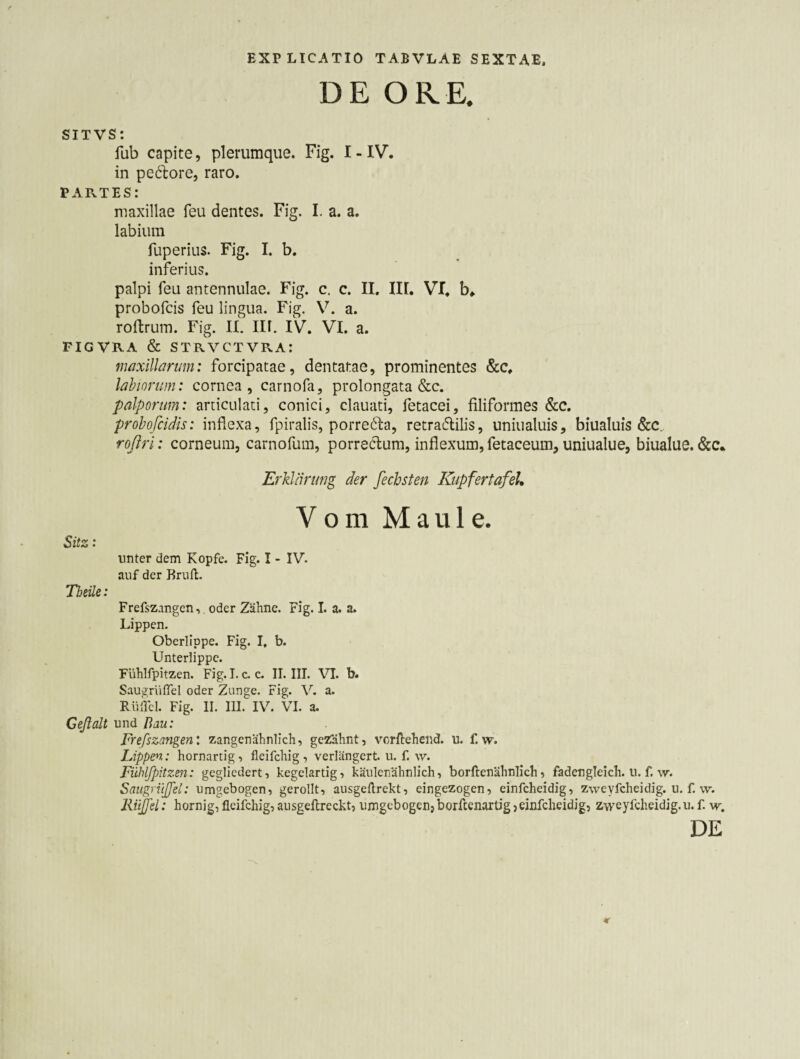 DE ORE. SITVS: fub capite, plerumque. Fig. I-IV. in pedore, raro. PARTES: maxillae feu dentes. Fig. I. a. a. labium fuperius. Fig. I. b. inferius. palpi feu antennulae. Fig. c. c. II. III. VI. b^ probofcis feu lingua. Fig, V. a. roftrum. Fig. II. IIl. iV. VI. a. FIGVRA & STRVCTVRA: maxilkrmn: forcipatae, dentatae, prominentes &c. hhiorum: cornea, carnofa, prolongata &c. palporum: articulati, conici, clauati, fetacei, filiformes &c. prohofcidis: inflexa, fpiralis, porreda, retradilis, uniualuis, biualuis &c. roßri: corneum, carnofum, porredum, inflexum, fetaceum, uniualue, biualue. ErWdntng der fechsten KupfertafeU Vom Maule. Sitz: unter dem Kopfe. Fig. I - IV. auf der Rruft. Tbeüe: Frefszangen, oder Zähne. Fig. I. a. a. Lippen. Oberlippe. Fig. I, b. Unterlippe. FUhlfpitzen. Fig. I. c. c. II. III. VI. b. Saugrüffel oder Zunge. Fig. V. a. Rüffel. Fig. II. 111. IV. VI. a. Ceßalt und Bau: Frefszangen: zangenähnlich, gezahnt, vergehend, u. f.w. Lippen: hornartig, fleifchig, verlängert, u. f. \v. FUhlfpitzen: gegliedert, kegelartig, käulenähnlich, borftenähnlich, fadengleich, u. f. w. Saugritfel: iimgebogen, gerollt, aiisgellrekt, eingezogen, einfeheidig, zweyfeheidig. u. f. w. Riffel: hornig,fleifchig,aiisgeftreckt, iimgebogen}borRenartig)einfeheidig, zweyfeheidig.u.f. w,