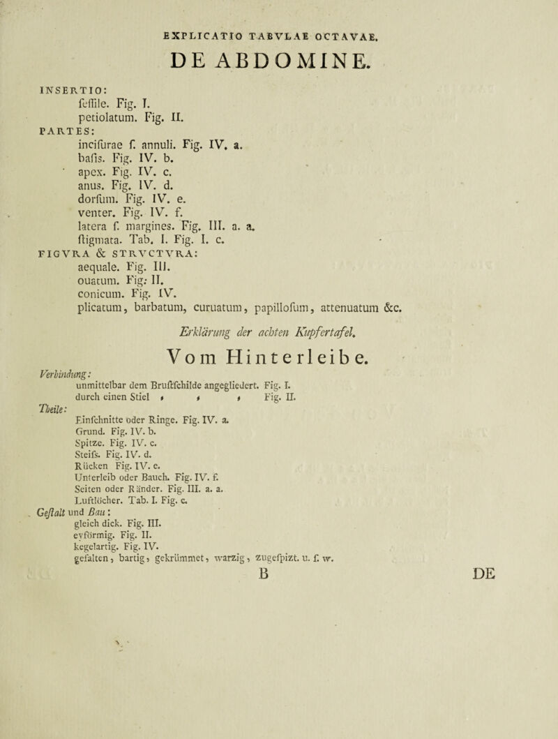 DE ABDOMINE. INSEPvTIO: fcflile. Fig. I. petiolatum. Fig. II. PARTES: incifurae f. annuli. Fig. IV, a. bafis. Fig. IV. b. ' apex. Fig. IV. c. anus. Fig. IV. d. dorfum. Fig. IV. e. venter. Fig. IV. f. latera f. margines. Fig. III. a. a, fligmata. Tab. I. Fig. I. c. FIGVRA & STRVCTVRA: aequale. Fig. lil. ouatum. Fig; II. conicum. Fig. IV. plicatum, barbatum, curuatum, papillofum, attenuatum &:c. Erklärung der achten Kiipfertafek Vom H i n t e r 1 e i b e. Verbindung: unmittelbar dem Bruftfchilde angegliedcrt. Fig. I. durch einen Stiel * t $ Fig. II. Theile: Finfchnitte oder Ringe. Fig. IV. a. Grund. Fig. IV. b. Spitze. Fig. IV. c. Steifs. Fig. IV. d. Rucken Fig. IV. e. Unterleib oder Bauch. Fig. IV. f. Seiten oder R ander. Fig. III. a. a. Luftlöcher. Tab. I. Fig. c. , Geßalt und ßaii: gleich dick. Fig. IIT. eyförmig. Fig. II. kegelartig. Fig. IV. gefalten, bärtig? gekrümmet, warzig, zugefpizt. u. f. w. B DE