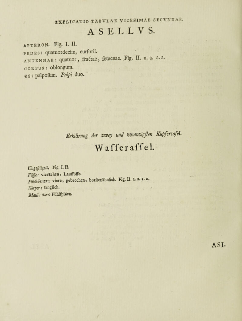 A S E L L V S. apteron. Fig. I. II. PEDES: quatuordeciin, curforii. antennae: quatupr, fradtae, fetaceae. .Fig. II. a. a. a. a. CORPUS: oblongum. 0 s: palpofum. Falpi duo. Erklärung der %wey und zivanzigßen Kupfertafel W affer affel. Vngefli^elU Fig. 1.11. fujje: vierzehen, Lauffüffe. ftihihÖrn^Tl viere, gebrochen, borflenahnlich. Fig. II. a. a. a. a. Körper: länglich. , . Maul: iwo Fühlfpiaen.