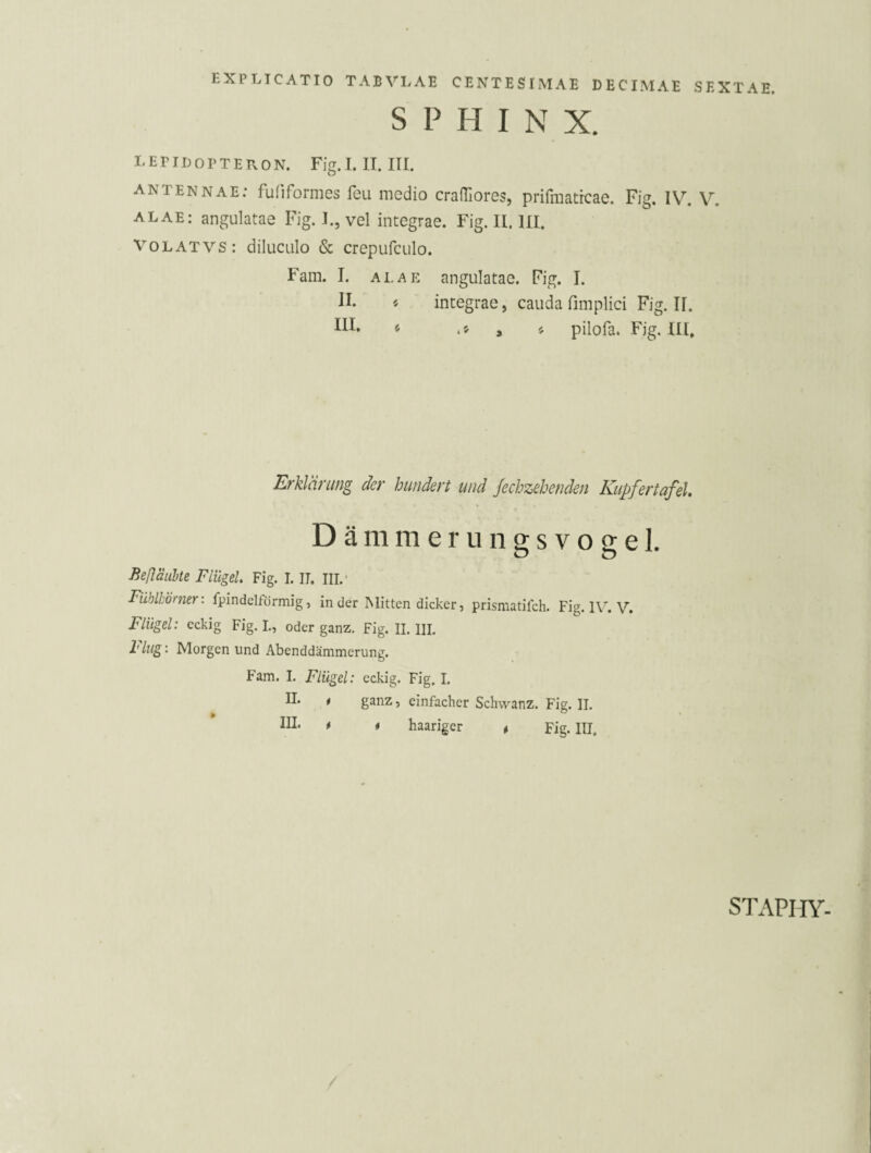 SPHINX. LETIDOPTERON. Fig. I. II. III. antennae; fuliformes feii medio craiTiores, prifmatrcae. Fig. IV. V. ALAE: angulatae Fig. 1., vel integrae. Fig. II. III. VoLATVS: diluculo & crepufculo. Fam. I. ALAE angulatae. Fig. I. II. « integrae, cauda fimplici Fig. n. III* ^ pilofa. Fig. III, Erklärung der hundert und Jechzehenden Kupfertafel* D ä m m e r u n g s V o g e 1. Beßäiibte Flügel Fig. 1.11. III.- Fühlhörner: fpindclförmig, Inder Mitten dicker, prismatifch. Fig. IV. V. Flügel: eckig Fig. L, oder ganz. Fig. II. III. l*lug: Morgen und Abenddämmerung. Fam. I. Flügel: eckig. Fig. I. II. t ganz, einfacher Schwanz. Fig. II. ► ^ » in. < , haariger , Fig. UI. STAPHY-