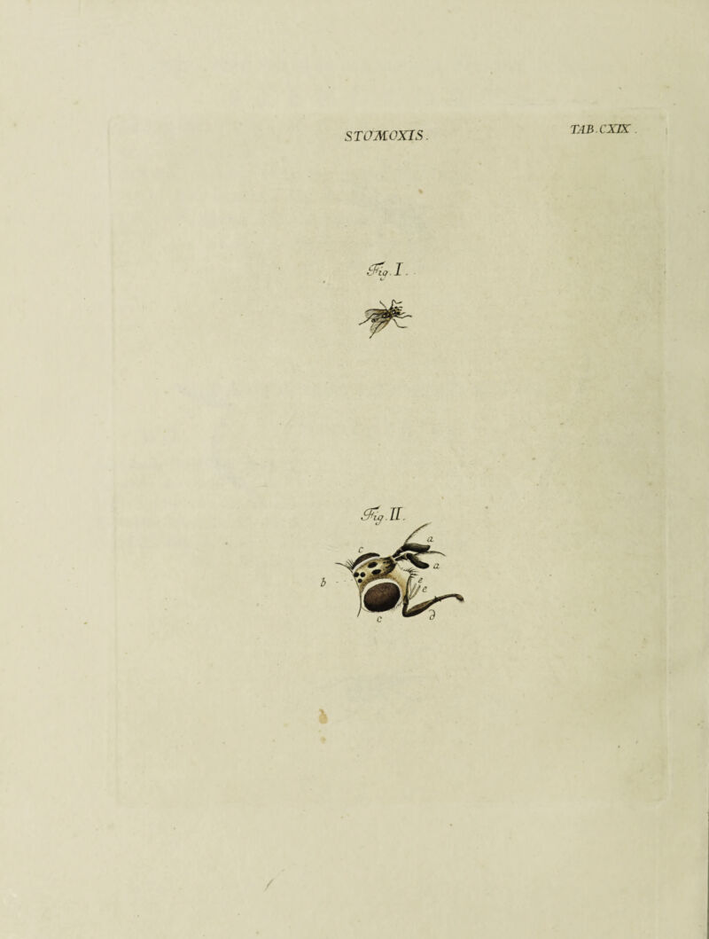 STOMOXIS.