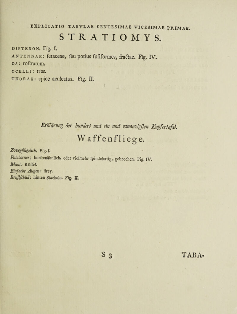 STRATIOMYS. DIPTERON. Fjg. I. antennae: fetaceae, feu potius fufiformes, fra6lae. Fig. IV'. 0 s: rodratum. ocelli: tres. thorax: apice aculeatus, Fig, II, Erklärung der hundert und ein und zwanzigßen Kupfertafel. W affenfliege. Zvveyflügelicb, Fig. I. Fühlhörner \ borftenähnlich, oder vielmehr fpindelartig, gebrochen, Fig. IV. Maul: Rüffel. Einfache Augen: drey. Brußfcbild: hinten Stacheln. Fig. ff.
