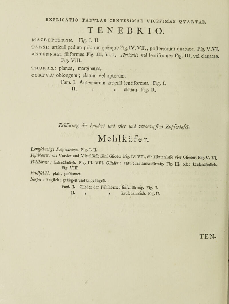 TENEBRIO. MACROPTERON. Fig. I. II. TARSI: articuli pedum priorum quinque Fig. IV. VII., pofteriorum quatuor. Fig.V^VI. antennae: filiformes Fig. XII. VUI. Articuli: vel lentiformes Fig. IU. vel clauatae. Fig. VIII. THORAX: planus, marginatus. . , coRPvs: oblongum; alatum vel apterum. Fam. I. Antennarum articuli lentiformes. Fig. I. IF < « clauati. Fig. 11. Erklärung der hundert und vier und zwanzigßen Kupfertafel, Mehlkäfer. Langfchaalige Flügeldecken. Fig. I. II. Fiifsblätte}-: die Vorder und Mittclfüffe fünf Glieder Fig. IV. VII., die Hinterfüffe vier Glieder. Fig. V. V7. Fühlhörner: fadenähnlich. Fig. III. VIII. Glieder: entweder linfenförmig. Fig. III. oder käulenähnlich Fig. VIII. Brußfehild: platt, gefäumet. Körper: länglich; geflügelt und ungeflligelt. Fani. I. Glieder der Fühlhörner linfenförmig. Fig. I. U* t t käulenähnlich. Fig. IL