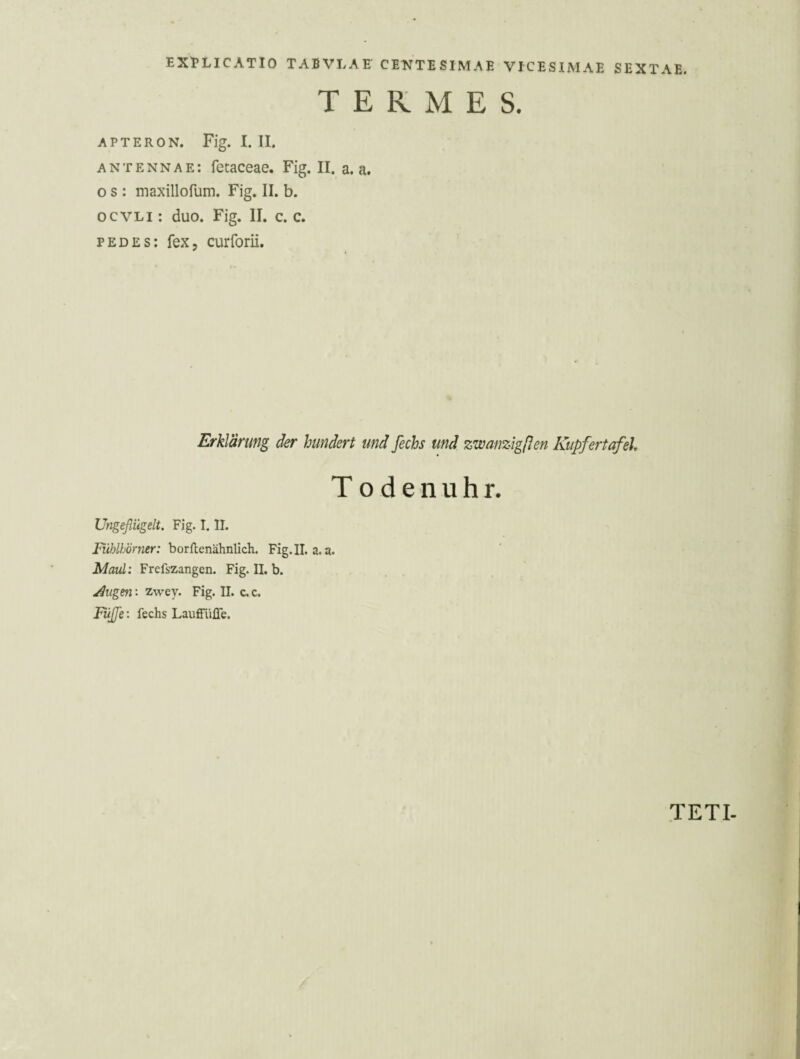 TERMES. APTERON. Fig. I. II. antennae: fetaceae. Fig. II. a. a. o s : inaxillofum. Fig. II. b. ocvLi: duo. Fig. II. c. c. pedes: fex, curforii. Erklärung der hundert und fechs und zwanzigßen Kupfertafel, Todenuhr. Ungeflügelt. Fig. I. II. Fühlhörner: borflenähnlich. Fig.II. a. a. Maul: Frefszangen. Fig. II. b. Jungen: zwey. Fig. II. c. c. Fuße: fechs Lauffüüe. TETI-