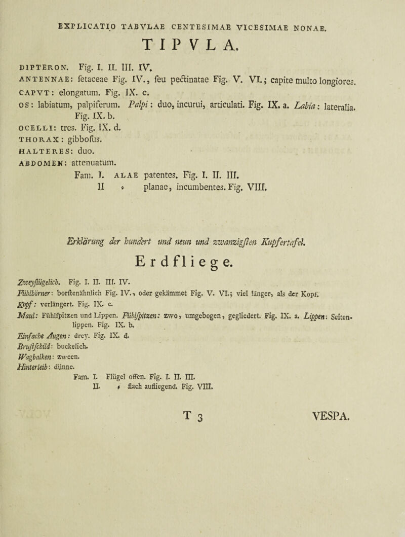 T I P V L A. LIPTERON. Fig. I. II. III. IV^ ANTENNAE: fetaceae Fig. IV., feu pedinatae Fig. V. VI.; capite mulco longiores. CAPVT: elongatuni. Fig. IX. c. OS: labiatum, palpiferum. Palpi: duo,incurui, articulati. Fig. IX. a. Labia: lateralia. Fig. IX. b. OCELLI: tres. Fig. IX. d. THORAX: gibbofus. HALTERES: duO. abdomen: attenuatum. Fam. T. alae patentes. Fig. I. II. III. II « planae, incumbentes. Fig. VIII. Erklärung der hundert und neun und zwanzigßen Kupfertafel, E r d f 1 i e g e. Z'Luyflügelich, Fig. I. II. II1. IV. Fühlhörner: borftenähnlich Fig. IV., oder gekämmet Fig. V. VI.; viel langer, als der Kopf. KPpf' verlängert. Fig. IX. c. Maul: Fühlfpitzen und Lippen. Fiihlfpitzen: zwo, umgebogen, gegliedert. Fig. IX. a. Lippen: Seiten¬ lippen. Fig. IX. b. Einfache Augen: drey. Fig. IX. d. Brußfehild: buckelich. Wagbalken: zween. Hinterleib: dünne. Fam. I. Flügel offen. Fig. I. H. IH, II. t flach aufliegend. Fig. VIII. VESPA.