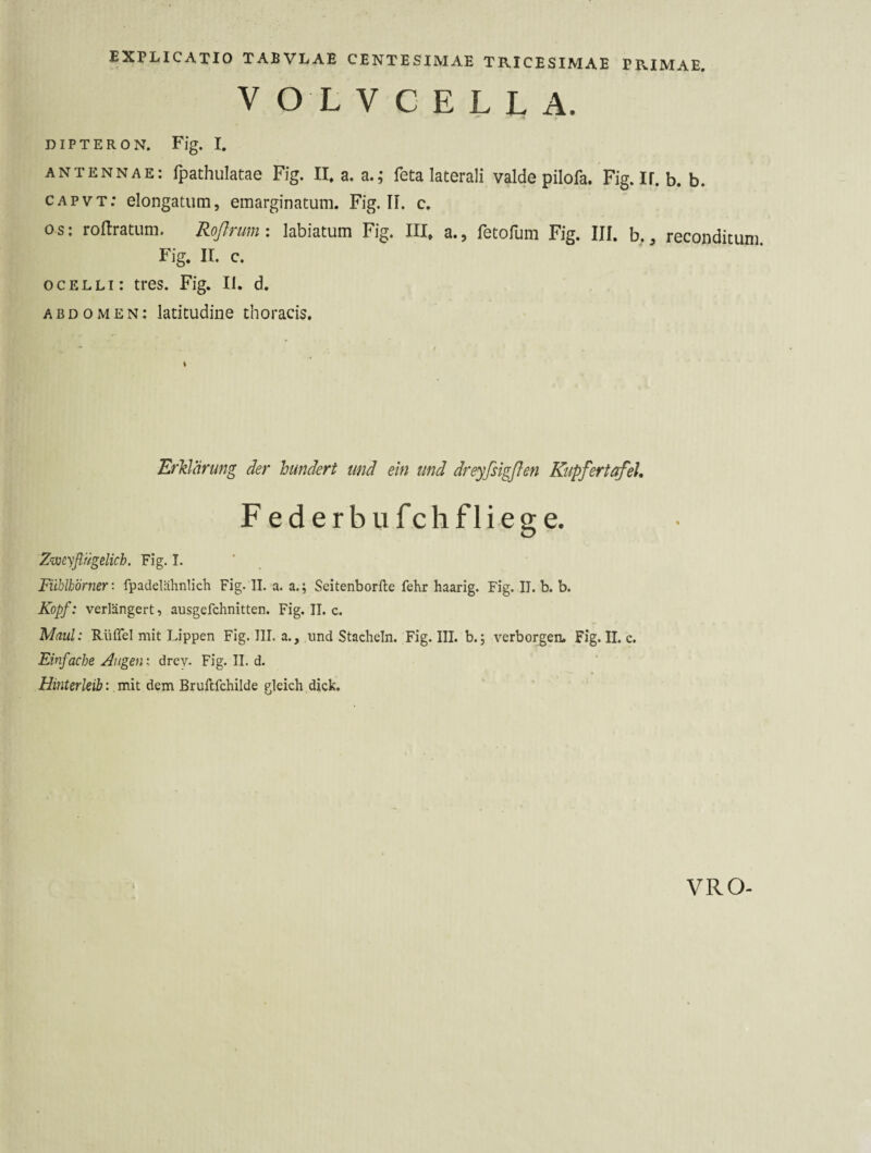 V O L V C E L L A. D IP T E R O N. Fig. I. antennae: fpathulatae Fig. II, a. a.; feta laterali valde pilofa. Fig.ir. b. b. capvt: elongatiim, emarginatum. Fig. II. c. os: roftratum. Roßrum i labiatum Fig. III, a., fetofum Fig. III. b., reconditum Fig. II. c. ocelli: tres. Fig. II. d. abdomen: latitudine thoracis. Erklärung der hundert und ein und dreyfiigflen Kupfertafel, F ed erb ufch fliege. Z’wcyßügelich. Fig. I. ' Fühlhörner: fpadelähnlich Fig. II. a. a.; Seitenborfte fehr haarig. Fig. II. b. b. Kopf: verlängert, ausgefchnitten. Fig. II. c. Maul: Rüffel mit Lippen Fig. III. a., ,iind Stacheln. Fig. III. b.; verborgen. Fig. II. c. Einfache Augen: drey. Fig. II. d. Hinterleib: mit dem Brullfchilde gleich dick. VRO-