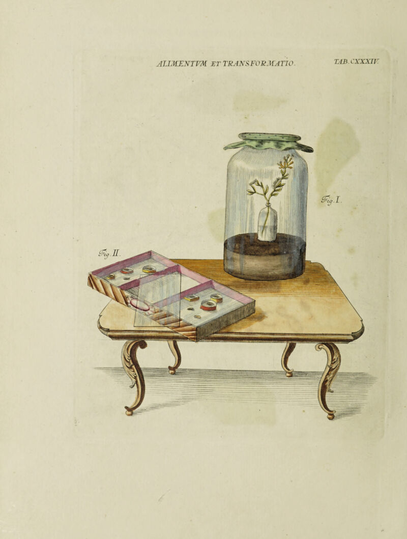 AUMXNTVM ET TRANSFORMATIO TA3.CXXXIJ /