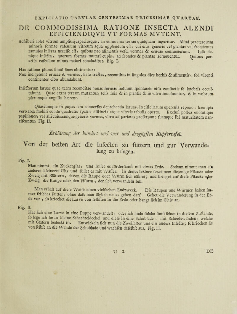 DE COMMODISSIMA RATIONE INSECTA ALENDI EFFICIENDIQVE VT FORMAS MVTENT. Adhiberi folct vitrum ampliusj capaciusque, in cuius ima terrae quidquam ingeritur. Aliud praeterquam minoris formae valculum vitreum aqua opplendum eH-., cui eius generis vel plantas vel frondentes ramulos inferas ncceffe eft, quibus pro alimentis vefei vermes & erucae confueuerunt. Ipfa de¬ nique infcfta , quorum formas mutari cupis, ad frondes &: plantas admouentur. Quibus per¬ agis vafculum minus maiori concluditur. Fig. I. Hac ratione plimcs fimul fines obtinentur; Non indigebunt erucae & vermes, fi ita trafles, recentibus in fingulos dies herbis & alimentis, fcd virenti continenter cibo abundabunt. Infe£lorum laruae quae terra reconditae nouas formas induunt fpontando nifu confuetis fe latebris occul¬ tabunt. Quae extra terram mutantur, telis fuis & in plantis & in vitro inuoluuntur, &: in vaforum plerumque angulis haerent. Quascumque in pupas iam conuerfas deprehendo lamas, in cifliellarum opercula repono : hacc ipfa vero arca mobili condo quadratis fpatiis diftinfta atque vitreis tabulis operta. Exclufi pollea euolutique papiliones, vel alii cuiuscunque generis vermes, vitro ad parietes proferpunt fuamque ibi maturitatem nan- cifcuntur. Fig. II. Erklärung der hundert und vier und dreyßgßen KupfertafeL Von der beflen Art die Infeclen zu futtern und zur Verwande- lung zu bringen. Fig. I. Man nimmt ein Zuckerglas, und füllet es forderfamfl mit etwas Erde. Sodann nimmt man eim anderes kleineres Glas und füllet es mit VVaffer. ln diefes leztere fezet man diejenige Pflanze oder Zweig mit Blättern, davon die Raupe oder Wurm fich nähret; und bringet auf diefe Pflanze o^er Zweig die Raupe oder den Wurm , der fich verwandeln foll. Man erhält auf diefe W’eife einen vielfachen Endzweck. Die Raupen und Würmer haben im¬ mer frifches Futter, ohne dafs man täglich neues geben darf. Gehet die Verwandelung in der Er¬ de vor , fo kriechet die Larve von felbflen in die Erde oder hängt fich im Glafe an. Fig. II. Hat fich eine Larve in eine Puppe verwandelt, oder ich finde folche fonflfchon in diefem Zulhandc, fo lege ich fie in kleine Schachteldeckel und diefe in eine Schublade , mit Scheidewänden, welche mit Gläfern bedeckt ift. Entwickeln fich nun die Zweifalter und ein anders InfeUe; fo kriechen fie vonfelbfl an die Wände der Schublade undwachfen dafelbft aus, Fig. 11.