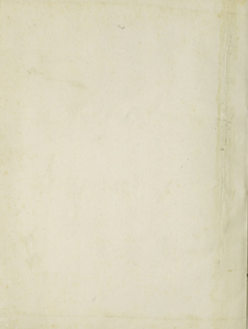 I ¥ « V I ^ Sv V >'•'1 ■-V . N. • 'V • '■• - '■ »... . •lf ». • ,1 r y- >^V^’4r K. J i ' ■ T. * ■•‘*i V.’’ ., IM.V •¥ I;; «. ■'* •y*- t t • ' r '-T-LytiT^ j.‘ #••’ '■«<: r: • • * * V h* * ix. •<■■ -^.A “ ' ^ ■ ^ t • ' » « * ■ r--;' * * ■ ■'iv. v: *•■ •' jr. • V/ ' <1 f V. w. .A A ' 4 0 . '• ■» ■- A ><■ 't . »• ■ i’ • ■ ' wr: •M • . *1 V' . .• X' \ '' 5# caW ■ v:. ,t • ■ 'k .' ■ ’i / ' ■//V'■. \ '•WTT- .'• 'C* A *• y- ü-n -j' M ; C V«. ' 'I r Jß t •> <, :iS ■•'tV. M ‘1? .Ä . 'V