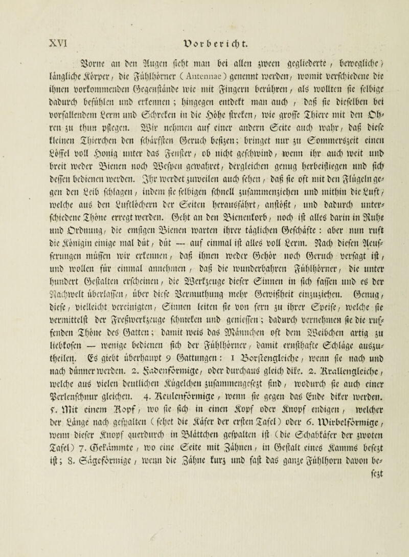 5>orite an ben 5(ugcn fleht man bei allen jweett gegliederte, bewegliche) längliche 5toi*per / Me Fühlhörner (Antennae) genemtt werben/ womit oerfchiebene die il)nen oorlontmenben ©egenfldnbe wie mit Ringern beruhten f als wollten fle felbtge baburch befühlen unb erlernten ; hingegen entbeft man and) , bafl fle biefelbett bei oorfallenbem £crm unb (Schreien in die .pöhe freien/ wie grolle Übiere mit beit Ch* reit ju tflun pflegen. Wsj** nehmen auf einer anbern Seite and) wahr / bafl biete {leinen Shierchen ben feflarfflen ©erud) beftjen; bringet nur stt Sommerszeit einen Toffel Poll .pottig unter baS ^enjler, ob nid)t gefchwinb, wenn ihr and) weit unb breit Weber dienen uod) STsefpeu gewähret , bergleicheit genug herbeifliegen unb fleh beflen bebienen werben. 3'hr roerbet juweilett and) fehett, bafl fle oft mit ben Flügeln ge* gen ben Seih fd)lagett/ inbem fle felbigen fchiteU jufantmenflehen unb mithin MeSuft/ welche aus ben Luftlöchern bei* (Seiten herausfährt/ anflöflt, unb babnrd) untere fd>iebene £f)öne erregt werben, ©eflt an ben Sienettforb / noch ifl alles barin in 3iufle unb Orbnung/ bie emflgen dienen warten ihrer täglichen ©efcfldfte: aber nun ruft bie Königin einige mal Mit, Mit — auf einmal ifl alles Poll Lernt. 9tad) biefen 9lcuf* ferungen muffen wir erlernten/ bafl ihnen Weber ©eher noch ©mich Perfagt ifl/ unb wollen ftir einmal annehmen , bafl bie wunberbahren Fühlhörner, bie unter htmbert ©eflalten erflheiuen, bie Söerfjeuge biefer Sinnen in fleh fallen unb es der Slad)welt uberlaffeit, über Mefc &ermuthung mehr ©ewiflheit ein^ttflehen. ©enug/ diefc / pielleicbt pereinigten / Sinnen leiten fle Pon fern 511 ihrer Speife / welche fle permittelfl ber Freflwerf&euge fchmelen unb genieffett; babnrd) pernehmeu fle bie ruf* fenbett £höne beS ©attcu; bamit weis bas Männchen oft bem Weibchen artig 51t lieblofen — wenige bebienen fleh ber Fühlhörner / bamit ernflhafte Sdjldge auSjti* tfleilen. SS gtebt überhaupt 9 ©attungen: 1 Borflengleiche, wenn fle nach unb nach Minner werben. 2. $abcnformige/ oberburchauS gleich bile. 2. kraUengleichc, welche aus Pieleit beutliche« Kügelchen jufamntengefest flnb, woburd) fle auch einer ^crlenfchnur gleichen. 4. keulenförmige , wenn fle gegen bas Snbe biter werben, f. Vllit einem köpf, wo fle fleh in einen tfopf ober $nopf enbigett, welcher ber £dnge nach gefpalten (fehet bie $dfer ber erflen £afel) ober 6. VDirbclformige, wenn biefer Ättopf querbttreh in Blättchen gefpalten ifl (bie Sdjablafer ber jwoten £afel) 7. (Befammte / wo eine Seite mit 3dbneit/ in ©eflalt eines ÄammS befejt ifl; 8. Sageformige, wenn bie 3äh»c fur$ unb fafl bas gatt&e Fühlhorn baoott be* flit