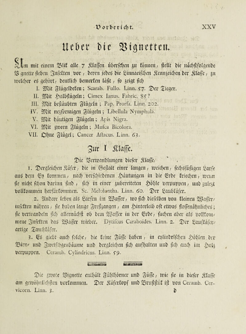eV Uebet He -Signetteu. m mit einem 3Mit alte 7 Äffen überfefjen 51t tonnen, fteftt t>ie nacbfffolgenbe gnette fielen ^nfetten Por, bereu jebe^ bie Binnaeifd;en $cnn$eicben bcr Äffe, ju ipeld;er ed gehört/ beutlid) bemalen taff, fo jeigt ftd) I. 231 it $tügcibeten; Scarab. Fullo. Linn. 57. ©et’ lieget*. II. 23eit £mftflugeltt; Cimex Ianus, Fabric. 8f? III. 23eit bejtdubten Ringeln ; Pap. Prorfa. Linn. 202, IV. 23!it nejformigen kugeln; Libelluia Nymphula. V. 23Iit tjdutigen Ringeln; Apis Nigra. VI. 23tit jween Ringeln; Mufca Bicolora. VII. £ffne Ringel; Cancer Aftacus. Linn. 63. 3ur I Jt!rtj]c. ©ic A'erroanbltutgen btcfer Äffe, 1. ©ergieidjen Hafer, bie in ©ejlalt einet* langen / meiden, fed;dfufngen Satfe and beut Cp tommen, nach petfdffebenen Häutungen in bie Crbe triedjen / trenn fte nid;t fcbon bgrinn flnb / ftd) in einet ^bereiteten Hoble perpuppett/ unbanlejt pollfomineu berfuvtommen. Sc. Melolontha. Linn. 60. ©et* Sanbtöfcr. 2. Rubere leben ald Warfen im SBaffet*/ troftd) biefelbett oon fleitten Waffen infetten näbren / ff* baten lange gre&aitgen / am Hinterleib oft ettpad floffeudbnlidted; fte pcnranbeln fft aUcrndd;ff ob bei« SBaffer in bet* Crbe, fad;en aber als’ oollfotm mene ff'nferten bad SBaffer triebet. Dytifcus Caraboides. Linn. 2. ©er ^auffdfetv artige ©audffdfer. 3. Cd giebt and) fotd>e/ bie feine $uffe haben / in cplinbrlfcben Hoffen bet ©Hi*n^ itnb 3^etf;bgenbdume unb bergleid)ett ftd) aufbalten nnb ftd) auch im perpuppen. Ceramb. Cylindricus. Linn. S9- ©ic ivootc Vignette enthalt ^dblborncr unb $ttffe, me fte in biefer Äffe am getriffnlcbften portommen. ©er Hafertopf nnb ^rujtftut ift pon Ceramb. Cer- vicorn. Linn. 3. b