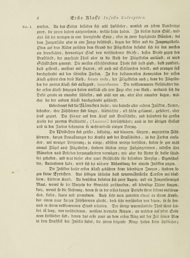Tab. I. werben. 2ln beit Seiten befmben lief) ad)t Luftlöcher, nemlich an jebem ©«umringe jwet)/ bie jwceu lejtern ausgenommen/ welche feine haben. 3n biefetn leiten Stuf/ wcl* djeS ftcl) bei wenigen in eine (wrngleidje Spi;e, ober in jwep fcgelgleiche S3ldöcf)en, bei bent 3angcnfafer aber in eine 3ange befc()lic|jt/ liegen ber Elfter nnb bie 3engung$tljeile. Oben auf bem 9?üfen jwifchcn bem ©rnnb ber $lugelbcfen bejtnbet tief) bei ben meiften ein brepefidjteS/ bornartigeS Stuf von betriebener ©röjfe/ befien ©reite gegen ben ©rujffdjilb / ber jugefpijtc Shcil aber in bie 9latfj ber glugelbefeit auslduft/ eS wirb 0d)ilbd)CJt genennt. £ue mehlen obbefchricbencn STjeile jlnb halb glatt/ balb punftirt/ halb geilreift/ meijieuS mit paaren/ oft and) mit Schüppdjen bebeft, uttb prangen fall burdjgebenbS mit ben fchönjlcn färben. 3» ben bejlimmenbcn .ftemr,eichen ber er(len ÄlaiTe gehöret eben bisfe 9lath/ futura refta, ber ^lugclbefen and); beim bie Flügelbe* feit ber jwotcnÄlaffe jlnb aufliegeub/ incumbentes. 3>ic poöfommnern ©efchlcdjtcr bie* fer erjlen Älaffe hingegen haben wirflid) alle jene Fuge ober jene 9lath/ woburd) flcf) bie Sbefel gerabe an eisanber fchfieffen, nnb nicht nur au, ober über einanber liegen/ weh chei/ bei ber anbern jUaffe burchgehenbS gefchieht. Uebevhaupt jlnb bie fltaimd)cn biefetv wie beinahe aller anbern Fnfeftcn, Keiner r beheitber/ ihre Fühlhörner jlnb langer/ bldttrichtcr , oft fchön gelammt/ gefiebert/ ober foult gejiert. £ie ferner auf bem 5vopf nnb ©ntjlfcbilbc/ nnb befonberS bie groben Jtiefer beS jwepten ©efdjlcfljtS , (Lucanus) beträchtlicher; and) in ber übrigen ©efralt nnb in ben Farben behaupten jic mebrentfteils einigen ©or;ug. £ic IDcibdjCU flnb größer, bifleibig/ mitbütmeru/ furjern / ungenierten Fühl* hörnern, furjen ©ewajfnungen bes Kopfes? nnb Hi ©rnjlichilbeS, in ben Farben einfa* eher/ mit weniger ©erjierung/ ja einige/ obfehon wenige berfelbeit/ haben fo gar nicht einmal Flügel noch Flügelbefen/ fonbern bleiben ewige Fnjlgangerinncn / inbeffen ihre SDtanndjen nach ©elicben hernrnjuffaltern Permögen; wie aber bie 9latnr |ie bafür fcljab* los gehalten/ unb was biefeS ober jenes ©efdjlechte für befonbere ©orjüge / Gigenfchaf* teil/ KuSnabmen habe/ wirb flcf) bei näherer $lbhanblung ber einzeln Fnfeftcu jeigen. T'ie Fitfeften tiefer erjlen Älafre gebühren feine lebenbigen F'uugen , fonbern te* gen Heine i£ycrcf)cn. 2lus felbigcit fchliefen balb anirmdl)nlid)e Warfen mitbünf* lernt / harterm $opfe. 2ln benfelben beiinbeu flcf) jwep 3lugen/ unb ein 3angenförmigeS 50taul/ womit flc bie SBnrjcltt ber ©ewaebfe jerfebneiben, oft lebenbige Jfjiere fangen/ für; / womit fle bie 9tahrung / bereit fee in ber erjlen langen ^eriobe ihres Lebens oiel brau* d)eu/ ficfeit/ faueu unb jcrmalmen. 2lud) ficht man juwcilcn etwas an ihrem $opfe/ baS einem paar Htrjen Fühlhörnern gleicht/ hoch fehl* Pcrfchieben pon benen/ fo jle her* nach in ihrem Pollfommcnen Staub erhalten, über übrige wurmahnliche TOcif ihres Lei* beS ifl lang / oon Pcrfchicbeneii/ meiflens brepjehn Gingen / an welchen aufjeber Seite nenn Luftlödjer jlnb/ baoon baS crjlc paar au bem erjlen 9iing mit bci*3eit feinen $!a* in bem ©ruflfluf beS FnfcftS fiubet/ bie jwecit folgeubc SKinge haben feine Luftlöcher;