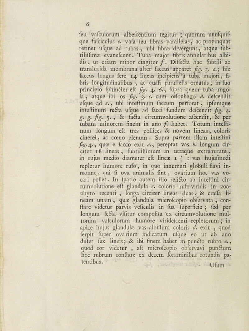 <5 feu vafculorum albefcentium tegitur ; quorum uniirquif- que fafciculus e, vafa feu fibras parallelas, ac propinquas retinet iifque ad tubas , ubi fibrs divergunt, atque fub- tiliffimai evanefcunt. Tuba major fibris annularibus albi¬ dis , ut etiam minor cingitur f, Dilfe(fta hac fubtili ac translucida membrana alter faccus apparet fig. 3. a.\ hic faccus longus fere 14 lineas incipiens'''fi tuba majori, fi¬ bris longitudinalibus , ac quafi parallelis ornatus; in fuo principio fphin^der efl: fg, 4. d. , fupra quem tuba rugo- fa, atque ibi os fig. 3. c. cum oefophago d. dcfcendit ufque ad e., ubi inteflinum faecum perforat , ipfumque inteftinum reffa ufque ad facci fundum defeendit fig. 4. g. g. fig. 5. , & fa6fa circumvolutione afeendit, & per tubam minorem finem in ano f. habet. Totum inteffi- num longum efl tres pollices & novem lineas, coloris cinerei, ac cceno plenum . Supra partem illam inteftini A^*4*, ^ facco exit , pereptat vas b, longum cir¬ citer 18 lineas, fuStiliffimum in utraque extremitate, in cujus medio diameter eft lineie i ^ • vas hujufmodi repletur humore rufo, in quo innumeri globuli flavi in¬ natant, qui fi ova animalis fint, ovarium hoc vas vo¬ cari poffet. Jn fpatio autem illo reliffo ab inteftini cir¬ cumvolutione efl; glandula c. coloris rufo-viridis in zoo- phyto recenti , longa circiter lineas- duas,- & craflTa li¬ neam unam , qute glandula microfeopio obfervata , con¬ flare videtur parvis veficulis in fua fuperficie ; fed per longum fe61:a vifitur compoflta ‘ex circumvolutione mul¬ torum vafculorum humore viridefeenti repletorum; in apice hujus glandulte vas albiflimi coloris d. exit , quod ferpit fnper ovarium indicatum ufque eo ut ab ano diflet fex lineis; &; ibi finem habet in pun6'fo rubro (?., quod cor videtur , afl microfeopio obib-vavi punRum hoc rubrum conflare ex decem foraminibus rotundis pa¬ tentibus. rir