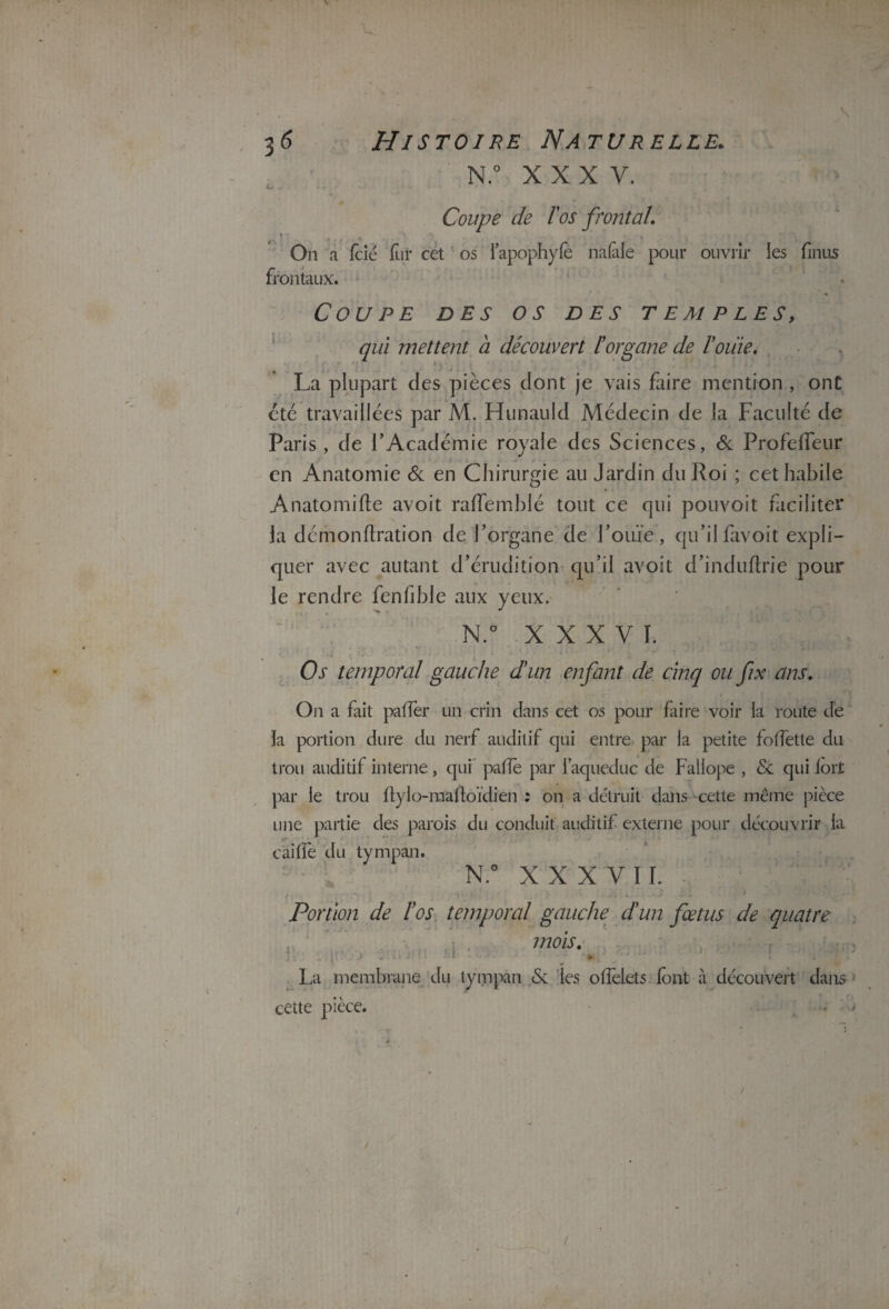 N.° XXX V. Coupe de l'os frontal. On a fcié fur cet os l’apophyfe nalàle pour ouvrir les finus frontaux. Coupe des os des temples, qui mettent à découvert l'organe de l’oiiie. La plupart des pièces dont je vais faire mention , ont été travaillées par M. Hunauld Médecin de la Faculté de Paris , de l’Académie royale des Sciences, & Profelfeur en Anatomie & en Chirurgie au Jardin du Roi ; cet habile Anatomifte avoit ralfemblé tout ce qui pouvoit faciliter la démonriration de l’organe de l’ouïe, qu’ilfavoit expli¬ quer avec autant d’érudition qu’il avoit d’induftrie pour le rendre fenhble aux yeux. N.° XXXVI. Os temporal gauche d'un enfant de cinq ou fix ans. On a fait parier un crin dans cet os pour faire voir la route de la portion dure du nerf auditif qui entre par la petite foriette du trou auditif interne, qui parie par l’aqueduc de Fallope , & qui loit par le trou riylo-marioïdien : on a détruit dans cette même pièce une partie des parois du conduit auditif externe pour découvrir la cairiè du tympan. N.° XXXVII.. - V ' ' ' . J J , Portion de l'os temporal gauche dun fœtus de quatre mois. La membrane du tympan & les ofîeiets font à découvert dans cette pièce. ... ) i