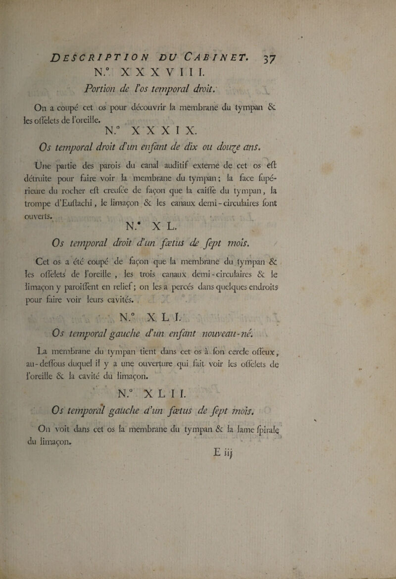 N.° X X X V ï I I. Portion de l'os temporal droit. On a coupé cet os pour découvrir la membrane du tympan & lesolfelets de loreilie. N.° XXXIX. n • \ Os temporal droit d'un enfant de dix ou dou^e ans. Une partie des parois du canal auditif externe de cet os eft détruite pour faire voir la membrane du tympan ; la face fripé- rieure du rocher eft creufée de façon que la cai(fe du tympan, la trompe d’Euflachi, le limaçon & les canaux demi - circulaires font ouverts. N.* X L. Os temporal droit dun fœtus de fept mois. Cet os a été coupé de façon que la membrane du tympan Sc les offelets de l’oreille , les trois canaux demi-circulaires & le limaçon y paroiffent en relief; on lésa percés dans quelques endroits pour faire voir leurs cavités. N.° X L I. » ■'#» I * . »•« W 14* ’ * ' ' * Os temporal gauche dun enfant nouveau-né. La membrane du tympan tient dans cet os à Ion cercle otleux, au-deflous duquel il y a une ouverture qui fait voir les olfelets de l’oreille & la cavité du limaçon. N.° X L I I. Os temporal gauche dun fœtus de fept mois, On voit dans cet os la membrane du tympan & la lame fpirale du limaçon. E iij