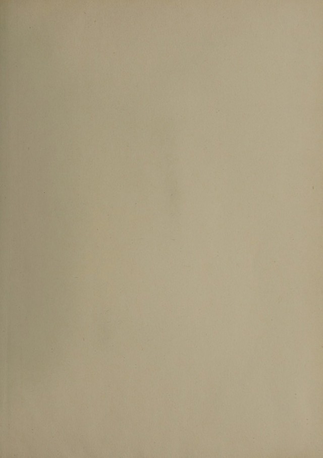 digitised image 3