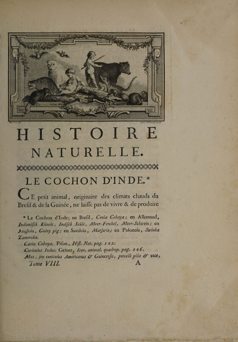 NATURELLE. LE COCHON D’INDE.* E petit animal, originaire des climats chauds du Brefil & de la Guinée, ne laide pas de vivre & de produire * Le Cochon d’Inde; au Brefil, Cavia Cob.aya ; en Allemand, Jndianifch K Une le , Jndifch Seule, Meer-Ferckel, Meer-Sc/wein ; en Anglois, Guiny pig; en Suédois, AdarJwinj en Polonois, Swinka TLamerska. Cavia Cobaya. Pifon, FUJI- Nat. pag. / 02. Cunicuius Indus. Gelner, Jcon. animal, quadrup. pag. 106. Ad us , feu cuniculus Americanus & Guineenfis, ponelli pilis Ù* V0CCt (