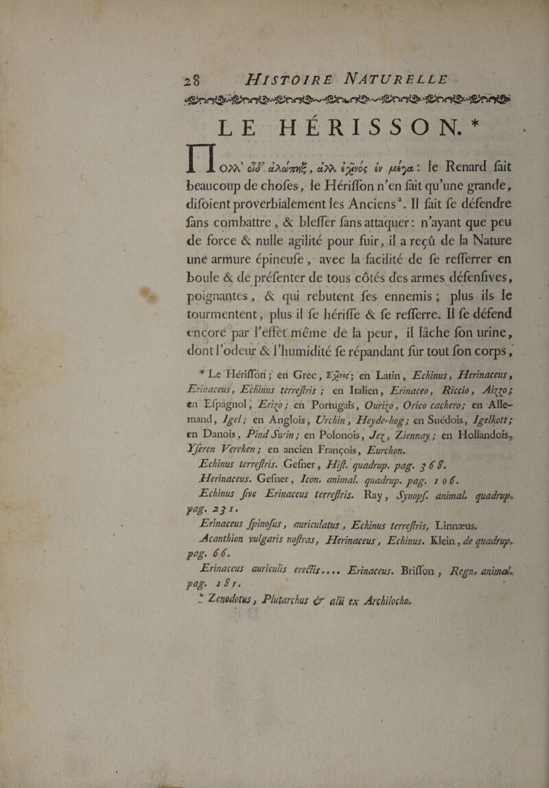 z8 Histoire Naturelle LE HÉRISSON. * n om’ o;J’ à\dù7iY&,, aM îj^voç £v fAyt\ le Renard fait beaucoup de chofes, le Hériffon n’en lait qu’une grande, difoient proverbialement les Anciensa. Il fait fe défendre fans combattre , & bleffer fans attaquer : n’ayant que peu de force & nulle agilité pour fuir, il a reçû de la Nature une armure épineufe , avec la facilité de fe refferrer en boule & de préfenter de tous côtés des armes défenfives, poignantes , & qui rebutent fes ennemis ; plus ils le tourmentent, plus il fe hériffe St fe refferre. Il fe défend encore par l’effet même de la peur, il lâche fon urine, dont 1 odeur St 1 humidité fe répandant fur tout fon corps, * Le Heri/Ton ; en Grec, en Latin, Echinus, Herinaceus, Erlnaceus, Echinus terrejlris ; en Italien, Erïnaceo, Riccio, Aiçço; «n Efpagnol, Erijo ; en Portugais, Our'170, Orico cachero; en Alle¬ mand, J gel ; en Anglois, Urchin, Heyde-hog; en Suédois, Jgelkott; en Danois , Pind Sivin ; en Polonois, Je^, Ziennay ; en Hollandois. Yferen Vereken; en ancien François, Eurchon.. Echinus terrejlris. Gefner, Hijl. quadrup. pag. y 6 8. Herinaceus. Gefner, le on. animal, quadrup. pag. 106. Echinus five Erinaceus terrejlris. Ray, Synopf. animal, quadrup, pag. 231. Erinaceus fpinofus, auriculatus , Echinus terrejlris, Linnæus. Acanthion vulgaris nojlras, Herinaceus, Echinus. Klein , de quadrup, pag. 6 6. Erinaceus auriculis ereâis.... Erinaceus. Brifîon , Regn, animal* pag. 1 8 j. * Zenedotus, Plutarchus & alîi ex Archilocho,