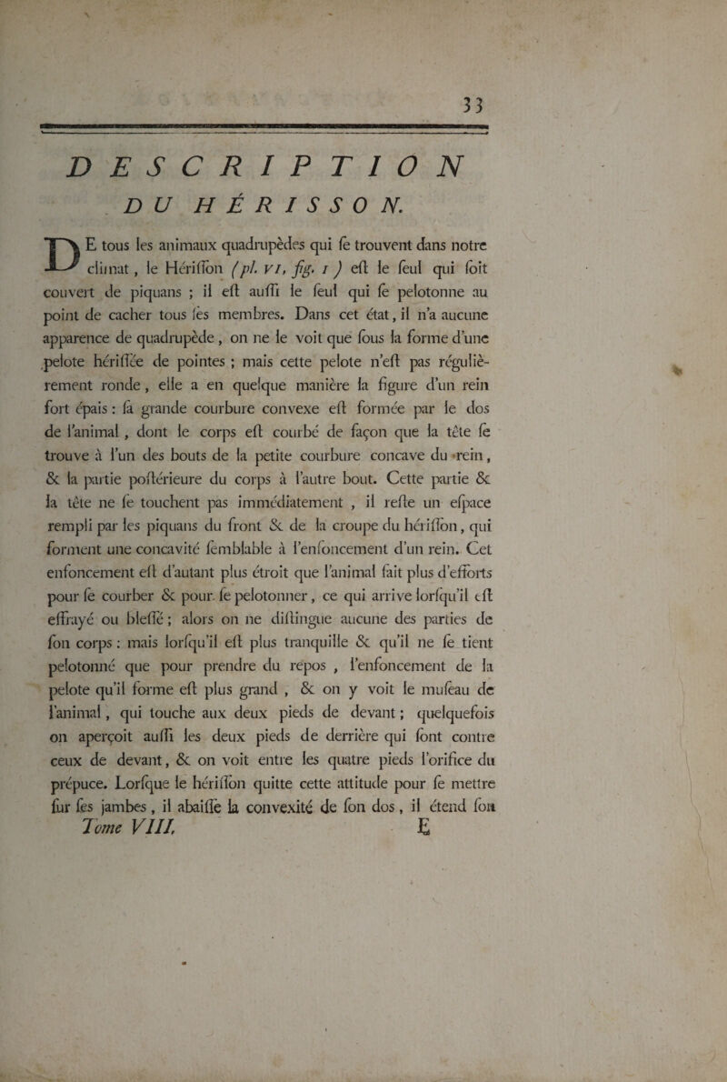 D E S C R I P T I O N DU HÉRISSON. DE tous les animaux quadrupèdes qui fè trouvent dans notre climat, le Hérifîon (pl. vi, fig. i ) efl le feul qui foit couvert de piquans ; il efl auffi le leul qui le pelotonne au point de cacher tous lès membres. Dans cet état, il n’a aucune apparence de quadrupède , on ne le voit que fous la forme d’une pelote hériffèe de pointes ; mais cette pelote ne 11 pas réguliè¬ rement ronde , elle a en quelque manière la figure d’un rein fort épais : la grande courbure convexe efl formée par le dos de l'animai , dont le corps efl courbé de façon que la tète le trouve à l’un des bouts de la petite courbure concave du •rein, & la partie poftérieure du corps à l’autre bout. Cette partie la tète ne fe touchent pas immédiatement , il relie un elpace rempli par les piquans du front &. de la croupe du hérifîon, qui forment une concavité femblable à l’enfoncement d’un rein. Cet enfoncement efl d’autant plus étroit que l’animal lait plus d’efforts pour fe courber & pour, fe pelotonner, ce qui arrive lorlqu’il efl effrayé ou bleffé ; alors on ne dillingue aucune des parties de fon corps : mais lorfqu’il ell plus tranquille <Se qu’il ne le tient pelotonné que pour prendre du repos , l’enfoncement de la pelote qu’il forme efl plus grand , & on y voit le mulèau de l’animal, qui touche aux deux pieds de devant ; quelquefois on aperçoit aulfi les deux pieds de derrière qui font contre ceux de devant, & on voit entre les quatre pieds l’orifice du prépuce. Lorlque le hérifîon quitte cette attitude pour fe mettre for fes jambes , il abailîè la convexité de fon dos, il étend fou Tome VIII E V