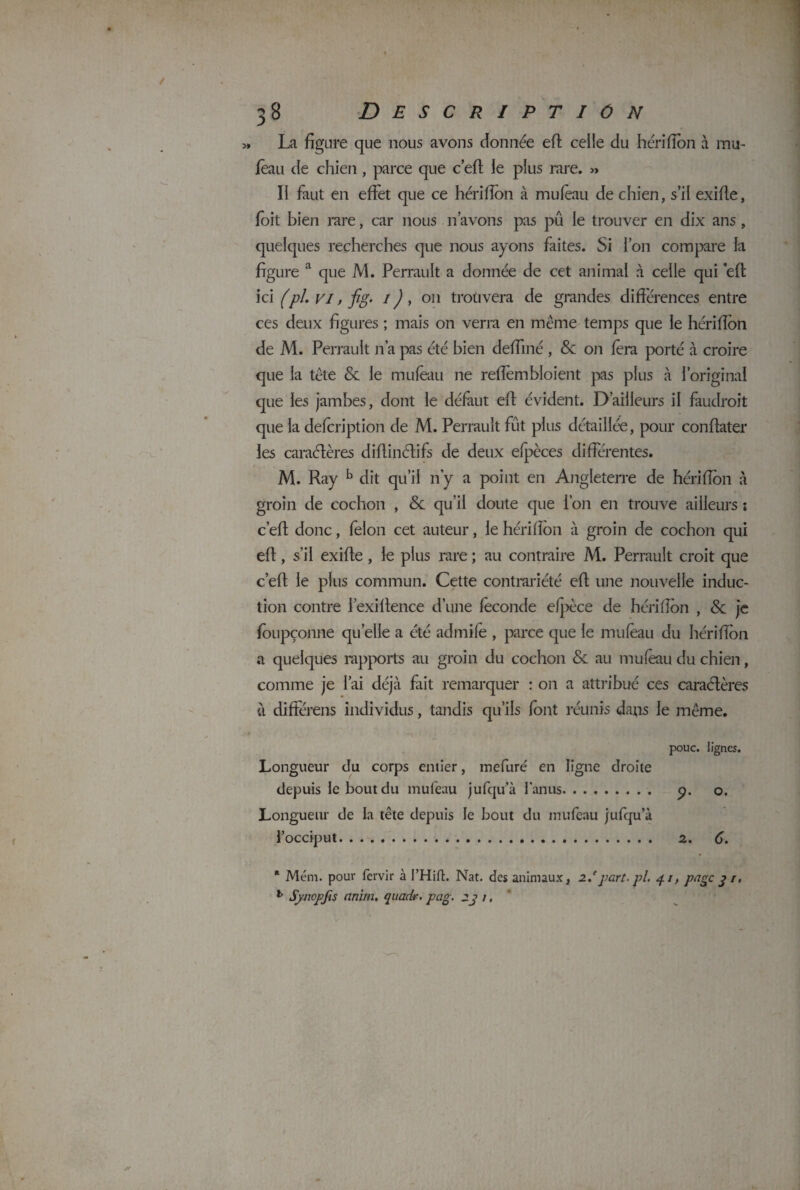 3» La figure que nous avons donnée eft celle du hériffon à mu- fèau de chien , parce que c eft le plus rare. » II faut en effet que ce hériflon à mu (eau de chien, s’il exifte, foit bien rare, car nous n’avons pas pu le trouver en dix ans , quelques recherches que nous ayons faites. Si l’on compare la figure a que M. Perrault a donnée de cet animal à celle qui eft ici (pl.vi,fig' 1 ), 011 troüvera de grandes différences entre ces deux figures ; mais on verra en même temps que le hériflon de M. Perrault n’a pas été bien deffiné , &c on fera porté à croire que la tête & le mufeau ne reffembloient pas plus à l’original que les jambes, dont le défaut eft évident. D’ailleurs il faudrait que la defcription de M. Perrault fût plus détaillée, pour conftater les caractères diftinctifs de deux efpèces différentes. M. Ray b dit qu’il n’y a point en Angleterre de hériffon à groin de cochon , <5c qu’il doute que l’on en trouve ailleurs ; c’eft donc, félon cet auteur, le hériffon à groin de cochon qui eft, s’il exifte, le plus rare ; au contraire M. Perrault croit que c’eft le plus commun. Cette contrariété eft une nouvelle induc¬ tion contre 1 exiftence d’une féconde efpèce de hériffon , & je fbupçonne quelle a été admifè , parce que le mufeau du hériffon a quelques rapports au grain du cochon & au mufeau du chien, comme je l’ai déjà frit remarquer : on a attribué ces caractères 11 différens individus, tandis qu’ils font réunis dans le même. pouc. lignes. Longueur du corps entier, mefuré en ligne droite depuis le bout du mufeau jufqu’à l'anus. 9. o. Longueur de la tête depuis le bout du mufeau jufqu’à l’occiput. 2. 6. * Mém. pour fervir à l’Hift. Nat. des animaux, 2/part. pl. 41, page 31, 1 Synopfis anim. qttadr. pag. 23 1,
